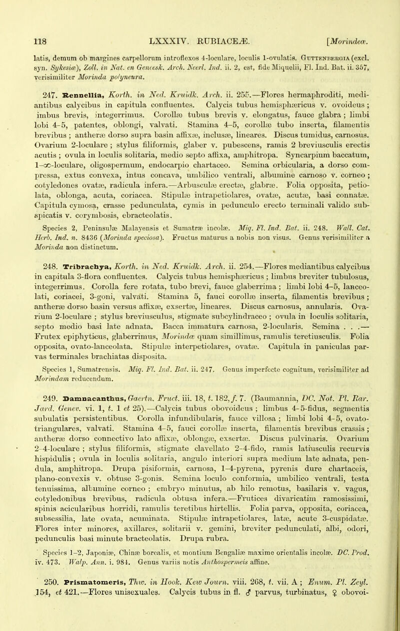 latis, domiim oh maTgiiies Ciirpellorum introfioxos 4-locul;ire, loculis 1-ovulatis. Gtjttenbeuoia (excl. syn. Sykesia'), ZoU. in Nat. cn Gcmcsk. Arch. Nccrl. Ind. ii. 2, est, fideMiquelii, Fl. Iud. Bat. ii. 367, verisimiliter Moriuda polyneura. 247. Rennellla, Korth. in Ncd. Kniidk. Arch. ii. 25^-.—Flores hermaphroditi, medi- antibiis calycibiis in capitula conHnente.s. Calycis tubus henii.sp]ijericvis v. ovoidcus ; inibus brevis, integerrinius. CoroUfe tubua brevis v. elongatus, fauce glabra ; limbi lobi 4-5, patentes, oblcjiigi, valvati. Staniina 4-5, coroUte tubo inserta, filamentis brevibus ; aiither;u dorso supra basin affixiie, inclusse, Uneares. Discus tumidus, carnosus. Ovariuni 2-loculare ; stylus filiformiH, glaber v. pubescens, raniis 2 breviasculis erectis acutis ; ovula in loculis solitaria, medio septo affixa, ami^hitropa. Syncarpium baccatum, 1- oo-loculare, oligospernimn, endocarpio chartaceo. Seniina orbicularia, a dorso coni- pressa, extus convexa, intus concava, unibilico ventrali, albuiiiiiie camoso v. corneo ; cotyledones ovatae, radicula infera.—Arbusculse erectse, glabrie. Folia opposita, petio- lata, oblonga, acuta, coriacea. Stipulas intrapetiolares, ovatie, acutfe, basi connatse. Capitula cyinosa, crasse pedunculata, cyniis in ijedunculo erecto terminali valido sub- spicatis V. coryiiibosis, ebracteolatis. Species 2, Peninsulse Malayonsis et Sumatrse incolap. Miq. Fl. Ind. Bat. ii. 248. Wall. Cat. Hcrh. Ind. n. 8436 (Morinda speciosa). Fructua maturus a nobis non visus. Genus verisinuliter a Morbida aon distinctum. 248. Tribrachya, ivori/i. in Ned. Kruidk. Arch. ii. 254.—Flores mediantibus calycibus in caj^itula 3-flora contluentes. Calycis tubus heniispliairicus ; linibus breviter tubulosus, integerrimus. CoroIIa fere rotata, tubo brevi, fauce glaberrima ; liinbi lobi 4-5, lanceo- lati, coriacei, 3-goni, valvati. Staniina 5, fauci corollaj inserta, filamentis brevibus ; antlieriB dorso basin versus affixse, exsert.B, lineares. Discus carnosus, annularis. Ova- rium 2-locuIare ; stylus breviusculus, stiginate subcylindraceo ; ovula in loculis solitaria, septo medio basi late adiiata. Bacca immatura carnosa, 2-locuIaris. Semina . . .— Frutex epiphyticus, glaberrimus, Morindce quam simillimu.s, ramulis teretiusculis. Folia opposita, ovato-lanceolata. Stipuhe interpetiolares, ovatre. Capitula in paniciilas par- vas terminales brachiatas disposita. Species 1, Sumatrensis. Miq. Fl. Ind. Bat. ii. 247. Genus imperfccto cognitum, verisimiliter ad Morindam reducendum. 249. Damnacanthus, (raofn. Fruct. iii. 18, 1.182,/. 7. (Baumannia, DC. Not. Pl. Bar. Jard. Genev. vi. 1, t. 1 et 25).—Calycis tiibus obovoideus ; limbus 4-5-fidus, segmentis subulatis persistentibus. Corolla infundibularis, fauce villosa ; limbi lobi 4-5, ovato- triangulares, valvati. Stamina 4-5, fauci corolloe inserta, filanientis brevibus crassis ; aiitlierse dorso connectivo lato aftix;ie, obIongcT3, exserta^. Discus pulvinaris. Ovarium 2- 4-locuIare ; stylus filiformis, stigmate clavellato 2-4-fido, mmis latiusculis recurvis hispidulis ; ovula in loculis solit;xria, angulo interiori supra medium late adnata, pen- dula, amphitropa. Drupa pisiformis, carnosa, 1-4-pyrena, pyrenis dure chartaceis, plano-convexis v. obtuse 3-gonis. Seniina loculo conformia, umbilico ventrali, testa tenuissima, albuniine corneo ; embryo minutus, ab hilo remotus, basilaris v. vagus, cotyledonibus brevibus, radicula obtusa infera.—Frutices divaricatim ramosissimi, spinis acicularibus horridi, ramulis teretibus hirtellis. Folia parva, opposita, coriacea, subsessilia, late ov;xta, acuminata. Stipiilse intrapetiolares, latre, acute 3-cuspidatiTe. Flores inter minores, axdlares, solitarii v. gemini, breviter pedunculati, albi, odori, pedunculis basi niinute bractet)latis. Drupa rubra. Species 1-2, Japoniae, Chinae borcalis, et montium Bengaliae maxime orientalis incote. DC. Prod. iV. 473. Wa/p. Anti. i. 984. Genus variis notis Antkospcrrneis afSue. 250. Prismatomeris, Thw. in llook. Keio Journ. viii. 268, t. vii. A ; Enum. Pl. Zeyl. 154, et 421.—Flores unisexuales. Calycis tubus in fl. <? parvus, turbinatus, $ obovoi-