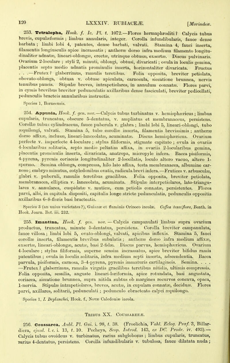 [Mm-vndem. 253. Tetralopba, Hook. f. Ic. Pl. t. 1072.—Flores hermaphroditi ? Calycis tiibua brevis, cupulaefGnnis ; limbus annularis, integer. Corolla infuudibularis, fauce dense biirbata ; linibi lobi 4, patentes, dense barbati, valvati. Stamina 4, fauci inserta, lilamcntis longiusculis apice incrassatis ; antherse dorso infra medium filamento longitu- dinaliter adnatpe, lineari-oblongiB, erectje, ixtrinque obtusaj, exsert.-e. Discus pulvinaris. Ovarium 2-Ioculare ; styli 2, minuti, oblongi, obtusi, divaricati; ovula in loculis gemina, placentis septo niedio adnatis prominulis inserta, horizontaliter divaricata. Fructus • • .—Frutex ^ glaberrimus, ramulis teretiljus. Folia opposita, breviter petiolata, obovato-oblonga, obtusa v. obtuse apiculata, camosula, siccationo brunnea, nervis tenuibus paucis. Stipulre breves, intrapetiolares, in annuhnn connat.ie. Flores parvi, in cymis brevibus brevitor pedunculatis axillaribus dense fasciculati, breviter pedicellati, pedunculis bracteis annularibus instructis. Species 1, Borneensis. 254. Appunia, Ilook. f. gen. nov.—Calycis tubiLs turbinatus v. hemisphsericus ; limbus cupularis, truncatus, obscure 5-dentatus, v. ampliatiis et membranaceus, persistens. Corollic tubus cylindraceus, fauce puberula v. glabra ; lirabi lobi 5, lineari-oblongi, tubo .'cquilongi, valvati. Stamina 5, tubo coroII;i3 insei-ta, filamentis brevissimis ; antherte dorso affixfc, inclusfe, lineari-lanceolatto, acuminatoe. Discus hemisphsericus. Ovarium perfecte v. imperfecte 4-Ioculare ; stylus filiformis, stigniate capitato ; ovula in ovariis 4-Iocidaribus solitaria, septo medio peltatim affixa, in ovariis 2-IocuIaribus gemina, placentis prominulis inserta, divaricata, anatropa, micropyle infera. Bacca pisifonnis, 4-pyrena, pyrenis coriaceis longitudinaliter 2-IoccIlatis, loculo altero vacuo, altero 1- spermo, Semina oblonga, comjjressa, hilo lato affixa, testa meiubranacea, albumine car- noso; embryo minutus, cotyledonibus ovatis, radicula brevi infera.—Fmtices v. arbiisculoe, glabri v. piiberuli, raniulis teretibus gracilibus. Folia opposita, breviter petiolata, membranacea, elliptica v. lanceolata, acuniinata. Stipulaj intcriietiolares, lato-triangu- lares v. aunulares, cuspidatte v. muticae, cum petiolis coniiataj, persistentes. Flores parvi, albi, in capitula dispositi, capitulis longe stricte iiedunculatis, pedunculis opijositis axiUaribus G-8-fioris basi bracteatis. Speeies 3 (an unius vaiietates ?), Guiaiife ct fluiiiinis Orinoco incoljB. Coffca temi>jlora, Benth. in Hook. Journ. Bot. iii. 232. 255. Xmantlna, Hook. f. gen. nov. — Calycis campanulati limbus supra ovai-ium productus, truncatus, nunute 5-dentatus, persistens. Corolla breviter campaniilata, fauce villosa ; limbi lobi 5, ovato-oblongi, valvati, apicibus inflexis. Stamina 5, fauci coroUaj iuiierta, filamentis brevibus subulatis ; antheriB dorso infra medium affixje, exsertas, Iineari-oblong;e, acuta;, basi 2-fid£e. Discus parvus, hemisphairicus. Ovarium 4-Ioculare ; stylus filiformis, superne sensim incrassatiis, apice breviter bifidus ramis patentibus ; ovula in loculis solitaria, infra medium sej)ti inserta, adscendentia. Bacca parvula, pisiformis, carnosa, 3-4-pyrena, pyrenis immatui'is cartilagineis. Semina. . . . —Frutex ? glaberrimus, ramulis viigatis gracilibus teretibus nitidis, ultimis compressis. Folia opposita, sessilia, anguste lineari-Ioriformia, apice rotundata, basi angustata, coriacea, siccatione brunnea, supra nitida subtus ob margines recurvos concava, opaca, 1-nervia. Stipulse intrapetiolares, brevcs, acut;«, in cuj)ulam connatse, deciduae. Flores parvi, axillares, solitarii, pedunculati ; pedunculo ebracteato calyci requilongo. Species 1, /. Deplanchei, Hook. f., Novse Calcdoniae ineola. Tribus XX. CoussareejE. 256. Coussarea, Auhl. Pl. G\d. i. 98, t. 38. (Froelichia, Valil. Eelog. Praf. 3, Billar- diera, ejusd. l. c. i. 13, t.lO. Pecheya, Scop. Introd. 143, ex DC. Prodr. iv. 493).— Calycis tubus ovoideus v. turbinatus, rarius subglobosus ; limbus cupularis, truncatus, rarius 4-dentatus, persistens. CoroUa infundibularis v. tubulosa, fauce dilatata nuda;