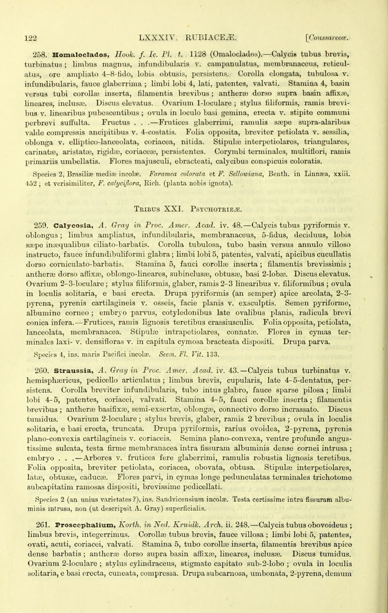 258. Homaloclados, Houk. f. Ic. Fl. t. 1128 (Omaloclados).—CalyciB tubus brevia, turbinatus ; liiu])u.s magnu.s, infundibularis v. campanulatus, membi-anaccus, reticul- atus, ore ampliato 4-8-tido, lobi.s obtusis, pcrsistens. Corolla elongata, tubulosa v. infundibularis, fauce glaberrima ; limbi lobi 4, lati, patentes, valvati. Stamina 4, basin versus tubi corollae iiiserta, filamentis brevibus ; antherce dorso supra basin affixie, lineares, inclusas. Discus elevatus. Ovarium 1-loculare ; stylus filiformis, ramis brevi- bus v. linearibiis pubcscentibus ; ovula in loculo basi gemina, erecta v. stipite communi perbrevi suffulta. Fructus . . .—Fnitices glaberrimi, ramulis sa;pe supra-alaribus valdc compressis ancipitibus v. 4-costatis. Folia opposita, brevitcr petiolata v. sessilia, oblonga v. eUiptico-lanceolata, coriacea, nitida. StipuliB interpetiolares, triangulares, carinatie, aristataj, rigidie, coriaceaj, persistentes. Corymbi terminales, multifiori, ramis primariis umbellatis. Flores majusculi, ebracteati, calycibus conspicuis coloratis. Species 2, Brasiliaj medise incolse. Faramca colorata et F. Sellowiana, Benth. in Linnsea, xxiii. 152 ; ot verisiniiliter, F. calycijlora, Kich. (planta nobis ignota). TrIBUS XXI. PsYCHOTKIEiE. 259. Calycosia, A. Gray in Proc. Amer. Acad. iv. 48.—Calycis tubus pyriformis v. oblongus; limbus ampliatus, infimdibularis, membranaceus, 5-fi.dua, deciduua, lobis saipe in;equalibus ciliato-barbatis. Corolla tubulosa, tubo basin versus annulo villoso instructo, fauce infundibTiIiformi glabra; limbi lobi 5, patentes, valvati, apicibua cucullatis dorso corniculato-barbatis. Stamina 5, fauci corollae inaerta ; filamentis brevissimis ; anthera; dorso affixse, oblongo-Iineares, subinclusfe, obtusse, basi 2-Iobfe. Discus elevatus. Ovarium 2-3-Ioculare; stylus filiformis, glaber, ramis 2-3 linearibus v. filiformibus ; ovula in loculis solitaria, e basi erecta. Drupa pyriformis (an semper) apice areolata, 2-3- pyrena, pyrenis cartilagineis v. osseis, facie planis v. exsculptis. Semen pyriforme, albumine comeo ; embryo parvus, cotyledonibus late ovalibus planis, radicula brevi conica infera.—Fnitices, ramis lignosis teretibus crassiusculis. Folia oppo.sita, petiolata, lanceolata, membranacea. Stipula3 intrapetiolares, connatrc. Flores in cymas ter- minalea laxi- v. densifloras v. in capitula cymosa bracteata dispositi. Drupa parva. Species 4, ins. maris Pacifici incote. Secm. Fl. Vit. 133. 2G0. Straussia, A. Crray in Proc. Amer. Acad. iv. 43. —Calycis tubus turbinatua v. hemisphtericus, pedicello articulatiis ; limbus brevis, ctipularis, late 4-5-dentatus, per- sistens. Corolla breviter infundibularis, tubo intus glabro, fauce sparse pilosa ; liml)i lobi 4-5, patentes, coriacei, valvati. Stamina 4-5, fauci coroUfe inserta; filamentis brevibus ; antherre basifixre, semi-exsertoe, oblongie, connectivo dorso incrassato. Discus tiimidus. Ovarium 2-loculare ; stylus brevis, glaber, ramis 2 brevibus ; ovula in loculia solitaria, e basi erecta, truncata. Dnipa pyriformis, rarius ovoidea, 2-pyrena, pyrenis plano-convexis cartilagineis v. coriaceis. Semina plano-convexa, ventre profunde angus- tissime sulcata, testa firme membranacea intra fissuram albuminia dense comei intrusa ; embryo . . .—Arbores v. frutices fere glaberrimi, ramulis robustis lignosis teretibus. Folia opposita, breviter petiolata, coriacea, obovata, obtusa. StipuIiTe interpetiolares, lat;X3, obtusa3, caducce. Flores parvi, in cymas longe pedunculatas terminales trichotome STibcapitatim ramosas dispositi, brevissime pedicellati. Species 2 (an imius varietates ?), ins. Sandvicensium incolae. Testa certissime intra fissuram albu- minis intrusa, non (ut descripsit A. Gray) superficialis. 261. Proscephalium, Korth. in Ned. Kruidk. Arch. ii. 248.—Calycis tubus obovoideus ; limbus brevis, integerrimus. Corollae tubus brevis, fauce villosa ; limbi lobi 5, patentes, ovati, acuti, coriacei, valvati. Stamina 5, tubo corollEe inserta, filamentis brevibus apice dense barbatis ; antherae dorso supra basin aflixae, liiieares, inclusae. Discus tumidus. Ovarium 2-Ioculare ; stylus cylindraceus, stigmate capitato 8ub-2-lobo ; ovula in loculis solitaria, e basi erecta, cuueata, compressa. Drupa subcarnosa, umbonata, 2-pyrena, demum