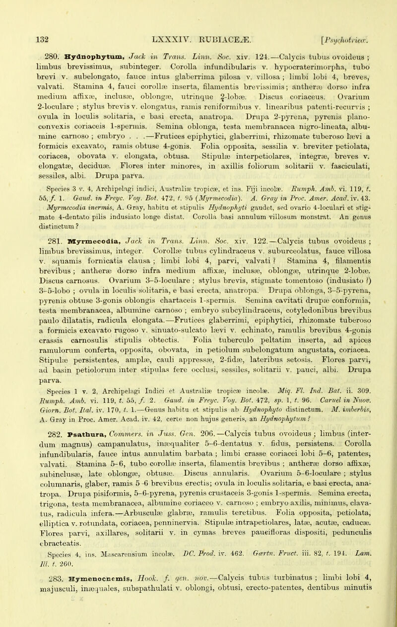 280. Hydnopbytum, Jack in Trans. Linn. Sor. xiv. 124.—Calycis hibus ovoideiis ; limbus brevissimus, subinteger. CoroUa infnndibularis v. hypocrateriniorpha, tubo brevi v. subelongato, fauce intus glaberrima pilosa v. villosa ; limbi lobi 4, breves, valvati. Stamina 4, fauci corolbe inserta, filamentis brevissimis; antherre dorso infra medium affixas, inclus;e, oblong.e, iitrinque 2-lobiB. Discus coriaceus. Ovarium 2- loculare ; stylus brevis v. elongatus, ramis reniformibus v. linearibus patenti-recurvis ; ovula in loculis solitaria, e basi erecta, anatropa. Drupa 2-pyrena, pyrenis plano- convexis coriaceis l-spermia. Semina oblonga, testa membranacea nigro-lineata, albu- mine carnoso ; embryo . . .—Frvitices epiphjrtici, glaberrimi, rhizomate tuberoso Ipevi a formicis excavato, ramis obtuse 4-gonis. Folia opposita, sessilia v. breviter petiolata, coriacea, obovata v. elongata, obtusa. Stipula^ interpetiolares, integrae, breves v. elongatfe, decidu;e. Flores inter minores, in axillis foliorum solitarii v. fasciculati, sessiles, albi. Drupa parva. Spccies 3 V. 4, Archipelagi indioi, Australi.Te tropicae, et ins. Fiji incolse. Rumph. Amh. vi. 119, t. bb,f. 1. Gaud. in Freye. Voy. Bot. -172, f. 95 {Myr^necodia). A. Gray in Proc. Amer. Acad.iv. iZ. Myrmecodia inermis, A. Gray, habitu et .«tipuli.s Hydnophyti gaudet, sed ovario 4-loculari et stig- mato 4-dent;ito pilis indusiato lunge distat. Corolla basi annulum villosum monstrat. An genus distinctum ? 281. IWyrmecodia, Jack in Trans. Linn. Soc. xiv. 122.—Calycis tubus ovoideus ; limbus brevissimus, integer. Corolhe tubu.s cylindraceus v. suburceolatus, fauce villosa V. sqviamis fornicatis clausa ; limbi lobi 4, parvi, valvati ? Stamina 4, filamentis brevibus ; antheraj dorso infra medium affixffi, inclusye, oblongae, utrinq\ie 2-lobie. Discus carnosus. Ovarium 3-5-loculare ; stylus brevis, stigmate tomentoso (indusiato /) 3- 5-lobo ; ovula in locixlis solitaria, e basi erecta, anatropa. Drupa oblonga, 3-5-pyrena, pyrenis obtuse 3-gonis oblongis chartaceis 1-spermis. Semina cavitati drvipaj conformia, testa membranacea, albumine carnoso ; embryo siibcylindraceus, cotyledonibus brevibus paulo dilatatis, radicula elongata.—Frutices glaberrimi, epiphytici, rhizomate tuberoso a formicis excavato nigoso v. sinuato-sulcato lievi v. echinato, ranuilis brevibus 4-gonis crassis carnosulis stipulis obtectis. Folia tuberculo peltatim inserta, ad apices ramulorum conferta, opposita, obovata, in petiolum subelongatum angustata, coriacea. Stipulae persistentes, amplse, cauli appressas, 2-fid8e, lateribus setosis. Flores parvi, ad basin petiolorum inter stipulaa fere occhisi, sessiles, solitarii v. paxici, albi. Drupa parva. Species 1 v. 2, Archipelagi Indiei et Australise tropiciE incolae. Miq. Fl. Ind. Bat. ii. 309. Ru?nph. Amb. vi. 119, t. 55, /. 2. Gaud. in Freyc. Voy. Bot. 472, sp. 1, t. 96. Cariiel in Nuov. Giorn. Bot. Ital. iv. 170, t. 1.—Genus habitu et stipulis ali Hydnophyto distinctum. M. imhcrhis, A. Gray in Proc. Amer. Acad. iv. 42, certe non hujus generis, an Hydnophytum! 282. Psathura, Commers. in Juss. Gen. 206.—Calycis tubus ovoideus ; limbus (inter- dum magnus) campanulatus, inajqualiter 5-6-dentatus v. fidus, persistens. Corolla infundibularis, favice intus annulatim barbata ; limbi crasse coriacei lobi 5-6, patentes, valvati. Stamina 5-6, tubo corolln! inserta, filamentis brevibus ; antherae dorso affixae, subincbisae, late oblongae, obtus;e. Discus anmilaris. Ovarium 5-6-loculare ; stylus columnaris, glaber, ramis 5 -6 brevibus erectis; ovula in loculis solitaria, e basi erecta, ana- tropa. Drupa pisiformis, 5-6-pyrena, pyrenis crustaceis 3-gonis 1-spermis. Semina erecta, trigona, testa membranacea, albtunine coriaceo v. carnoso ; embryo axilis, minimus, clava- tii.s, radic\ilii infera.—Arbtisciilaa glabrae, ramulis teretibus. Folia opposita, petiolata, elliptica v. rotundata, coriacea, penninervia. Stipulaj intrapetiolares, latae, acut;«, caducse. Flores parvi, axillares, solitarii v. in cynias brevea paucifloras dispositi, pedunculis tbracteatis. Species 4, ins. Mascarensium incolae. DC. Prod. ir. 462. Gtertn. Frvct. iii. 82, t. 194. Lam. m. t. 260. 283. Hymenocnemis, Jiaok. /. qcn. vov.—Calycis tubus turbinatus ; limbi lobi 4, majuscvili, inasquales, subspathulati v. oblongi, obtusi, erecto-patentes, dentibus minutis