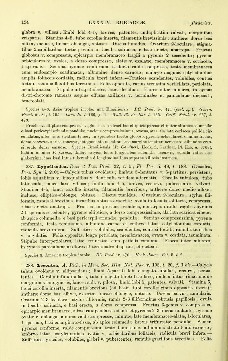 glabra v. villosa; limbi lobi 4-5, breves, patentes, induplicatim valvati, marginibus crispatis. Staniina 4-5, tubo corollse inserta, tilamentis brevissimis ; antlierse dorso basi affixiB, inclusfe, lineari-oblongaB, obtusae. Discus tumidus. Ovarium 2-loculare ; stigma- tibus 2 capillaribus tortis ; ovula in loculis solitaria, e basi erecta, anatropa. Fructus globosus V. compres.sus, epicarpio membranaceo fragili a pyrenis 2 secedente ; pyrense orbicularcs v. ovales, a dorso compressaj, alatas v. exalatse, membranacese v. coriacejo, l-spermne. Semina pyrenjB conformia, a dorso valde compressa, testa membranacea ewm. endocai-pio coadunata ; albumine dense camoso ; embryo magnus, cotyledonibus amplis foliaceis cordatis, radicula brevi infera. —Frutices scandentes, volubiles, contusi fretidi, ramulis flexilibus teretilnia. Folia opposita, rarius ternatim verticillata, petiolata, nicmbranacea. Stipulpe intrapetiolares, latiie, decidufe. Flores inter minores, in cymas di-tri-chotomo ramosas ssepius eflusas axillares v. terminales et paniculatas dispositi, bracteolati. Spccies 5-6, Asiic tropicEE incolae, una Brnsiliensis. DC. Prod. iv. 471 {cxcl. sp.). Gartn. Fruct. iii. 8-1, t. 196. Lam. lll. t. 166, /. 1. Wall. Pl. As. Bar. t. 165. Griff. Notul. iv. 267, t. 479. Fnictus V. clliptico-compressus v. glohosns ; infrnctibus ollipticispyrcnpeellipticfeab.apicecolumellDe e basi periearpii oviundoe pendula;, nuelous coniprcssissinius, ovatus, ater, ala lata coriacea pallida cir- cumdatus, albuiniiiis stratum tenue ; in speciebus fructu glolioso, pyrense orbicularcs, omnino liberse, dorso convexse- .uitice concav», integumento membranaceo marginetenuiterincrassato, albumino cras- eiiificulo dense carnoso. Species Brasiliensis (P. Gardneri, Hook. f, Gardner, PI. Exs. n. 3768), liabitu omnino P. foetide, diflFort calycis lobis longioribus subulatis recurvis, corolla intus fere glabiTrima, ima basi intus tuberculis 5 lougitudinalibus superne villosis instructa. 287. lygodlsodea, Ruiz et Pav. Prod. 32, t. 5 ; Fl. Per. ii. 48, t. 188. (Disodea, Pers. Syn. i. 210). —Calycis tubus ovoideus ; linibus 5-dentatus v. 5-partitus, persistens, lobis aequalibua v. inrequalibus v. denticulis totidem alternatis. Corolla tubulosa, tubo latiusculo, faiice laxe villosa; liinbi lobi 4-5, breves, recurvi, pubescentes, valvati. Stamina 4-5, fauci corollte inserta, filamentis brevibus ; anthera; dorso medio aflixa;, inclus.ie, elliptico-oblongas, obtusa;. Discus tumidus. Ovarium 2-loculare ; styhis fih- formis, ramis 2 brevibus Hnearibus obtusis exsertis ; ovula in loculis solitaria, compressa, e basi erecta, anatropa. Fructus compressus, ovoideus, epicai-pio iiitido fragili a pyrenis 2 1-spermis seoedcnte ; pyrenso elliptic.ie, a dorso compressissimse, ala lata scariosa cinctae, ab apice columellfe e basi pericarpii oriundse, pendulse. Semina compressissima, pyrense conformia, te.sta tenuissima, albumine carnoso ; embryo latus, cotylcdonibus cordatis, radicula brevi infera.-—SufFrutices volubiles, scandentes, contusi foetidi, ramulis teretibus V. angulatis. Folia opposita, longe petiolata, membranacea, ovata v. cordata, acuminata. Stipulse interpetiolares, latse, truncatre, cum petiolis connatiB. Flores inter minores, in cymas paniculatas axillares et terminales dispositi, ebracteati. Species 3, Americae tropicae incol». DC. Prod. iv. 470. HooL Journ. Bot. ii. t. 2. 288. lecontea, A. Bich. in Mem. Soc. IliM. Nut. Par. v. 195, t 20, /. 1 bis.—Calycis tubus ovoideus v. ellipsoidevis ; Hmbi 5-partiti lobi ehmgato-siibulati, recurvi, persis- tcntes. Corolla infundibularis, tubo elongato tereti basi fisso, ibidem intus rimarvimque marginibus lanuginosis, fauce nuda v. pilosa; limbi h)bi 5, patentes, valvati. Stamina 5, fauci corollse inserta, filamentis brevibus (ad basin tubi coroUae rimis oppositis liberis); antherse dor.so basi affixse, exsertre, lineari-oblongse, obtusse. Discus parvua, annularis. Ovarium 2-3-loculare ; stylus fihformis, ramis 2-3 fihformibus obtusis papillosis ; ovula in locuHs solitaria, e basi erecta, a dorso compreasa. Fructus 3-gonus v. compressus, epicarpio membranaceo, a basi nimpenda secedente et pyrenas 2-3 Kberas nudante ; pyrenae ovatae v. oblongfe, a dorso valde compressse, minutae, late membranaceo-alatae, 1-loculares, 1-spermae, basi emarginato-fissse, ab apice coHuneUse brevis trifurcatse pendulse. Semen pyrense conforme, valde compressum, testa tenuissima, albuminis strato tenui carnoso ; embryo latus, cotyledonibvis ovatis v. orbicularibus foHaceis, radicula brevi infera.— Sufl^rutices gracHes, volubiles, glrbri v. pubescentes, ramuHs graciHbus teretibus. FoUa
