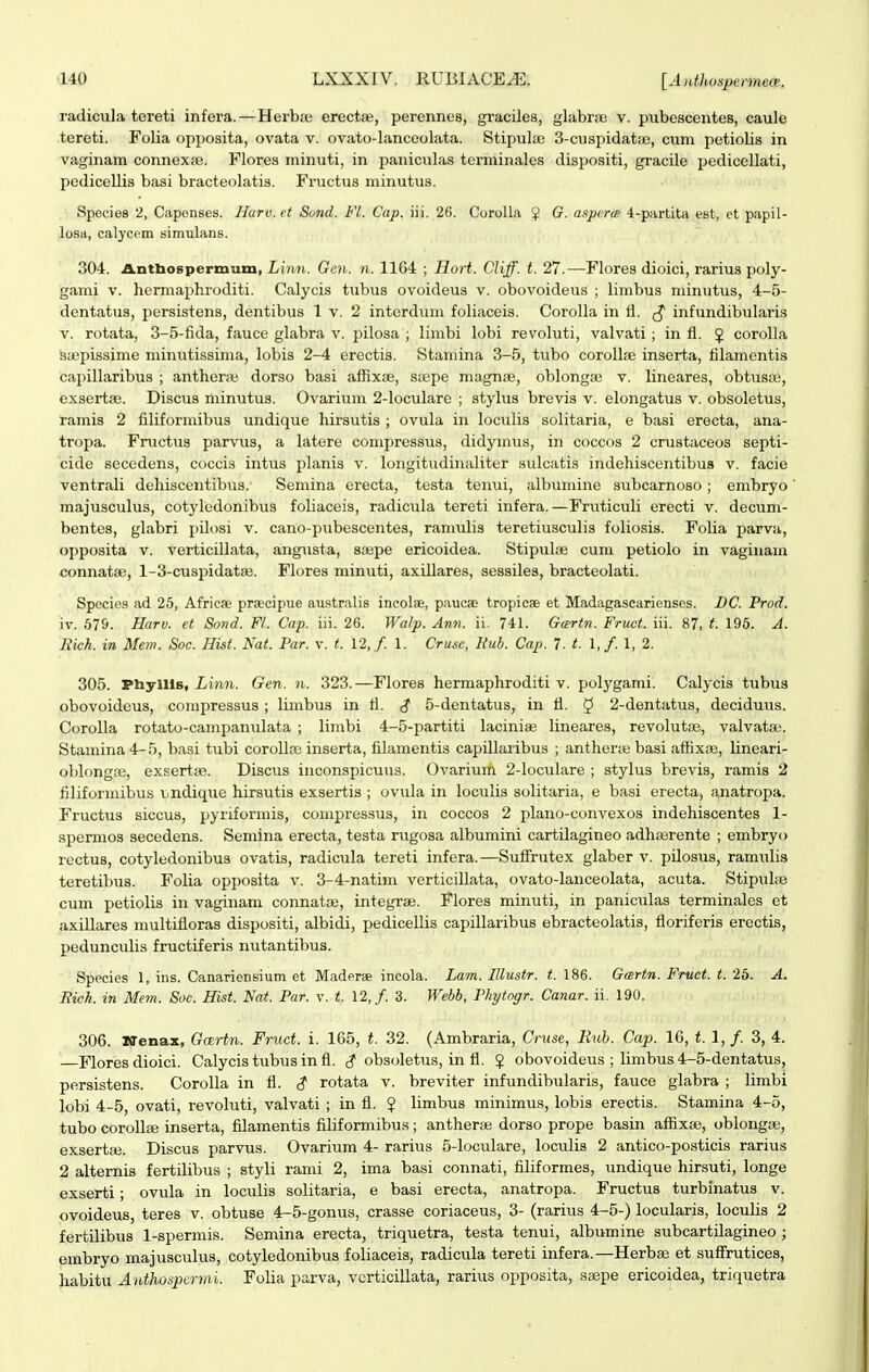 radicula tereti infera.—Herbaj erectse, perennes, graciles, glabrpc v. pubescentes, caule teroti. Folia opposita, ovata v. ovato-lanceolata. Stipulas 3-cuspidat<x', cum petioUs in vaginam connexas. Flores minuti, in paniculas terminales dispositi, gracile pedicellati, pedicellis basi bracteolatis. Fructus minutus. Species 2, Capenses. Haro.et Sond. Fl. Cap. iii. 26. CoroUa ^ G. aspcra; 4-partitH est, et papil- losH, calycem simulans. 304. A.ntbospermum, Linn. Gen. n. 1164 ; Hort. Cliff. t. 27.—Flores dioici, rarius poly- gami V. hermaphroditi. Calycis tubus ovoideus v. obovoideus ; limbus minutus, 4-5- dentatus, persistens, dentibus 1 v. 2 intcrdum foliaceis. Corolla in 11. ^ infundibularis V. rotata, 3-5-fida, fauce glabra v. pilosa ; limbi lobi revoluti, valvati; in fi. J corolla syepissime minutissima, lobis 2-4 erectis. Stamina 3-5, tubo corollfe inserta, filamentis capillaribus ; anthent dorso basi affixte, s;epe magnae, oblonga3 v. lineares, obtusaj, exsertae. Discus minutus. Ovarium 2-loculare ; stylus brevis v. elongatus v. obsoletus, ramis 2 filiformibus undique hirsutis ; ovula in loculis solitaria, e basi erecta, ana- tropa. Fructus parvus, a latere compressus, didymus, in coccos 2 crustaceos septi- cide secedens, coccis intus planis v. longitudinaliter sulcatis indehiscentibus v. facie ventrali dehiscentibus. Semina erecta, testa tenui, albumine subcarnoso ; embryo majusculus, cotyledonibus foliaceis, radicula tereti infera.—Fruticuli erecti v. decum- bentes, glabri pilosi v. cano-pubescentes, ramulis teretiusculis foliosis. Folia parva, opposita V. verticillata, angusta, siepe ericoidea. Stipulwe cum petiolo in vaginam connatse, l-3-cuspidata3. Flores minuti, axUlares, sessiles, bracteolati. Spocios ad 25, Africae prsecipuo au.stralis incolse, pauca; tropicae et Madagascarienscs. DC. Prod. iv. 579. Harv. et Sond. Fl. Cap. iii. 26. Walp. Ann. ii. 741. Gcertn. Fruct. iii. 87, t. 195. A. Rich. in Mem. Soc. Hist. Nat. Par. v. t. 12, /. 1. Crusc, Bub. Cap. 7. t. 1,/. 1, 2. 305. Pliyllls, Linn. Gen. n. 323.—Flores hermaphroditi v. polygami. Calycis tubus obovoidcus, compressus; limbus in 11. ^ 5-dentatus, in fl. 5 2-dentatus, deciduus. CoroUa rotato-campanulata ; limbi 4-5-partiti laciniae lineares, revolutfe, valvata;. Stamina 4-5, basi tubi corollse inserta, filainentis capillaribus ; antherte basi aflixEe, lineari- oblongse, exsertije. Discus inconspicuus. Ovarium 2-loc\ilare ; stylus brevis, ramis 2 filiformibus v.ndique hirsutis exsertis ; ovula in loculis solitaria, e basi erecta, anatropa. Fructus siccus, pyriformis, compressus, in coccos 2 plano-convexos indehiscentes 1- spermos secedens. Semina erecta, testa rugosa albumini cartilagineo adhierente ; embryo rectus, cotyledonibus ovatis, radicula tereti infera.—SufFrutex glaber v. pUosus, ramulis teretibus. Folia opposita v. 3-4-natini verticillata, ovato-lanceolata, acuta. Stipulaj cum petiolis in vaginam connata;, integi-a3. Flores minuti, in paniculas terminales et axillares multifloras dispositi, albidi, pedicellis capillaribus ebracteolatis, floriferis erectis, pedunculis fructiferis nutantibus. Species 1, ins. Canariensium et Maderae incola. Lam. Illustr. t. 186. Gmrtn. Fruct. t. 25. A. Rich. in Mem. Soc. Hist. Naf. Par. v. t. 12,/. 3. Webb, Phytogr. Canar. ii. 190. 306. Iffenax, Gmrtn. Fruct. i. 165, t. 32. (Ambraria, Cruse, Eub. Cap. 16, t.l,f. 3, 4. —Flores dioici. Calycistubusinfl. obsoletiis, in fl. $ obovoideus ; limbus 4-5-dentatus, persistens. CoroUa in fl. <? rotata v. breviter infundibularis, fauce glabra ; limbi lobi 4-5, ovati, revoluti, valvati ; in fl. $ limbus minimus, lobis erectis. Stamina 4-5, tubo corollee inserta, filamentis filiformibus; antheraj dorso prope basin affixas, oblonga;, exsertaj. Discus parvus. Ovarium 4- rarius 5-loculare, loculis 2 antico-posticis rarius 2 altemis fertilibus ; styli rami 2, ima basi connati, filiformes, undique hirsuti, longe exserti; ovula in loculis solitaria, e basi erecta, anatropa. Fructus turbinatus v. ovoideus, teres v. obtuse 4-5-gonus, crasse coriaceus, 3- (rarius 4-5-) locularis, locuUs 2 fertilibus 1-spermis. Semina erecta, triquetra, testa tenui, albumine subcartilagineo ; embryo majusculus, cotyledonibus foliaceis, radicula tereti infera.—Herbse et sufFrutices, habitu Anthospcrmi. Folia parva, vcrticillata, rarius opposita, saspe ericoidea, triquetra