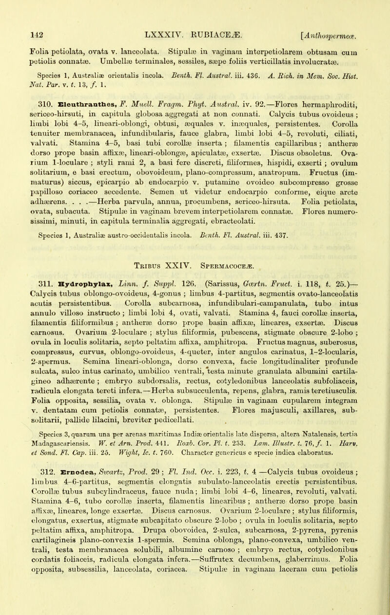 112 LXXXIV. RUBIACE^. [AntJwspermeoe. Folia petiolata, ovata v. lanccolata. StipuUe in vaginam interpetiolarem obtusam cum potiolis connatis. Umbellaj terrainales, sessiles, saepe foliia verticillatia involucratue. Species 1, Australiae orieutalis incola. Benth. Fl. Austral. iii. 436. A. Rich. in Mcm. Soc. Hist. Nat. Par. v. t. 13, /. 1. 310. Eleuthrantlies, F. Mndl. Fragm. Phyt. A^istral. iv. 92.—Flores hermaphroditi, soriceo-hirsuti, in capitula globosa aggregati at non connati. Calycis tubus ovoideus ; limbi lobi 4-5, lineari-oblongi, obtusi, asquales v. in;equales, persistentes. CoroUa tonuiter menibranacea, infundibularis, fauce glabra, linibi lobi 4-5, revoluti, ciliati, valvati. Stamina 4-5, basi tubi coroUaj inserta ; filamentis capillaribus ; anthersB dorso prope basin affixaj, lineari-oblongpe, apiculatae, exsertse. Discus obsoletus. Ova- rium l-loculare ; styli rami 2, a basi fere discreti, fiUformes, hispidi, exserti ; ovulum soUtarium, e basi erectum, obovoideum, plano-compressum, anatropum. Fructus (im- maturus) siccus, epicarpio ab endocarpio v. putamine ovoideo subcompresso grosse jiapUloso coriaceo secedente. Semen ut videtur endocarpio conforme, eique arcte adhiurens. . . .—Herba parvula, annua, procumbens, sericeo-liirsuta. FoUa petiolata, ovata, subacuta. Stipuhe in vaginam brevem intorpetiolarem connatae. Flores numero- sissimi, minuti, in capitula terminaUa aggregati, ebracteolati. Species 1, AustraHae austro-occidontaUs incola. Bctith. Fl. Austral. iii. 437. Tbibus XXIV. Spermacoce^. 311. Hydropbylax, Linn. f. Snppl. 126. (Sarissus, Gcertn. Fruct. i. 118, t. 25.)— Calycis tubus oblongo-ovoideus, 4-gonu8 ; Umbus 4-partitus, segmentis ovato-lanceolatis acutis persistentibus. CoroUa subcarnosa, infundibulari-campanulata, tubo intus aunulo vUloso instructo ; Umbi lobi 4, ovati, valvati. Stamina 4, fauci coroUfE inserta, fdamentis fiUformibus ; antherse dorso jirope basin affixai, Uneares, exsertte. Discus carnosus. Ovarium 2-loculare ; stylus fiUformis, pubescens, stigmate obscure 2-lobo ; ovTila in locuUs soUtaria, septo peltatim affixa, amphitropa. Fructus magnus, suberosus, compressiis, curvus, oblongo-ovoideus, 4-queter, inter angulos carinatus, 1-2-locularis, 2-spermus. Semina lineari-oblonga, dorso convexa, facie longitudinaUter profunde sulcata, sulco intus carinato, umbiUco ventraU, testa niinute granulata albumini cartila- gineo adhserente ; embryo subdorsaUs, rectus, cotyledonibus lanceolatis subfoUaceis, ra<licula elongata tereti infera.—Herba subsucculenta, repens, glabra, ramis teretiuscuUa. Folia opposita, sessilia, ovata v. oblonga. Stipulte in vaginam cupularem integram v. dentatam cum petiolis connatae, persistentes. Flores majusculi, axillares, sub- soUtarii, pallide lilacini, breviter pedicellati. Species 3, quarum una per arenas maritimas Indiae orientalis late dispersa, altera Natalensis, tertia Madagascariensis. W. et Arn. Prod. 441. Ro.vb. Cor. Pl. t. 233. Lom. Il/ustr. t. 76,/. 1. Harv. ci Sond. Fl. Cap. iii. 25. Wight, Ic. t. 760. Cliaracter genericus o specie indica elaboratus. 312. Ernodea, Sxoartz, Prod. 29 ; Fl. Lnd. Occ. i. 223, t. 4 —Calycis tubus ovoideus ; linibus 4-6-partitus, segmentis elongatis subulato-lanceolatis erectis persistentibus. CoroUiB tubus subcylindraceus, fauce nuda; limbi lobi 4-6, lineares, revoluti, valvati. Stamina 4-6, tubo coroUse inserta, filamentis linearibus ; antherte dorso prope basin afliKse, lineares, longe exsertse. Discus carnosus. Ovarium 2-loculare ; stylus fiUformis, elongatus, exsertus, stigmate subcapitato obscure 2-lobo ; ovula in loculis solitaria, septo peltatim affixa, amphitropa. Drupa obovoidea, 2-sulca, subcarnosa, 2-pyrena, pyrenis cartilagineis plano-convexis 1-spermis. Semina oblonga, plano-convexa, umbilico ven- trali, testa membranacea solubili, albumine carnoso ; embryo rectus, cotyledonibus cordatis foliaceis, radicula elongata infera.—Suffrutex deciimbens, glaberrimus. Folia opposita, subsessUia, lanceolata, coriacea. Stipuliv in vaginani laceram cum petioUs