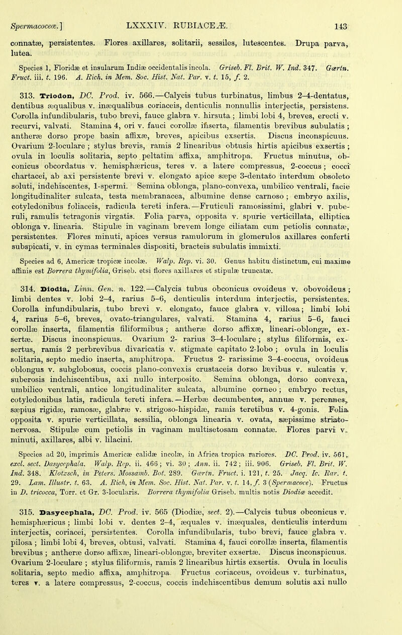 connatae, persiatentes. Flores axillares, solitarii, sessiles, lutescentes. Drupa parva, lutea. Species 1, Floridae et insularum Indise occidentalis incola. Griseb. Fl. Brit. W. Ind. 347. Garin. Fruct. iii. t. 196. A. Rich. in Mem. Soc. Hist. Nai. Par. v. t. 15, /.2. 313. Triodon, DC. Frod. iv. 566.—Calycis tubus turbinatus, limbus 2-4-dentatus, dentibus sequalibus v. insequalibus coriaceis, denticulis nonnuUis interjectis, persistens. Corolla infundibularis, tubo brevi, fauce glabra v. hirsuta; limbi lobi 4, breves, erecti v. recurvi, valvati. Stamina 4, ori v. fauci coroUfe ifiserta, filamentis brevibus subulatis ; antherse dorso prope basin afSxse, breves, apicibus exsertis. Discus inconspicuus. Ovarium 2-loculare ; stylus brevis, ramis 2 linearibus obtusis hirtis apicibus exsertis ; ovula in loculis solitaria, septo peltatim affixa, amphitropa. Fructus minutus, ob- conicus obcordatus v. hemisphsericus, teres v. a latere compressus, 2-coccus; cocci' chartacei, ab axi persistente brevi v. elongato apice Sispe 3-dentato interdum obsoleto soluti, indehiscentes, 1-spermi. Semina oblonga, plano-convexa, umbilico ventrali, facie longitudinaliter siilcata, testa membranacea, albumine dense carnoso ; embryo axilis, cotyledonibus foliaceis, radicula tereti infera.—Fruticuli ramosissimi, glabri v. pube- ruli, ramulis tetragonis virgatis. Folia parva, opposita v. spurie verticillata, elliptica oblonga v. linearia. Stipulse in vaginam brevem longe ciliatam cum petiolis connatse, persistentes. Flores minuti, apices versus ramulorum in glomerulos axillares conferti subspicati, v. in cymas terminales dispositi, bracteis subulatis immixti. Species ad 6, Americse tropicae incolae. Walp. Rep. vi. 30. Genus habitu distinctum, cui maxime affinis est Borrera thymifolia, Griseb. etsi flores axillares et stipulae truncatse. 314. Diodla, Linn. Gen. n. 122.—Calycis tubus obconicus ovoideus v. obovoideus ; limbi dentes v. lobi 2-4, rarius 5-6, denticulis interdum interjectis, persistentes. OoroIIa infundibularis, tubo brevi v. elongato, fauce glabra v. villosa; limbi lobi 4, rarius 5-6, breves, ovato-triangulares, valvati. Stamina 4, rarius 5-6, fauci corollae inserta, filamentis liliformibus ; antherae dorso affixse, lineari-oblongse, ex- sertse. Discus inconspicuus. Ovarium 2- rarius 3-4-IocuIare; stylus filiformis, ex- sertus, ramis 2 perbrevibus divaricatis v. stigmate capitato 2-lobo ; ovula in loculis solitaria, septo medio inserta, amphitropa. Fructus 2- rarissime 3-4-coccus, ovoideus. oblongus V. subglobosus, coccis plano-convexis crustaceis dorso Itevibus v. sulcatis v. suberosis indehiscentibus, axi nullo interposito. Semina oblonga, dorso convexa, umbilico ventrali, antice longitudinaliter sulcata, albumine corneo; embryo rectus, cotyledonibus latis, radicula tereti infera.—Herbee decumbentes, annuse v. peremnes,. saepius rigidse, ramosse, glabrae v. strigoso-hispidte, ramis teretibus v. 4-gonis. Fblia, opposita V. spurie verticiUata, sessilia, oblonga linearia v. ovata, SBepissime striato- nervosa. Stipulse cum petiolis in vaginam multisetosam connatse. Flores parvi v. minuti, axillares, albi v. lilacini. Species ad 20, imprimis Americae calidae ineolse, in Africa tropiea rariores. DC. Frod. iv. 661', excl. sect. Dasycephala. Walp. Rep. ii. 466; vi. 30 ; Ann. ii. 742 ; iii. 906. Griseb. Fl. Brit. W. Ind. 348. Klotzsch, in Peters. Mossamb. Bot. 289. Gcertn. Fruct. i. 121, t. 26. Jacq. Ic. Rar. t. 29. Lam. Illustr. t. 63. A. Rich, in Mem. Soc. Hist. Nat. Par. v. t. 14,/. 3 {Spermacoce). Fructus iu D. tricocca, Torr. et Gr. 3-locularis. Borrera thymifolia Griseb. multis notis Diodiee accedit. 315. Dasycephala, DG. Prod. iv. 565 (Diodise, sect. 2).—Calycis tubus obconicus v. hemisphsericus ; limbi lobi v. dentes 2-4, sequales v. insequales, denticulis interdum interjectis, coriacei, persistentes. Corolla infundibularis, tubo brevi, fauce glabra v. pilosa ; limbi lobi 4, breves, obtusi, valvati. Stamina 4, fauci corollse inserta, filamentis brevibus ; antherse dorso affixas, lineari-oblongae, breviter exsertse. Discus inconspicuus. Ovarium 2-IocuIare ; stylus filiformis, ramis 2 linearibus hirtis exsertis. Ovula in loculis solitaria, septo medio affixa, amphitropa. Fructus coriaceus, ovoideus v. turbinatus, teres t. a latere compressus, 2-coccus, coccis indehiscentibus demum solutis axi nullo