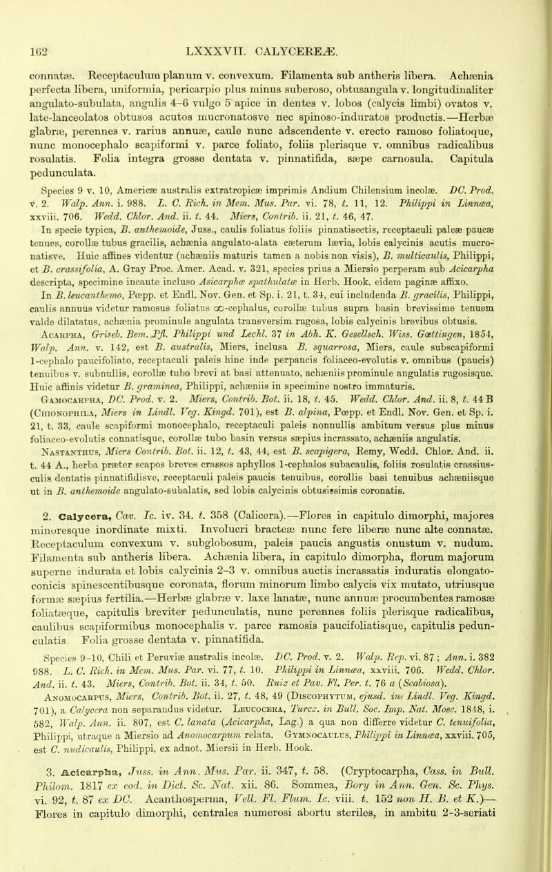 connatfB. Receptaculum planum v. convexum. Filamenta sub antheris libera. Achaenia perfecta libera, uniformia, pericarpio plus minus suberoso, obtusangula v. longitudiiialiter angulato-subulata, angulis 4-G vulgo 5 apice in dentes v. lobos (calycis limbi) ovatos v. late-lanceolatos obtusos acutos aiiucronatosve nec spinoso-induratos productis.—Herbae glabrte, perennes v. rarius annuis, caule nunc adscendente v. erecto raraoso foliatoque, nunc monocephalo scapiformi v. parce foliato, foliis plorisque v. omnibus radicalibus rosulatis. Folia integra grosse dentata v. pinnatifida, sijepe carnosula. Capitula pedunculata. Species 9 v. 10, Americae australis extratropicse imprimis Andium Chilensium incolse. DG. Prod. V. 2. Walp. Ann. i. 988. L. C. Rich. in Mcm. Mus. Par. vi. 78, t. 11, 12. Philippi in Linnaa, xxviii. 706. Wedd. Chlor. And. ii. t. 44. Miers, Contrih. ii. 21, t. 46, 47. In specie typica, B. anthemoide, Juss., caulis foliatus foliis pinnatisectis, receptaculi paleae paucae tonues, coroUoe tubus gracilis, achsenia angulato-alata ea;tenun Isevia, lobis calycinis acutis mucro- natisve. Huic affines videntur (achaeniis maturis tamen a nobis non visis), B. multicaulis, Philippi, et B. crassifolia, A. Gray Proc. Amer. Acad. v. 321, species prius a Miersio perperam sub Acicarpha deseripta, specimine incaute incluso Asicarphce spathulatcB in Herb. Hook. eidem paginse affixo. In B. leucanthimo, Pcepp. et Endl. Nov. Gen. et Sp. i. 21, t. 34, cui includenda B. gracilis, Philippi, caulis annuus videtur ramosus foliatus oo-cophalus, coroUae tubus supra basin bre^nssime tenuem valde dilatatus, achaenia prominule angulata transversim rugosa, lobis calycinis brevibus obtusis. AcAHPHA, Griseh. Bem. Pfl. Philippi und Lechl. 37 in Abh. K. Gesellsch. Wiss. Go^ttingen, 1854, Walp. Ann. v. 142, est B. australis, Miers, inclusa B. squarrosa, Miers, caule subscapiformi 1-eephalo paiicifoliato, receptaculi paleis hinc iude perpaucis foliaceo-evolutis v. omnibus (paucis) tennibus v. subnuUis, corolla tubo bre\n at basi attenuato, aehjeniis prominule angulatis rugosisque. Huic affinis videtur B. graminca, Philippi, acha;niis in specimine nostro immaturis. GAMOCARrHA, BC. Prod. V. 2. Miers, Contrih. Bot. ii. 18, t. 45. Wedd. Chlor. And. ii. 8, t. 44 B (Chionophila, Miers in Lindl. Veg. Kingd. 701), est B. alpina, Poepp. et Endl. Nov. Gen. et Sp. i. 21, t. 33, caule scapiformi monocephalo, receptaculi paleis nonnullis ambitum versus plus minus foliaceo-evolutis eonnatisque, corollae tubo basin versus saepius incrassato, achseniis angulatis. Nastanthds, Miers Contrih. Bot. ii. 12, t. 43, 44, est B. scapigera, Eemy, Wedd. Chlor. And. ii. t. 44 A., herba praeter seapos breves crassos aphyllos 1-cephaIos subaeaulis, foliis rosulatis crassius- culis dentatis pinnatifidisve, receptaculi paleis paucis tenuibus, coroUis basi tenuibus achaeniisque ut in B. anthemoide angulato-subalatis, sed lobis calycinis obtusissimis coronatis. 2. Calycera, Cav. Ic. iv. 34. t. 358 (Calicera).—Flores in capitulo diraorphi, raajores minorescpie inordinate mixti. Involucri bracteas nunc fere liberae nunc alte connat£e. Receptaculuui convexum v. subglobosum, paleis paucis angustis onustum v. nudum. Filamenta sub antheris libera. Achsenia libera, in capitulo dimorjjha, florum majorum superne indurata et lobis calycinis 2-3 v. omnibus auctis incrassatis induratis elongato- conicis spinescentibusque coronata, fiorinn minorum limbo calycis vix rautato, utriusque forrase ssepius fertilia.—Herbas glabrse v. laxe lanata^, nunc annufE procumbentes ramosse foliatfeque, capitulis breviter pedunculatis, nunc perennes foliis plerisque radicalibus, caulibus scapiformibus raonocephalis v. parce raraosis paucifoliatisque, capitulis pedun- culatis, Folia grosse dentata v. pinnatifida. Species 9-10, Chili et Peruviee australis incolas. I)C. Vrod. v. 2. Walp. Itcp. vi. 87 ; Ann. i. 382 988. L. C. Rich. in Mcm. Mus. Par. vi. 77, t. 10. Philippi in lAnncBa, xxviii. 706. Wedd. Chlor. And. ii. t. 43. Miers, Contrih. Bot. ii. 34, t. 60. Ruiz et Pav. Fl. Per. t. 76 a {Scabiosa). Anomocahpits, Miers, Contrib. Bot. ii. 27, t- 48, 49 (Discophytum, ejusd. in- Lindl. Veg. Kingd. 701), a Calycera non separaudus videtur. Leucocera, Turcc. in Bull. Soc. Imp. 'Nat. Moec. 1848, i. 682, Walp. Ann. ii. 807, est C. lanata (Acicarpha, Lag.) a qua non differre videtur C. tcnuifolia, Philippi, utraque a Miersio ad Anomocarpum relata. GyMsocArLus, PhiUppi inlAnnasa, xxviii. 705, est C. nudicaulis, Philippi, ex adnot. Miersii in Herb. Hook. 3. ilciearplia, Juss. in Ann. Mus. Par. ii. 347, t. 58. (Cryptocarpha, Cass. in Bull. Philom. 1817 ex cod. in Dict. Sc. Nat. xii. 86. Soraraea, Bory in Ann. Gen. Sc. Phys. vi. 92, t. 87 ex DC. Acanthospenna, Vell. Fl. Flum. Ic. viii. t. 152 non H. B. et K.)— Flores in capitulo dimorphi, centrales numerosi abortu steriles, in arabitu 2-3-seriati