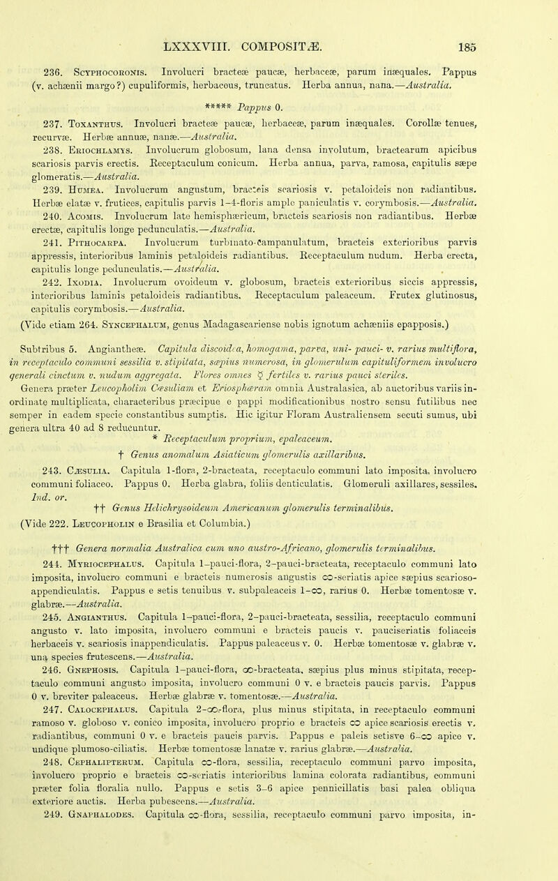 236. ScYPHOcoEONis. Inrolucri br.icteae paucae, herLaceae, parum inaequalos, Pappus (v. achaenii margo?) cupuliformis, herbacous, trunoatus. Herba annua, nana.—Atistralia. ***** Pappus 0. 237. ToxANTHtrs. Involucri bractese paucae, herbaceae, parum inaequales. Corollee tenues, recurvae. Herbae annuee, nauae.—Australia. 238. Eeiochlamis. Involucrum globosum, lana densa involutum, bractearum apicibus scariosis parvis erectis. Eeceptaculum conicum. Herba annua, parva, ramosa, capitulis saepe glomeratis.—Australia. 239. HuMEA. Involucrum angustum, bracteis scariosis v. petaloideis non radiantibus. Herbae elatae v. frutices, oapitulis parvis 1—1-floris araplc paniculatis v. corymbosis.—Aii,stralia. 240. AcoMis. Involiiorum lato hemisphserioum, bracteis scariosis non radiantibus. Horbae ereetae, capitulis longe pedunculatis.—Anstralia. 241. PiTHoCAEPA. Involucrum turbinato-Campanulatum, bracteis extorioribus parvis appressis, interioribus laminis petaloideis radiantibus. Eeceptaculum nudum. Herba erecta, capitulis longe poJunculatis.—AusiAdia. 242. IxoDiA. Involucrum ovoideum v. globosum, bracteis exterioribus siccis apprcssis, interioribus laminis petaloideis radiantibus. Heceptaculum paleaceum. Prutex glutinosus, capitulis corymbosis.—Australia. (Vido etiam 264. Syn:cephalum, genus Madagascariense nobis ignotum aehaeniis epapposis.) Subtribus 5. Angianthese. Capitula discoidca, homogama, parva, uni- pauci- v. rarius multiflora, in rcceptando communi sessilia v. stipitata, sapius numerosa, in glimieridum capituliformem ijivulucro qenerali cinctum v. nudum aggregata. Vlores omnes § fertilcs v. rarius pauci stcrilcs. Genera praeter Leucopholim Cfsuliam et Eriosphceram omnia Australasica, ab auotoribus variis in- ordinate multiplieata, charaoteribus prtecipue e pappi modificationibus nostro sensu futilibus nec semper in eadem specie constantibus sumptis. Hic igitur Floram Australiensem secuti sumus, ubi geiiera ultra 40 ad 8 reducuntur. * Rcceptaculum proprium, epcdcaceum. t Getius anomalum Asiaticum glomerulis axillarihus. 243. CiESiiLiA. Capitula 1-flora, 2-bracteata, receptaculo communi lato imposita, involucro communi foliaceo. Pappus 0. Herba glabra, foliis denticulatis. Glomeruli axillares, sessiles. Ind. or. f t Genus Hdichrysoideum Americanum glornerulis terminalihus. (Vide 222. Leucofholin e Brasilia et Columbia.) ttt Genera normalia Ausiralica cum wio austro-Africano, glomerulis terminalihus. 244. Myriocephalus. Capitida 1-pauoi-flora, 2-pauci-bracteata, receptaculo communi lato imposita, involucro communi e bracteis numerosis augustis co-seriatis apice saepius scarioso- appendiculatis. Pappus e setis tenuibus v. subpaleaceis 1-co, rarius 0. Herbse tomentosae v. glabrae. —Australia. 245. Angianthus. Capituhi 1-pauoi-flora, 2-pauci-bracteata, sessilia, receptaculo communi angusto V. lato imposita, involucro communi e bracteis paucis v. pauciseriatis foliaceis herbaceis v. scariosis inappendiculatis. Pappus paleaceus v. 0. Herbae tomentosae v. glabrae v. unfj, species frutescens.—Australia. 246. Gnbphosis. Capitula 1-pauci-flora, oo-bracteata, saepius plus minus stipitata, recep- taculo communi angusto imposita, involucro communi 0 v. e bractois paucis parvis. Pappus 0 V. breviter paleaceus. Herbae glabrae v. tomentosae.—Australia. 247. Calocephalus. Capitula 2-ao.-flora, plus minus stipitata, in receptaeulo communi ramoso v. globoso v. conico imposita, involuero proprio e braeteis co apico scariosis eroctis v, radiantibus, communi 0 v. e bracteis paucis parvis. Pappus e paleis setisve 6-co apice v. undique plumoso-ciliatis. Herbae tomentosae lanatae v. rarius glabrae.—Australia. 248. Cephaliptbeum. Capitula oo-flora, sessilia, receptaculo communi parvo imposita, involuoro proprio e bracteis co-scriatis interioribus lamina colorata radiantibus, eomrauni prseter folia floralia nullo. Pappus e setis 3-6 apice pennioillatis basi palea obliqua exteriore auctis. Herba pubescens.—Australia. 249. Gnaphalodes. Capitula co-flora, sessilia, reccptaculo communi parvo imposita, in-