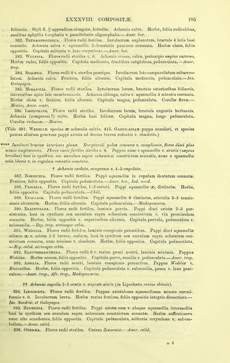 foHaceis. Styli fl. § appendices elongatsB, hirtellae. Acliaenia ealva. Herba-, foliis radiealibus, caulibus apliyllis 1-cephalis v. paueifoliatis oligocephalis.—Amer. bor. 382. Tetragonothec.\. Flores radii fertiles. Involuerum explanatum, braoteis 4 latis basi connatis. Aohsenia calva v. squamellis 2-3-seriatis paucisve coronata, Herbee elatse, foliis oppositis. Capitula solitaria v. laxe corymbosa.—Amer. bor. 383. WuLFFiA. Floresradii steriles v. 0. Achifinia crassa, calva, pericarpio ssepius oarnoso. Herbse rudes, foliis oppositis. Capitula medioeria, fructifei-a subglobosa, pedunculata,—Amer. trop. 384. ScAiESiA. Flores radii 0 v. sterilos paucique. Ins-olucrum late campanulatum suburceo- latum. Achaenia calva. Frutices, foliis alternis. Capitula mediocria, podunculata.—Ins. Galapagos. / 385. MiEASoLiA. Flores radii stcriles. Involucrum latum, bracteis exterioribus foliaceis, interioribus apice lato membranaceis. Achasnia oblonga, calvav. squamellis 5 minutis coronata. Herbie elatse v, frutices, foliis alternis. Capitula magna, pedunculata, CoroIIee flavae.— Mexico, Amer. centr. 386. losTEPHAKE. Florps radii steriles. Involucrum latum, bracteis angustis herbaceis. AchiBuia (compressa ?) calva. Herbse basi foliatse. Capitula magna, longe peduneulata. CoroIIse violaeese.—Mexico. (Vide 391. Wedeli^ species oo acheeniis calvis, 415. Garoilassam pappo annulari, et species paueas aliorum generum pappi aristis ad dentes breves reductis v. obsoletis.) **** Involucri bractem interiores ptancB. Beceptaculi palea concavte v. complicata, ftores disci plus minus amplectentes. Flores raaii fertiles steriles v. 0.- Fappus nunc e squamellis v. aristis {sapius brevibus) basi in oyathum seu annulum supra aohenium constrictum connatis, nunc e squamellis solis liberis v. in oupulam connatis constans. t Aohcenia exalata, compressa v. i-^-angulata. \ 387. EoKEicHiA. Flores radii fertiles. Pappi squamellas in cupulam dentatam connatse. Frutiees, foliis oppositis. Capitula pcdunculata.—Amer. bor., Ind. occid. 388. Pascalia. Flores radii furtiles, 1-2-seriati. Pappi squamellse oo, distinctse. Herba, foliis oppositis. Capitula pedunculata.—Chili. 389. Epallage. Flores radii fertiles. Pappi squamellse 6 distinctse, aristulis 3-5 tenuis- simis alternatae. Herbse, foliis alternis. Capitula pedunculata.—Madagascaria. 390. Blainvillea. Flores radii fertilos, laminis parvis. Pappi disci aristse 2-5 per- sistentes, basi in cyathum seu annulum supra achsenium constrictum v. vix prominulum counatse. Herbfe, foliis oppositis v. superioribus alternis. Capitula parvula, pedunculata v. subsessilia.—Beg. trop. lUriiisque orbis. 391. Wedklia. Flores radii fertiles, laminis conspicuis patentibus. Pappi disci squamellae ciliseve ao v. aristse 1-2 breves, caduwe, basi in cyathura sou annulum supra achaenium con- strictum connatoe, nunc minimas v. obsoletse. Herbse, foliis oppositis. Capitula pedunculata. —Reg. calid. ntriusque orbis. 392. Eleutheranthera. Flores radii 0 v. rarius pauoi neutri, laminis minimis. Pappus Wedelice. Herbse annuse, foliis oppositis. Capitula parva, sessilia v. pedunculata.—Amer. trop. 393. AspiLiA. Flores radii neutri, laminis conspicuis patentibus. Pappus Wedelia v. BlainvilletB. Herbae, foliis oppositis. Capitula pedunculata v. subsossilia, pauca v. laxe pani- culata.—Amer. trop., Afr. trop., Madagascaria. tt Achcpnia angulis 2-3 acutis v. anguste alatis (in Lipochseta rarius obtusis). 394. LiP0CH.«rrA. Flores radii fertiles. Pappus aristulosus squamellosus minute coroni- formis v. 0. Involucrum breve. Herbse rarius frutices, foliis oppositis integris dissectisve.— Ins. Sandvic. ct Galapagos. 395. Zexmenia. Flores radii fertiles. Pappi aristse cum v. absque squaraellis intermediis basi in cj^athum seu annulum supra achsenium constrictum connatse. Herbae sufFruticesve nunc alte seandentes, foliis oppositis. Capitula pedunculata, solitaria corymbosa v. subum- bellata.—Amer. calid. 396. OYED.ajA. Flores radii steriles. Caetera Zexmenice.—Amcr. calid. u 2