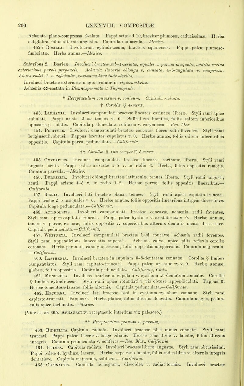 AclisDiiia plano-compressa, 2-alata. Pappi sota; ad 10, Lreviter pluniosrr, caducis.sinise. Hcrba subglabra, foliis alternis angiistis. Capitula inajuscula.—Mixico. 452? RosiLLA. Involucrum cyliudraceum, bracteis squarrosis. Pappi palese plumoso- fimbriatae. Herba annua.—Mexico. Subtribus 2. Bserieae. Invducri hractcce svh-l-scriata, cequales v. paru7ii inceqica/cs, additis rurius exteriorihus paruis perpaucis. Achfenia Uncaria ohlonga v. cuneata, i~d-angic/ata v. compressa. Ftores radii $ v. defwicntes, rarissimc hinc inde steriics. Involucri bractese exteriores magis evolutse in Hymenothrice. Achaenia co-costata in Blcnnospermate et Thijmopside. * lleccptaculum convexuvi v. conicum. Capitu/a rcuUuta. t Coro/lcB 5 4.-7nerce. 463. LAPHAMtA. Involucri carapanuUiti bractese lineares, carinatse, liberae. Styli rami apice subulati. Pappi aristic 2-co tenues v. 0. Suifrutices humiles, foHis saltem inferioribus oppositis p/tiolatis. Capitula pcdunculata, solitaria v. corymbosa.—Eeg. Mex. 454. Pbrityi.b. Involucri campanulati bractese coneavse, flores radii foventes. Styli rami lougiusculi, ohtusi. Pappus breviter cupiilatus v. 0. Herbse anniuje, foliis saltem inferioribus oppositis. Capitula parva, pedunculata.—C«Zi/or?«'a. tt CoroUcs ^ [071 semper?) d-mercs. 455. OxYPAPPus. Involucri campanuLvti bracteie lineares, carinatfe. libenc. Styli rami augusti, iicuti. Pappi pale;e aristatae 4-5 v. in radio 3. Herba, fuliis oppositis remotis. Capitula parvula.—Mexico. 456. BuRRiELiA. Involueri oblongi bractcae latiu.sculie, tenues, liberfE. Styli rami angusti, acuti. Pappi aristae 4-5 v. in radio 1-2. Herbse parvse, foliis oppositis line.iribus.— Ca/ifornia. 457. B/^ERiA. Involucri biti bracteaj planae, tenues. Styli ranii apice capitato-truncati. Pappi arisfse 2-5 insequales v. 0. Herbae annuae, foliis oppositis linearibus int.egris dissectisve. Capitula longe pedunculata.— Ca/ifornia. 458. AcTiNOLEPis. Involucri campanuhxti bractese concavse, achaenia radii foventes. Styli rami apiee capitato-truncati. Pappi palese hyalinse y. iiristatae co v. 0. Horbae annuae, tenerae v. parvae, ramosae, foliis oppositis v. superioribus alteruis dentatis incisis dissectisve. Capitula pedunculata.—Ca/ifornia. 457- WitiTNEYA. Involucri campanulati bractese basi concavae, achaenia radii foventes. Styli rami appendicibus lanceolatis superati. Achainia calva, apice pilis reflexis corollae coronata. Herlia peronnis, cano-glauceseens, foliis oppositis integerrimis. Capituia majuscula. — Ca/ifornia. 460. Lasthenia. Involucri bracteie in cupulam 5-8-dentatam connatae. Corollae § limbus campanulatus, Styli r:imi capitato-truncati. P;ippi palefe ;i.ristatae oo v. 0. Herbae annuae, ghibrae, foliis oppositis. Capitula ppduucubita.—Ccdifornia, Chili. 461. MoNOLopiA. Invohicri bracteie in cupuhim v. cyathum oo-dentatum connatae. Corollae § limbus eylindraceus. Styli rami apice rotundati v. vix obtuse appendieulati. Pappus 0. Herbae tomentoso-lanatre, foliis alternis. Capitula pedunculata.— Ccdiforniu. 462. HECUB.a;A. Involucri lati bracteae basi in cyathum oo-lobum connatae. Styli r;imi capitato-triincati. P;ippus 0. Herba glabra, foliis alternis elongatis. Capitula magna, pedun- culis apice turbinatis.—Mcxico. (Vide etiam 365. Aphanactix, receptaeulo interdum vix palcaceo.) ** Reccptacu/um jj/anum v. parvuTn. 463. RiDDELLiA. Capitula radiata. Involucri bracteae plus minus connatEe. Styli rami truncati. Pappi p;ileae lacerae r. longe ciliatae. Herbae toinentosBe v. lanatae, foliis alternis integris. Capitula peduuculata v. conferta.—Eeff. Mcx., Ca/ifornia. 464. Hulsba. Capitula radiata. Involucri bracteae liberae, angustae. Styli rami obtusissimi. Pappi paleiB 4, hyaliuae, lacerae. Herbae sfepe cano-lanatae, foliis radicalibus v. alternis integris dentatisve. Capitula maiuscula, soIitari;i.— Ca/ifornia. 465. CH.ENACTIS. Capitula homogama, discoldea v. radiatiformia. luvolucri bracteae