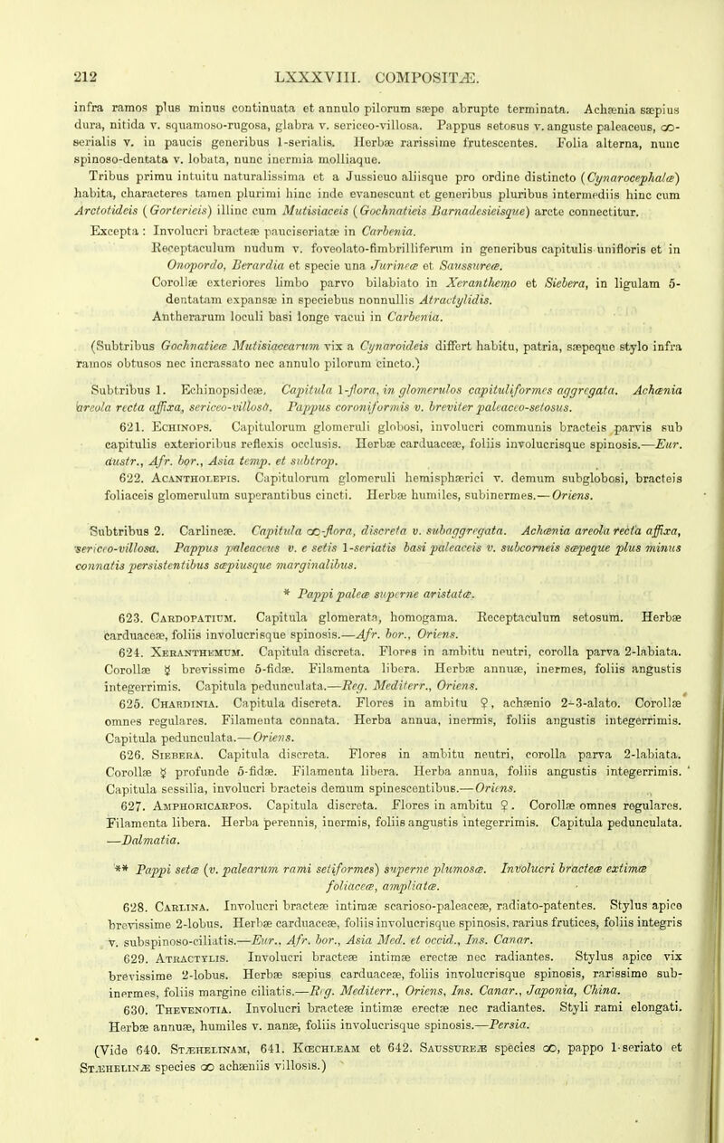 infra ramos plus minus continuata et annulo pilorum ssepe abrupto terminata. Achfenia ssepius dura, nitida v. squamosu-rugosa, glabra v. sericeo-villosa. Pappus setosus v. anguste paleaceus, co- serialis v. in paucis generibus l-serialis. Horbae rarissirae frutescontes. Folia alterna, nuuc spinoso-dentata v. lobata, nunc inermia molliaque. Tribus prirau intuitu naturalissima et a Jussieuo aliisque pro ordine distincto {Cynarocefhalm) habita, characteres tamen plurimi hinc inde evanescunt ot generibus pluribus intermediis hinc eum Arctotideis (Gorterieis) illinc cum Mutisiaceis {Gochnatieis Barnadcsicisqv.e) arcte connectitur. Excepta : Involueri bractea; pauciseriatae in Carhenia. Keceptaoulum nudum v. foveolato-fimbrillifpnim in generibus capitulis unifloris et in Onopordo, Berardia et specie una Jurincai et Savssiirca. Corollee exteriores limbo parvo bilabiato in Xcranthemo et Siehera, in ligulam 5- detitatam expansge in speciebus nonnullis Atractylidis. Antherarum loculi basi longe vacui in Carbcnia. ' ' V (Subtribus Gochnatiem Mutisiaccarinn vix a Cynaroideis difFert habitu, patria, ssepequo stylo infra rainos obtusos nec incrassato nec annulo pilorum cincto.) Subtribus 1. Echinopsidese, Ca^ntida \-jhra,in glomerulos capit^diformcs aggrcgata. Achcenia breola rccta affixa, scriceo-villosd. Pappus coroniformis v. breviter palcacco-setosus. 621. EcHiNOPS. Capitulorum glomcruli globosi, involucri communis bracteis parvis sub capitulis exterioribus reflexis oeclusis. Herbae carJuacese, foliis involucrisque spinosis.—Eur. dustr., Afr. bor., Asia iemp. et suhtrop. 622. AcANTHOLEPis. Capitulonim glomeruli hemisphaBrici v. demiim subglobosi, bracteis foliaceis glomerulum superantibus cincti. Herbae humiles, subinermes.— Oriens. Subtribus 2. Carlinese. Capitula cc-flora, discreta v. svhnggrrgata. Achcenia areolarecta affixa, ■sericco-villosa. Pappus paleacnts v. e sefis 1-seriatis ba.n paleaceis v. suhcomeis scppeque plus minus connatis persistentihus scspiusque marginalihus. * Pappipalc(B supirne aristatts. 623. Caedopatium. Capitula glomerata, homogama. Receptaeulum setosum. Herbae carduacefe, foHis involucrisque spinosis.—Afr. hor., Oriens. 624. Xeeanthkmum. Capitula discreta. Flores in ambitu neutri, corolla parva 2-labiata. CoroUse ^ brevissime 5-fidae. Filamenta libera. Herbae annufe, inermes, foliis angustis integerrimis. CapituLa pedunculata.—Eeg. Mcditerr., Oriens. 625. CHARniNiA. Capitula disereta. Flores in ambitu $, achaenio 2-3-alato. Corollse omnes regulares. Filaraenta connata. Herba annua, inermis, foliis angustis integerrimis. Capitula pedunculata.— Oriens. 626. SiEBERA. Capitula discreta. Flores in ambitu neutri, corolla parva 2-labiata. Corollse 5 profunde o-fidae. Filamenta libera. Herba annua, foliis angustis integerrimis. Capitula sessilia, involucri bracteis demum spineseentibus.—Oricns. 627. Amphoricabpos. Capitula disereta. Flores in ambitu ?. Corollae omnes regulares. Filamenta libera. Herba perennis, inermis, foliis angustis integerrimis. Capitula pedunculata. —Dalmatia. ** Pappi setts (v. palearum rami setiformes) superne phimostB. Involucri hractecB extimxB foliacecE, amptiatcB. 628. Carlina. Involucrl bracteae intimae scarioso-paleaceae, radiato-patentes. Stylus apico brovissime 2-lobus. Herbae carduaceae, foliis involucrisque spinosis, rarius frutices, foliis integris v. subspinoso-ciliatis.—Eiir.. Afr. bor., Asia Mcd. et occid., Ins. Canar. 629. Atracttlis. Involueri bractese intimae erectse nec radiantes. Stylus apice vix brevissime 2-lobus. Herbse Sfepius carduaceas, foliis involucrisque spinosis, rarissime sub- inermes, foliis margine ciliatis.—Rig. Mediterr., Oriens, Ins. Canar., Japonia, China. 630. Thevenotia. Involucri bracteae intimae erectse nec radiantes. Styli rami elongati. Herbse annuae, humiles v. nanse, foliis involucrisque spinosis.—Persia. (Vide 640. Stjehelinam, 641. Kcechleam et 642. Saiisstjbeje species oo, pappo 1-seriato et ST.ii;HELiN.i: spocies oo achseniis viUosis.)