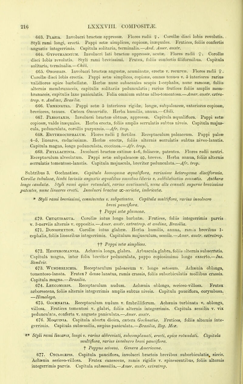 663. Plazia. Involucri bracteEe appressae. Flores radii 5 . Corollse disci lobis revolutis. Styli rami longi, erecti. Pappi setae simplices, copiosae, inaeqnales. Frutices, foliis coafertis angustis intGgerrimis. Capitula solitaria, terminalia.—And. Amer. austr. 664. Gypothamnium. Involucri lati braetese appressae, acutae. Flores radii $ ■, Corollse disci lobis revolutis. Styli rami brevissimi. Frutex, foliis confertis filiformibus. Capitula solitaria, termiualia.—Chili. 665. Onosebis. Involucri braetese angustDe, acuminata?, erectse v. recurvoe. Flores radii $ . Corollae disci lobis erectis. Pappi setae simplices, copiosce, omnes tenues v. 5 interiores rarius validiores apice barbellatse. Herbae nunc subacaules scapis 1-cephalis, nunc ramosae, foliis alternis membranaceis, capitulis solitariis pedunculatis; rarius frutices foliis amplis mem- branaceig, capitulis laxo paniculatis. Folia omnium subtus albo-tomontosa.—Amer.austr. cxtra- irop. V. Andina, BrasUia. 666. Uhmenetea. Pappi set« 5 interiores rigidse, longse, subpaleaceae, exteriores copiosse, breviore.s, tenues. Ceetera Onoseridis. Herba humilis, annua.— Chili. 667. Pleiotaxis. Involueri bractese obtusse, appresssE. Capitula aequaliflora. Pappi setse copiosae, valde inaequales. Herba erecta, foliis amplis serrulatis subtus niveis. Capitula majus- cula, pedunculata, corollis purpureis.—Afr. trop. 668. Ekythrocephalum. Flores radii ^ fertiles Receptaculum paleaceum. Pappi palese 4-5, lineares, caducissimte. Herbse erectse, foliis alternis Berrulatis subtus niveo-lanatis. Capitula magna, longe pedunculata, coccinea.—Afr. trop. 669. Phyllactinia. Involucri bractese extimse 4-6, foliaceae, patentes. Flores radii neutri. Eeceptaeulum alveolatum. Pappi setse subpaleaceje co, breves. Herba annua, foliis alternis serrulatis tomentoso-lanatis. Capitula majuscula, breviter pedunculata.—Afr. trop. Subtribus 3. Gochnatie». Capitula homogama aqualiflora, rarissime heterogama disciformia. Corollce iubulosce, limbi laviniis angustis eequalibus omnibus liberis v. subbilabiatim connatis. Antheroe longe caudaim. ttyli rami a^iice rotundati, rarius acntiusouli, nunc alte connati superne brevissime patcntes. nunc lincares erccti. Involucri bractea co-serkttcB, imbricatcB. * Styli rami brevissimi, connivcntes v. subpatenies. Capitula multiflord, rarius involvcro brevi pauciflora. t Pappi setcB plumosce. 670. Chuquieagua. CoroIIse intus longe barbatae. Frutices, foliis integerrimis parvis V. 3-nerviis alternis v. oppositis.—Amer. austr. extratrop. et andina, Brasilia. 671. Doniophyton. Corollse intus glabrae. Herba humilis, annua, raniis brevibus 1- cephalis, foliis linearibus intsgerrimis. Capitulum majusculum, sessile.—Amer. ausir. exiratrop. tt Pappi setce simplices. 672. Hesperomannia. Aclisenia longa, glabra. Arbuscula glabra, foliis alternis subserfatis. Capitula magna, inter folia breviter pedunculata, pappo copiosissimo lunge exserto.—Ins. Sandvic. 673. WuNDERLiCHiA. Eeceptaculum paleaceum v. longe setosum. Acllsenia oblonga, tomentoso-lanata. Frutex ? dense lanatus, ramis crassis, foliis suborbiculatis rnollibus crassis. Capitula magna.—Brasilia. 674. Leucomehis. Eeceptaculum nudum. Achaenia oblonga, sericeo-villosa. Frutex arborescens, foliis alternis integerrimis amplis subtus niveis. Capitula pauciflora, corymbosa. —Hitnalaya. 675. GocHNATiA. Eeceptaculum nudum v. fimbrilliferum. Achsenia turbinata v. oblonga, villosa. Frutices tomentosi v. glabri, foliis alternis integerrimis. Capitula sessilia v. vix pedunculata, eonferta v. anguste paniculata.—Amer. austr. 676. MoQUiNiA. Capitula abortu dioiea, csetera Gochnatice. Frutices, foliis alternis inte- gerrimis. Capitula subsessilia, ssepius paniculata.—Brasilia, Eeg. Mcx. Styli rami lincares, longi v. rarius abbreviati, subcomplanati, erecti, apice rotundati. Capitula multiflora, rarius in voliicro brevi paiiciflora. t Pappus setosus. Genera Americana. 6T7. Cyclolepis. Capitula paucifiora, involucri bracteis brevibus suborbiculatis, siccis. Achsenia sericeo-villosa. Frutex canescens, ramis rigidis v. spinescentibus, foliis alternis ihtegerrimis parvis. Capitula subsessilia.—Amer. austr. extratrop.