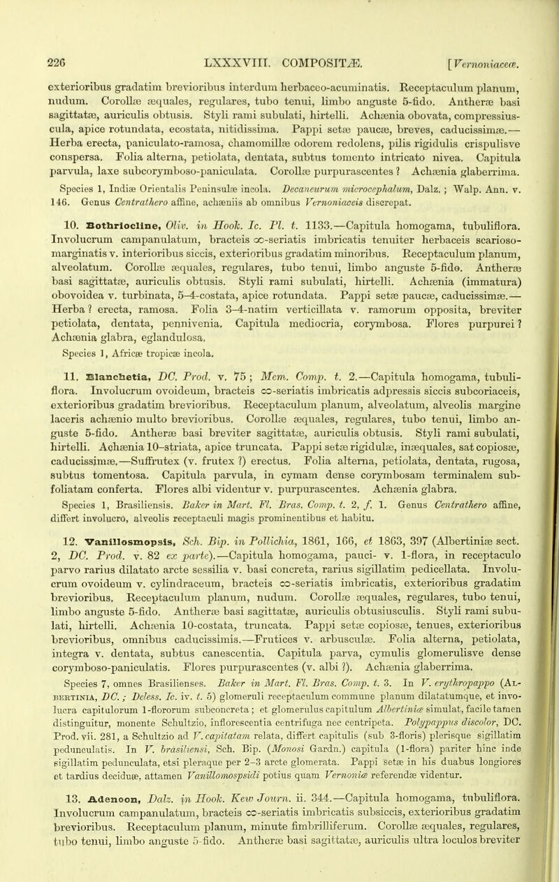 exterioribus gradatim brevioribus interdum herbaceo-acuminatis. Receptaculum planum, nudum. Coroll;e iiequales, regiilares, tubo tenui, limbo anguste 5-fido. Antheraj basi sagittatce, auriculis obtiisis. Styli rami subulati, hirtelli. Achtenia obovata, compressius- cula, apice rotundata, ecostata, nitidissima. Pajjpi setaj paucas, breves, caducissimre.— Herba erecta, paniculato-ramosa, cliamomillae odorem redolens, pilis rigidulis crispulisve conspersa. Folia alterna, petiolata, dentata, siibtiis tomonto intricato nivea. Capitula parvula, laxe siibcorymboso-paniculata. CoroUse purpurascentes ? Achsenia glaberrima. Species 1, Indiae Orientalis Peninsulae incola. Decaneurum microcephalum, Dalz. ; Walp. Ann. v. 146. Gcnus Cenirathero a&.ne, achaeniis ab omnibus Fvrnoniaoeis disaiepaX. 10. Botbrlocline, Oliv. in Hook. Ic. Fl. t. 1133.—Capitula homogama, tubuliflora. Involucrum campanulatum, bracteis cjo-seriatis imbricatis tenuiter herbaceis scarioso- marginatis v. interioribus siccis, exterioribus gradatim minoribus. Receptaculum planum, alveolatum. Corolhu sequales, regulares, tubo tenui, limbo angiiste S-fido. Antherre basi sagittata3, aiiriculis obtusis. Styli rami subulati, hirtelli. Ach^enia (immatura) obovoidea v. turbinata, 5-4-costata, apice rotundata. Pappi setre paucfe, caducissima^.— Herba ? erecta, ramosa. Folia 3-4-natim verticillata v. ramorum opposita, breviter petiolata, dentata, pennivenia. Capitula mediocria, corymbosa. Flores purpurei ? Achajnia glabra, eglandulosa. Species ), Africoe tropicae incola, 11. Blancbetia, DC. Prod. v. 75 ; Mem. Comp. t. 2.—Capitula homogama, tubuli- flora. Involucrum ovoideum, bracteis co-seriatis imbricatis adjiressis siccis subcoriaceis, exterioribus gradatim brevioribus. Receptaculum planum, alveolatum, alveolis margine laceris achsenio multo brevioribus. CoroUte ajquales, regulares, tubo tenui, limbo an- guste 5-fido. AnthersB basi breviter sagittatoe, auriciilis obtusis. Styli rami subulati, hirtelli. Achsenia 10-striata, apice truncata. Pajipi seta3 rigidiilas, inceqviales, satcopiosce, caducissimce.—Sufirutex (v. frutex ?) erectus. Folia altema, petiolata, dentata, i-ugosa, Bubtus tomentosa. Capitula parvula, in cymam dense corymbosam terminalem sub- foliatam conferta. Flores albi videntur v. purpurascentes. Achtenia glabra. Species 1, Brasiliensis. Bakcr in Mart. Fl. Bras. Comp. t. 2, /. 1. Genus Centrathero affine, difFert involucro, alveolis receptaculi magis prominentibus et liabitu. 12. Vanillosmopsis, Sch. Bip. in Pollichia, 1861, 166, et 18G3, 397 (Albertinife sect. 2, DC. Prod. V. 82 cx parte).—Capitula homogama, pauci- v. 1-flora, in receptaculo parvo rarius dilatato arcte sessilia v. basi concreta, rarius sigillatim pediceUata. Involu- crum ovoideum v. cylindraceum, bracteis co-seriatis imbricatis, exterioribus gradatim brevioribus. Receptaculum planum, nudum. Corollse sequales, regulares, tubo teniii, limbo anguste 5-fido. Antherte basi sagittatse, aiuiculis obtusiusculis. Styli rami subu- lati, hirteUi. Acluenia 10-costata, truncata. Pappi setse copiosse, tenues, exterioribus brevioribus, omnibus caducissimis.—Frutices v. arbusculne. Folia alterna, petiolata, integra v. dentata, subtus canescentia. Capitula parva, cymulis glomerulisve dense corymboso-paniculatis. Flores purpixrascentes (v. albi ?). Achsenia glaberrima. Species 7, omnes Brasilienses. BaJcer in Mart. Fl. Bras. Coinp. t. 3. In V. ert/thropappo (Al- liHRTiNiA, BC. ; Dcless. Ic. iv. t. 5) glomeruli receptaculum commune planum dilataturaque, et invo- luera capitulorum l-flororum subconcreta; et glomerulus capitulum ^/ieri^miV/? simulat, facilo tamen distinguitur, monente vSchuItzio, inflorescentia centrifuga nec centripeta. Polypappus discolor, DC. Prod. vii. 281, a Schultzio ad V.capitatam relata, differt capitulis (sub 3-floris) plerisque sigillatim podunoulatis. In V. brasilietisi, Sch. Bip. {Monosi Gardn.) capitula (1-flora) pariter Iiinc inde sigiUatim peduuculata, etsi pleraque per 2-3 arcte glomerata. Pappi setre in his duabus longiores et tardius deciduee, attamen VaniUomospsidi potius quam Vernonim referendse videntur. 13. Adenoon, Dah. in Hooh. Kew Journ. ii. 344.—Capitula homogama, tubuliflora. Involucrum campanulatum, bracteis o3-seriatis imbricatis subsiccis, exterioribus gradatim brevioribus. Receptaculum planum, minute fimbriUiferum. Corollse ffiquales, regulares, tubo tenui, limbo anguste S-fido. Antheras basi sagiltatsc, auriculis ultra loculos breviter