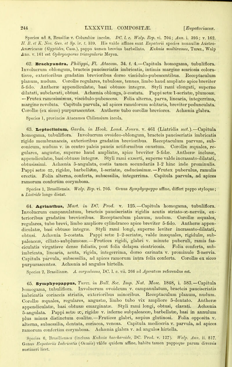 Spopies ad 8, Brasiliae v. Columliine incnlre. DC. l. c. Walji. Frp. vi. 704 ; Ann. i. 395 ; v. 162. H. B. el K. Nov. Gen. et Sp. iv. t. 339. His valde affines sunt Eupatorii spocies nonnullse Austro- Aniericitnse {Gyptides, Cass.), pappo tamen Lrevius barbellato. Kuhnia muliiramea, Turcz., Walp An\). V. 161 est Ophryosporus triangularis Meyen. 62. Bracbyandra, Philippi, Fl. Atacani. 34. t. 4.—Capitiila homogama, tubuliflora. Inv<jlucruni oblungiuii, bracteis pauciseriatis imbricatis, intimis margine scariosis colora- tisve, exterioribus gradatim brevioribus dorso viscidulo-pubescentibus. Receptaculum planum, nudum. CoroIl;e regulares, tubulosae, tenues, limbo haud ampliato apice breviter 5-tido. Antherae appendiculatse, basi obtusse integrsE. Styli rami elongati, superne dilatati, subclavati, obtusi. Achsenia oblonga, b-costata. Pappi setse l-seriatse, plumosJE. — Frutexramosissimus, viscidulo-pubescens. Folia altema, parva, linearia, integerrima, margine revohita. Capitula parvula, ad apices ramulorum solitaria, breviter pedunculata. CoroU^B (ex sicco) purpurascentes. Antheraj tubo corollse breviores. Achaenia glabra. Species 1, proviucise Atacames Chilensium incola. 63. Xieptocllnlum, Gardn. in Hook. Lond. Journ. v. 461 (Liatridis sect.).—Capitula homogama, tubuliflora. Involucrum ovoideo-oblongum, bracteis pauciseriatis imbricatis rigide membranaceis, exterioribus gradatim brevioribus. Receptaculum parvum, sub- conicum, nudum v. in centro paleis paucis setiformibus onustum. Corollae sequales, re- gulares, angustpe, supenie haud ampliatpe, apice breviter 5-fidfe. Anthersp inclusae, appendiculatre, basi obtusaj integrse. Styli rami exserti, superne valde incrassato-dilatati, obtusissimi. Achfenia 5-angulata, costis tamen secundariis 1-2 hinc inde prominulis. Pappi setse oo, rigidse, barbellatse, 1-seriatse, caducissimte.—Frutex puberulus, ramuhs erectis. Folia altema, conferta, subsessilia, integerrima. Capitula parvula, ad apices ramorum confertim corymbosa. Species 1, Brasilieneis. Wal^}. Jiep. vi. 705. Genus Symphyopappo affine, differt pappo styloque; a Liatride longo distat. 64. Agrlanthus, Mart. in DC. Prod. v. 125.—Capitula homogama, tubuliflora. Involucrum campanulatum, bracteis pauciseriatis rigidis acutis striato-oo-nerviis, ex- terioribus gradatim brevioribus. Receptaculum planiim, nudum. CoroIIae sequales, regulares, tubo bi-evi, limbo ampliore cylindraceo apice breviter 5-fido. Antherse appen- diculatse, basi obtusse integrse. Styli rami longi, superne leviter incrassato-dilatati, obtusi. Ach;enia 5-costata. Pappi setse 1-2-seriatse, valde insequales, rigidulse, sub- paleacese, ciliato-subplumosre.—Frutices rigidi, glabri v. mimite puberuli, ramis fas- ciculatis virgatisve dense foliatis, post folia delapsa cicatricosis. Folia conferta, sub- imbricata, linearia, acuta, rigida, integerrima, dorso carinata v. prominule 3-nervia. Capitula parvula, subsessilia, ad apices ramorum intra folia conferta. Corollse ex sicco purpurascentes. Achsenia ad angulos hirtella. Species 2, Brasilianae. A. corymhosus, DC. 1. c. vii. 266 ad Ageratum referendus est. 65. Symphyopappus, Turcz. in Bull. Soc. Lmp. Nat. Mosc. 1848, i. 583.—Capitula homogama, tubuliflora. Involucram ovoideum v. campanulatum, bracteis pauciseriatis imbricatis coriaceis striatis, exterioribus minoribus. Receptaculum planum, nudum. Corollre oequales, regulares, angustaj, limbo tubo vix ampliore 5-dentato. Antherse appendiculatse, basi obtusse emarginatse. Styli rami longi, obtusi, clavati. Achsenia 5-angulata. Pappi setse oo, rigidse v. inferne subpaleacese, barbellatse, basi in annulum plus minus distinctum coalitse.—Fruticea glabri, ssepius glutinosi. Folia opposita v. altema, subsessilia, dentata, coriacea, venosa. Capitula mediocria v. parvula, ad apices ramorum confertim corymbosa. Achasnia glabra v. ad angulos hirtella. Species 6, Brasilienses (inclusa Kuhnia hacrharoide, DC. Prod. v. 127). Walp. Ann. ii. 817. Genus Eapatoriis Imhricatis {Osmiis) quidem affine, habitu tamen pappoque parum diversis sustineri licet.