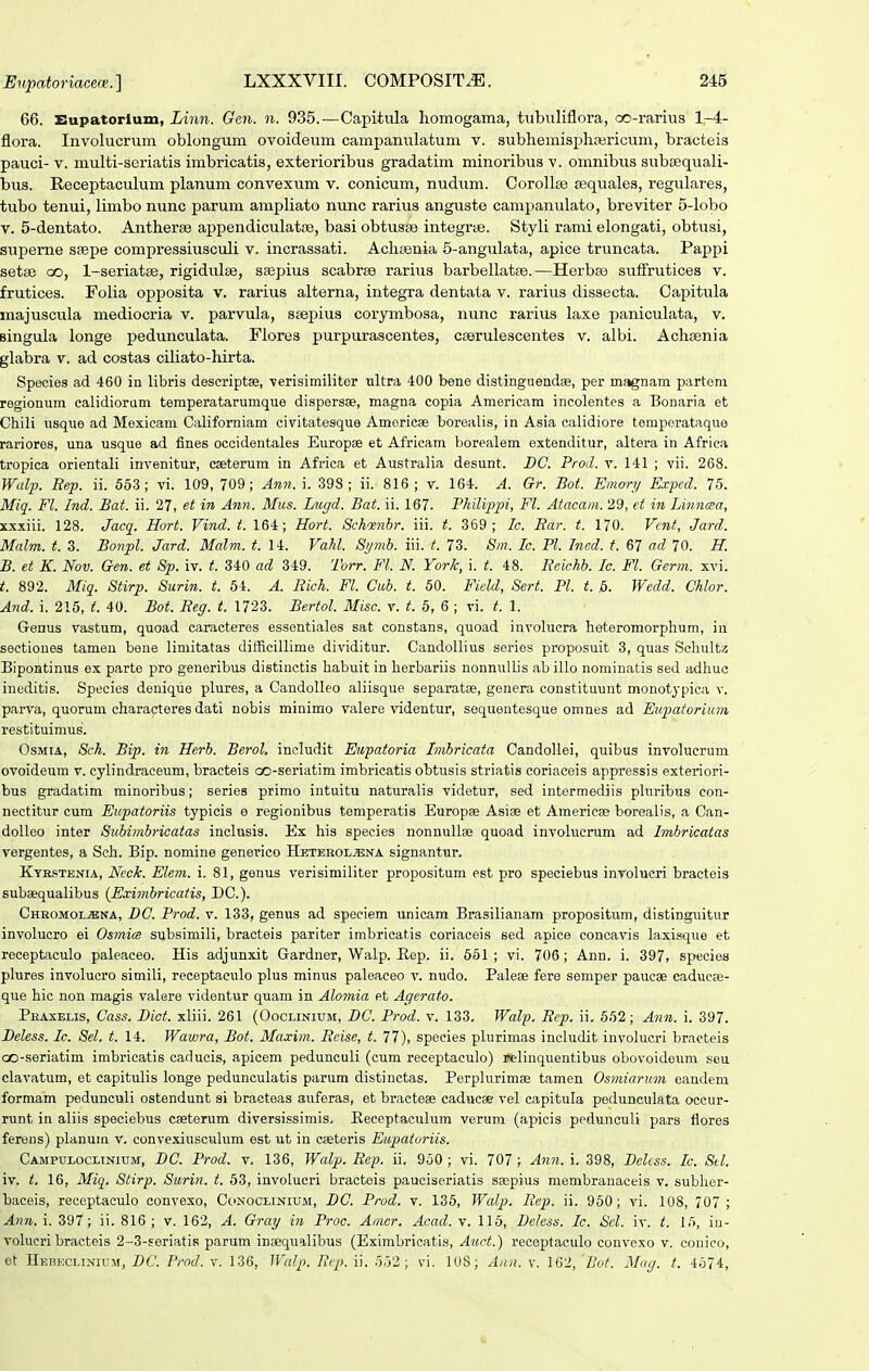 66. Bupatorium, Linn. Gen. n. 935.—Capitula homogama, tubiiliflora, oo-rarius 1-4- flora. Involucrum oblongum ovoideum campamilatum v. subhemisphajricum, bracteis pauci- V. multi-seriatis imbricatis, exterioribus gradatim minoribus v. omnibus subEequali- bus. Receptaculum planum convexum v. conicum, nudum. Corollie tequales, regulares, tubo tenui, limbo nunc parum ampliato nunc rarius anguste campanulato, breviter 5-lobo V. 5-dentato. Antherse appendiculatiB, basi obtusaB integrae. Styli rami elongati, obtusi, superne ssepe compressiusculi v. incrassati. Aclisenia 5-angulata, apice truncata. Pappi setse oo, 1-seriatse, rigidulse, saepius scabrse rarius barbellatse.—Herbss sufi^rutices v. frutices. Folia opposita v. rarius alterna, integra dentata v. rarius dissecta. Capitula majuscula mediocria v. parvula, ssepius corymbosa, nunc rarius laxe paniculata, v. singula longe pedunculata. Fiores purpurascentes, cserulescentes v. albi. Achsenia glabra v. ad costas ciliato-hirta. Species ad 460 in libris descriptse, verisimiliter ultra 400 bene distinguendse, per mfignam partem regionum calidiorum temperatarumque dispersse, magna copia Americam incolentes a Bonaria et Chili usque ad Mexicam Californiam civitatesque Amoricae borealis, in Asia calidiore temperataque rariores, una usque ad fines occidentales Europae et Africam borealem extenditur, altera in Africa tropica orientali invenitur, cseterum in Africa et Australia desunt. DC. Prod. v. 141 ; vii. 268. Wcdj^ Sep. ii. 553; vi. 109, 709; Ann.i. 398; ii. 816; v. 164. A. Gr. Bot. Emory Exped. 75. Miq. Fl. Ind. Bat. ii. 27, et in Ann. Mus. Lugd. Bat. ii. 167. Philippi, Fl. Atacam. 29, et in Linncea, xxxiii. 128. Jacq. Hort. Vind. t. 164; Hort. Schoenbr. iii. t. 369; Ic. Ear. t. 170. Vcnt, Jard. Malm. t. 3. Bonpl. Jard. Malm. t. 14. Vahl. Si/mb. iii. t. 73. 8m. Ic. Pl. Inod. t. 67 ad 70. H. B. et K. Nov. Gen. et Sp. iv. t. 340 ad 349. Torr. Fl. N. York, i. t. 48. Ecichb. lo. Fl. Germ. xvi. t. 892. Miq. Stirp. Surin. t. 64. A. Rich. Fl. Cub. t. 50. Ficld, Sert. Pl. t. ,6. Wedd. Chlor. And. i. 215, t. 40. Bot. Reg. t. 1723. Bertol. Misc. v. 5, 6 ; vi. t. 1. Genus vastum, quoad caracteres essentiales sat constans, quoad involucra heteromorplium, in sectioues tameu bene limitatas difficillime dividitur. Candollius sories proposuit 3, quas Schultz Bipontinus ex parte pro generibus distinctis habuit in herbariis nonnullis ab illo nominatis sed adhuc ineditis. Species denique plures, a Candolleo aliisque separatse, genera constituunt monotypica v. parva, quorum characteres dati nobis minimo valere videntur, seqiientesque onines ad Eiipatorium restituimus. OsMiA, Sch. Bip. in Herb. Berol, includit Eupatoria Imbricata Candollei, quibus involucrum ovoideum v. cybndraeeum, bracteis oo-seriatim imbricatis obtusis striatis coriaceis appressis exteriori- bus gradatim minoribus; series primo intuitu naturalis videtur, sed intermediis pluribus con- nectitur cum Eupatoriis typicis e regionibus temperatia Europee Asiae et Americas borealis, a Can- doUeo inter Subimbricatas inchisis. Ex his species nonnullae quoad involucrum ad Imbricatas vergentes, a Sch. Bip. nomine generico Hbtebol«nA signantur. Kyrstenia, Neck. Elem. i. 81, genus verisimiliter propositum est pro speciebus inrolucri bracteis subaequalibus (Eximbricatis, DC). Chromol^na, DC. Prod. v. 133, genus ad speciem unicam Brasilianam propositum, distinguitur involucro ei Osmice subsimili, bracteis pariter imbricatis coriaceis sed apice concavis laxisque et receptaculo paleaceo. His adjunxit Gardner, Walp. Eep. ii. 661; vi. 706; Ann. i. 397, species plures involucro simili, receptaculo plus minus paleaceo v. nudo. Palese fere semper pau.c8e caducffi- que hic non magis valere videntur quam in Alomia et Agerato. Peaxelis, Cass. Dict. xliii. 261 (Ooclinium, DC. Prod. v. 133. Wal-p. Rep. ii, 562; Ann. i. 397. Deless. Ic. Sel. t. 14. Wawra, Bot. Maxim. Reise, t. 77), speeies plurimas includit involucri bracteis GO-seriatim imbricatis carlucis, apicem pedunculi (cum receptaculo) relinquentibus obovoideum seu clavatum, et capitulis longe pedunculatis parum distinctas. Perplurimae tamen Osmiarum eandem, formam pedunculi ostendunt si braeteas auferas, et bracteae caducae' vel capitula pedunculata occur- runt in aliis speciebus cseterum diversissimis. Eeceptaeulum verum (apicis pedunculi pars flores ferens) planum v. convexiusculum est ut in cseteris Eupaturiis. Campuloclinium, DC. Prod. v. 136, Wcdp. Rep. ii. 950 ; vi. 707 ; Ann. \. 398, Delcss. Ic. Stl. iv. t. 16, Miq. Slirp. Surin. t. 63, involucri bractcis pauciseriatis saepius membranaceis v. subher- baceis, receptaeulo convexo, Conoclinium, DC. Prod. v. 135, Walp, Rep. ii. 950; vi. 108, 707 ; Ann. i. 397; ii. 816 ; v. 162, A. Gray in Proc. Amer, Acad. v. 115, Deless. Ic. Scl. iv. t. 16, in- volucri bracteis 2-3-Eeriatis parum inaequilibus (Eximbricatis, Auct.) receptaculo convexo v. conico, et Hebeclinium, DC. Prod. v. 136, Walp. Rcp. ii. 652; vi. 108; Aun. v. 1C2, Bot. Mug. t. 4574,