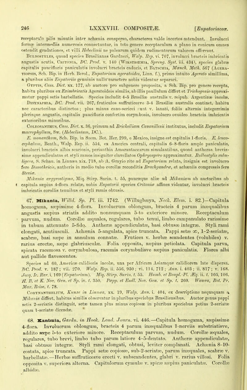 recpptaculo pilis minutis inter ach.ienia consperso, characteres vakle incertos ostenJunt. Involucri formic iQtermpdiis numerosis connectuntur, in toto genere receptaculum a plano in conicum omnps ostendit gradationes, ct villi Hehcclinii ne pnlearum quidcm rudimentorum valorem offerrunt. BuLnosTYi,ES, quoad species Brasilianas Gardnori, Walji. Bcp. vi. 707, involucri bracteis inibricatis angustis acutis, Chitoni.v, BC. Prnd. v. 140 (Wikstkcemia., Spreiig. Syst. iii. 434\ speeies glabrse capitulis paucifloris paniculntis invohicri bracteis caducis, et Batschia, Moench. Meth. 5G7 (Agera- Tiopsis, Sch. Bip. in Hfrb. Ifcrol., Eiipntorium ageratoides, Linn. f.), primo intuito Agcrato simillima, a phiribus aliis Enpatnriis gonuinis nullo caractere nobis videntur separari. Gtptis, Cns.'>. Dict. xx. 177, ab auetore pro subgenere proposita, a Sch. Bip. pro genero recepta, habitu pluribus ox Eximhricatis Ageratoideis similis, ab illis paulhdum differt et Trichoqonio approxi- mntur pappi setis barbellatis. .Species includit 4-5 Brasilise australis v. reipub. Argentinae incolae. DiSYNAPHiA, J)C. Prod. vii. 267, fruticulos suffruticesve 3-4 Brasilise australis continet, habitu nec caracteribus distinctos ; plus minus cano-sericei ;uat v. lanati, foliis alternis integerrimis plerisque angustis, capitulis paucifloris confertim corynibosis, involucro ovoideo bractois imbricatis exterioribus minoribus. CoLEOS.VNTHUs, Ca.is. Dict. X. 36, primum ad Bricl-elliam CavaniUcsii institutus, includit Eupatorium macrophi/Uum, Sw. (Heheclinium, DC). E. monanthum, Seh. Bip. in Seem. Bot. Iler. 299, o Mexieo, insigne est capitulis 1-floris. E. lcuco- cephahim, Benth., Walp. Rep. ii. 554, ex America centrali, cnpitulis 6- 8-floris ample paniculatis, involucri bracteis albis scariosis, perianthia Amarantacearum simulantibus, quoad antheras brevis- sime appcndiculatas et styli ramos insigniter clavellatos Op/fryosporo approximntur. BuUiostylis subu- ligcra, S. Schau. in Linnsea xix. 718, ab A. Grnyio rite ad Enpatorium relata, insignis est involuero fere Dissot.kricis, antlicris in medio tubo corollse reconditis BrachyandrcB, et achseniis compressis fere Steviee. Mikania argyrostigjnn, Miq. Stirp. Surin. t. 55, paucreque alise ad Mikaniam nb auctoribus ob capitula ssepius 4-flora relatje, nobis Eitpatorii species Critonia a£&nes videntur, involucri bracteis imbricatis corollis tenuibus et styli ramis obtusis. 67. IVIikanla, Wnid. Sp. Fl. iii. 1742. (Willugbroya, Ncck. Ehm. i. 82.)—Ccapitula homogama, sajpissime 4-tiora, Involucrum oblongum, bracteis 4 parum inrequalibus angustis spepius striatis addito nonnunquam 5-to exteriore minore. Receptaculum parvum, nudum. Corollse sequales, regulares, tubo tenui, limbo campanulato rarissime in tubum attonuato 5-fido. Antherre appendiculatre, basi obtusse integrse. Styli rami elongati, acutiusculi. Achnenia 5-angulata, apice truncata. Pappi setne oo, l-2-seriat8e, scabrre, basi stepe in annulum connatre. Frutices v. herbpe scandentes (volubiles) v. rarius erectfe, stepe glabriusculre. Folia opposita, saspius i^etiolata. Capitula parva, spicata racemosa v. corymbulosa, racemis corymbulisve saepius paniculatis. Flores albi aut pallide flavescentes. Species ad 60, Americfe calidioris incolae, una per Africam Asiamque calidiorem late dispersa. DC. Prod. V. 187 ; vii. 270. Watp. Eep. ii. 556, 950 ; vi. 114, 712 ; Ann. i. 403 ; ii. 817 ; v. 168. Jacq. Ic. Rar. i. 169 (Eupntorium). Miq. Stirp. Surin. t. 55. Humb. et Bonpl.-Pl. Mq. ii. t. 105, 106. H. B. ct K. Nov. Gcn. et Sp. iv. t. 350. Pcepp. et Endl. Nov. Gen. et Sp. t, 260. Wawra, Bot. Pr. Max. Bcise, t. 78. ConYJfANTHELnTM, Kvnzc in Linna-a, xx. 19, Walp. Ann. i. 404, ex descriptione nequaquam Mih-ariia differt, habitus similis observatur in pluribus speciebus Brasiliensibus. Auctor genus pappl setis 2-seriatis distinguit, setae tamen plus niinus copiosse in pluribus speciebus potius 2-seriat£e qu.am 1-seriatpe dicendae. * 68. Kanlmia, Gardn. in Honk. Lond. Journ. vi. 446.—Capltula homogama, saspissime 4-flora. Involucrum oblongum, braoteis 4 parum inEequalibus 1-nerviis substriatisve, addito 9?Bpe 5-to exteriore minore. Receptactilum parvnm, nudum. Corollpe aequales, regulares, tubo brevi, limbo tubo parum latiore 4-5-dentato. Anther^e appendiciilatre, basi obtusse integrae. Styli rami elongati, obtusi, leviter complanati. Achcenia 8-10- costata, apice truncata. Pappi setse copiosfe, sub-^-seriatre, pamm inajqiiales, scabrse v. barbellatfe.—Herbse suffruticesve erecti v. subscandentes, glabri v. rarius villosi. Folia opposita V. suporiora altema. Capitulomm cymute v. spicB srepius paniculatre. Corollre albidte.