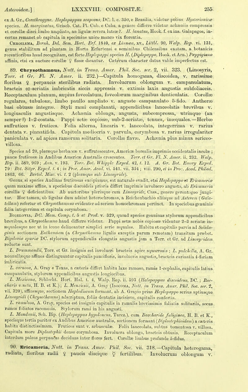 ex A. Gr., Coretlirogyne. Haplopappus scaposus, DC. 1. c. 350, e Brasilia, vidiitur potius Hysterionicm species. H. marginatus, Griseb. Cat. Pl. Cub. e Cuba, a genere diiE;rre videtur achseuiis comprussis et corollae disci limbo ampliato, an ligulae revera luteee?. H. lanatus, Hook. f. exins. Galapagos, in- certus remanet ob capitula in specimine unico manco vix florentia. Cheoilema, Bcrnh. Bel. 8c7n. Hort. Erf. 18i0, ex Linncea, xv., Litthl. 90, Walp. Rep. vi. 131, genus stabilitum ad plantam in Horto Erfurtensi e seminibus Chilensibus enatam, a botanicis reeentioribus haud recoguitam, est forteHcvplopappi species H. {fiiplopappo, Hook. et Arn.) Tatppigiuno affinis, etsi ex auctore corollse ^ fissse dicantur. Cset^rum character datus valde imperfectus est. 89. Chrysothajnnus, Nutt. in Trans. Amer. Phil. Soc. ser. 2, vii. 323. (Linosyris, Torr. et Gr. Fl. N. Amer. ii. 232.)—Capitula honiogama, discoidea, v. rarissime floribus § perpaucis sterilibus radiata. Involucrum oblongum v. campanulatum, bracteis co-seriatis imbricatis siccis appressis v. extimis laxis aiigustis subfoliaceis. E.eceptaculum planum, s£ef)ius foveolatum, foveolorum marginibus donticulatis. Corollae regulares, tubulosje, limbo paullo ampliato v. anguste campanulato 5-fido. Antherse basi obtusse integras. Styli rami complanati, appendicibus lanceolatis brevibus v. longiusculis angustisque. Aclisenia oblonga, angusta, subcompressa, utrinque (an semper?) 1-2-costata. Pappi setse copiosse, sub-2-seriat£e, tenues, intequales.—Herbse suifrutices v. frutices. Folia alterna, linearia v. lanceolata, integerrima v. rarius dentata v. pinnatifida. Capitula mediocria v. parvula, corymbosa v. rarius irregulariter paniculata v. ad apices ramorura solitaria. CoroIlEe flava;. Aclisenia plus miims sericeo- villosa. Species ad 20, plerseque herbaceae v. suffrutescentes, AmericK borealis imprimis occidentalis incolse ; paucee fruticosse in Andibus Americae Australis creseentes. Torr. et Gr. Fl. N. Amer. ii. 232. Walp. Bep. ii. 689, 969; An7i. v. 193. Torr. Bot. Whipple Expcd. 42, 12. A. Gr. Bot. Emory Exped. 79 : Bot. Sitgr. Expcd. i. 'i; in Proc. Amer. Acad. vi. 641. vii. 354 ; viii. 290, et in Proc. Acad. Pkilad. 1863, 66. Bertol. Misc. vi. t. 2 (plerseque sub Linosyridc). Genus, si species Audinas fruticosas exeipiamus, sat naturale evadit, etsi Haplopappo et Ericamerice quam maxime affine, a speciebus discoideis prioris differt imprimis involucro angusto, ab Ericameria corollis $ deficientibus. Ab auctoribus plerisque cum Linosyride, Cass., genere gerontogeo jungi- tur. Hoc tamen, ob ligulas dum adsint heterochromas, a Eeichenbachio aliisqije ad Asterem [Gala- tdlam) refertur et Chrysothamnus evidenter ad seriem homoehromam pertinet. In speciebusgenuinis folia iutegerrima et capitula corymbosa. BiGELOviA, L)C. Mem. Comp. t. 5 et Prod. v. 329, quoad species genuinas stylorum appendicibus brevibus, a Chrysothamno haud differre videtur. Pappi setse nobis copiosce videntur 2-3 seriatse in- sequalesque nec ut in icone delineantur simplici serie sequales. Habitu etcapitulis parvis ad SoHda- ginis sectionem Euthamiam (a Chrysothamno ligulis exceptis parum rerootam) transitum pnebet. Bigelovice spurice DC. stylorum appendiculis elongatis angustis jam a Torr. et Gr. ad Linosyridem roductse sunt. L. Driimmondii, Torr. ot Gr. insignis ost involucri bracteis apico squ.trrosis ; L. pulchdla, A. Gr. nonnullseque aflSues distinguuntur capitulis paucifloris, involucris angustis, bracteis carinatis 4-fariani imbricatis. L. carnosa, A. Gray e Texas, a cseteris diffort habitu laxe ramoso, ramis 1-ccphalis, eapitulis latius campanulatis, stylorum appendicibus angustis longioribus. L. Mexicana, Schlecht. Hort. Hal. t. 4, Walp. Eep. ii. 593 {Halopappus discoidens, DC.; Sae- charis v.neta, H. B. et K.); L. Menziesii, A. Gray (Isocoma, Nutt. in Irans. Amer. Phil. Soc. sc-r. '2, vii. 320), affinesque, sectionem Haplodisomnior:m:mt, ab A. Grayio prius Haplopappo scTiMS aptiusque Linosyridi {Chrysothamno) aJscrlptum, foliis dentatis incisisve, capitulis confertis. L. ramulosa, A. Gray, species est insignis capitulis in ramulis brevissinais foliatis solitariis, secus ramos foliatos racemosis. Stylorum rami in his angusti. L. Mandonii, Sch. Bip. {Haplopappus hypoltucus, Turcz.), cum Baccharide faligirtea, H. B. et K., specieque tertia paritor ex Andibus Aracricae australis, sectionem formant {Diplostephioidcm) a cseteris habitu distinctissimam. Fruticos sunt v. arbusculae. Folia lanceolata, subtus tomentosa v. rillosa. Capitula more Biplostephii dense corymbosa. Involucra oblonga, bracteis obtusis. lieceptaculum iuterdum paleas perpauJas deciduas inter flores fert. Corollse limbus profunde o-fidus. 90. Ericameria, Nutt. in Trcms. Amer. Phil. Soc. vii. 318.—Capitula heterogama, radiata, floribus radii ? paucis discique § fertilibus. Involucrum oblongum v.