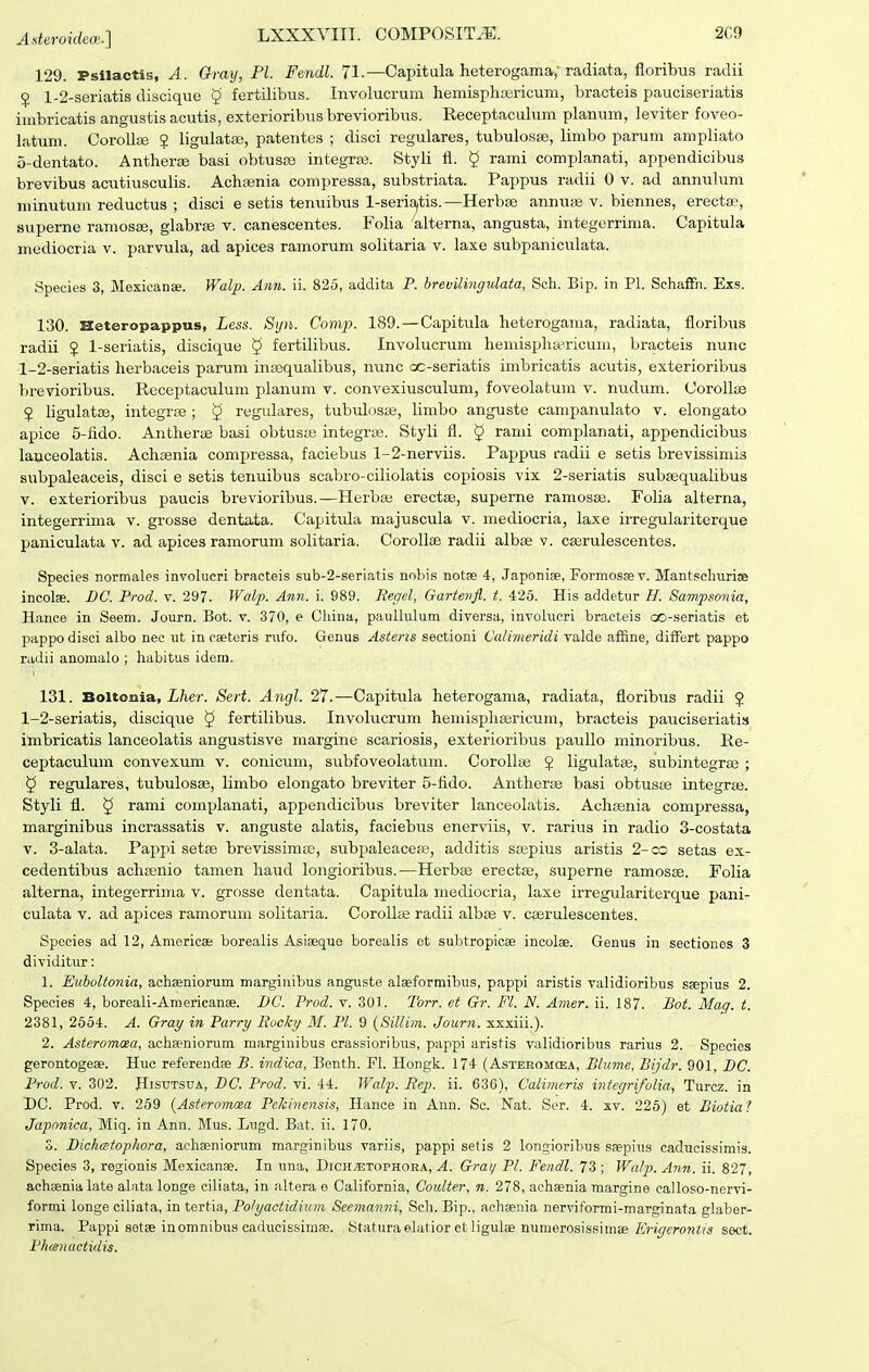 129. Psilactis, A. Gray, Fl. Fendl. 71.—Capitula heterogama; radiata, floribus radii $ l-2-seriati8 discique ^ fertiLibus. Involucrum hemisphaBricum, bracteis pauciseriatis imbricatis angustis acutis, exterioribus brevioribus. Receptaculum planum, leviter foveo- latum. Corollae ? ligulata;, patentes ; disci regulares, tubulosse, limbo parum ampliato 0- dentato. Antheras basi obtusas integras. Styli il. § rami complanati, appendicibus brevibus acutiusculis. Achajnia compressa, substriata. Pappus radii 0 v. ad annuhim niinutum reductus ; disci e setis tenuibus l-seria,tis.—Herbas annuas v. biennes, erecta^ superne ramos£E, glabi-te v. canescentes. FoHa alterna, angusta, integerrima. Capitula mediocria v. parvula, ad apices ramorum solitaria v. laxe subpaniculata. Species 3, Mexicanse. Walj}. Aiin. ii. 825, addita P. brevilingulata, Sch. Bip. in Pl. SchaiFn. Exs. 130. Heteropappus, Less. Syn. Comp. 189.—Capitula heterogania, radiata, floribus radii J 1-seriatis, discique § fertilibus. Involucrum hemispha?ricum, bracteis nunc 1- 2-seriatis herbaceis parum insequalibus, nunc oc-seriatis imbricatis acutis, exterioribus ])revioribus. Receptaculum planum v. convexiusculum, foveolatura v. nudum. CorolloB J hgnlatas, integrEe ; ^ regidares, tubulosse, Umbo anguste campanulato v. elongato apice 5-lido. AntheriB basi obtuste integras. Styli fl. § rami complanati, appendicibus lanceolatis. Achsenia compressa, faciebus 1-2-nerviis. Pappus radii e setis brevissimis subpaleaceis, disci e setis tenuibus scabro-ciliolatis copiosis vix 2-seriatis subsequalibus V. exterioribus paucis brevioribus.—Herbai erectae, superne ramosije. FoHa alterna, integerrinia v. grosse dentata. Capitula majuscula v. mediocria, laxe irregulariterque paniculata v. ad apices ramorum solitaria. Corollae radii albse v. cserulescentes. Species normales involucri bracteis sub-2-seriatis nobis notse 4, Japonise, Formossev. Mantschuriae incolse. DC. Prod. v. 297. Walp. Ann. i. 989. Regel, Gartenfl. t. 425. His addetur H. Sampsonia, Hanee in Seem. Journ. Bot. v. 370, e China, paullulum diversa, involucri bracteis oo-seriatis et pappo disci albo nec ut in caeteris rufo. Genus Asteris sectioni Calimeridi valde affine, difFert pappo radii anomalo ; habitus idem. 131. Boltonia, i/ier. Sert. Angl. 27.—Capitula heterogama, radiata, floribus radii 5 1-2-seriatis, discique § fertilibus. Involucrum hemisphajricum, bracteis pauciseriatis imbricatis lanceolatis angustisve margine scariosis, exterioribus paullo minoribus. Re- ceptaculum convexum v. conicum, subfoveolatum. CoroUaj J ligulatge, subintegrffi ; 5 regulares, tubulosse, limbo elongato breviter 5-fido. Antherae basi obtusae integrae. Styli fl. 5 rami complanati, appendicibus breviter lanceolatis. Achaenia compressa, marginibus incrassatis v. anguste alatis, faciebus enerviis, v. rarius in radio 3-costata V. 3-alata. Pappi setse brevissimae, subpaleacea;, additis stepius aristis 2-co setas ex- cedentibus achasnio tamen haud longioribus.—Herbss erectae, superne ramosae. Folia alterna, integerrima v. grosse dentata. Capitula mediocria, laxe irregulariterque pani- culata V. ad apices ramorum solitaria. CoroIIae radii albae v. cserulescentes. Species ad 12, Americse borealis Asiseque borealis ct subtropicse incolse. Genus in sectiones 3 dividitur: 1. Euboltonia, achseniorum marginibus anguste alseformibus, pappi aristis validioribus saepius 2. Species 4, boreali-Americanae. DC. Prod. v. 301. Torr. et Gr. Fl. N. Amer. ii. 187. Bot. Maq. t. 2381, 2554. A. Gray in Parry Boeky M. Pl. 9 (Sillim. Journ. xxxiii.). 2. Asteromxa, achaeniorum marginibus crassioribus, pappi aristis validioribus rarius 2. Species gerontogeee. Huc refereudse B. indica, Benth. Fl. Hongk. 174 (Asteromoea, Blume, Bijdr. 901, DC. Prod. V. 302. HisuTStrA, DC. Prod. vi. 44. Walp. Rep. ii. 636), Calimeris integrifolia, Turcz. in DC. Prod. v. 259 {Asteromcea PcJcinensis, Hance in Ann. Sc. Nat. Ser. 4. xv. 225) et Biotia ? Japonica, Miq. in Ann. Mus. Lugd. Bat. ii. 170. 3. Dichcstophora, achseniorum marginibus variis, pappi setis 2 longioribus ssepius caducissimis. Species 3, regionis Mexicanse. In una, DiCHiETOPHOEA, A. Gray Pl. Fendl. 73 ; Watj). Ann. ii. 827, achsenia late alata longe eiliata, in altera e California, Coulter, n. 278, achaenia margine ealloso-nervi- formi longe ciliata, in tertia, Polyactidiuvi Seemanni, Sch. Bip., achsenia nerviformi-marginata glaber- rima. Pappi setse inomnibus caducissimse. . Staturaelatior et ligulae numerosissimse Erigerontis sect. Phanuctidis.
