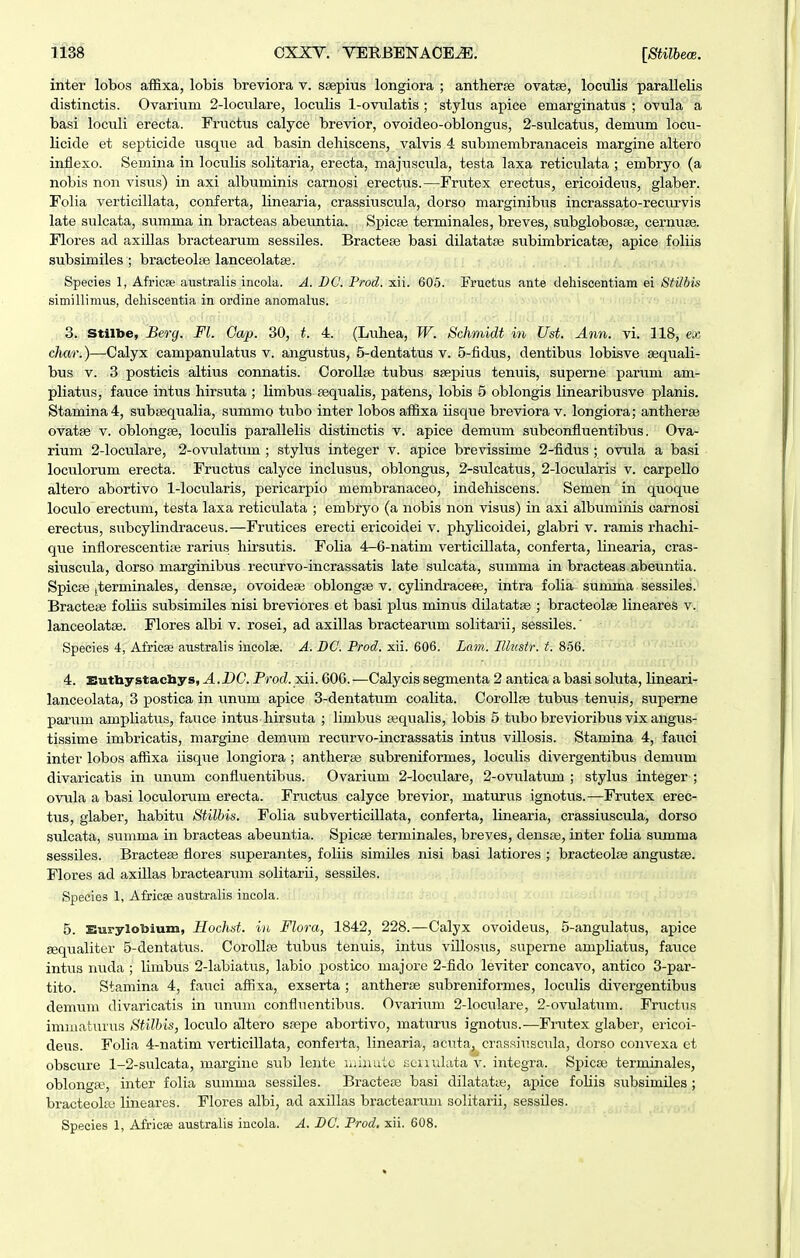 inter lobos afBxa, lobis breviora v. ssepius longiora ; antherse ovatse, loculis parallelis distinctis. Ovarium 2-loculare, loculis 1-ovulatis ; stylus apice emarginatus ; ovula a basi loculi erecta. Fructus calyce brevior, ovoideo-oblongus, 2-sulcatus, demum locu- licide et septicide usque ad basin dehiscens, valvis 4 submembranaceis margine altero inflexo. Semina in loculis solitaria, erecta, majuscula, testa laxa reticulata ; embryo (a nobis non visus) in axi albuminis carnosi erectus.—Frutex erectus, ericoideus, glaber. Folia verticillata, conferta, linearia, crassiuscula, dorso marginibiis incrassato-recurvis late sulcata, summa in bracteas abeuntia. Spicse terminales, breves, subglobosse, cernuse. Flores ad axillas bractearum sessiles. Bractese basi dilatatse subimbricatse, apice foliis subsimiles ; bracteolie lanceolataj. Species 1, Africfe australis incola. A. DG. Prod. xii. 605. Fructus ante dehiscentiam ei Stilbis simillimus, dehiscentia in ordine anomahis. ; 3. stilbe, Berg. Fl. Gap. 30, t. 4. (Luhea, W. Schmidt in Ust. Ann. vi. 118, etc char.)—Calyx campanulatus v. angustus, 5-dentatus v. 5-fidus, dentibus lobisve sequali- bus V. 3 posticis altius connatis. Corollse tubus ssepius tenuis, superne parum am- pliatus, fauce intus hirsuta ; limbus sequalis, patens, lobis 5 oblongis linearibusve planis. Stamina4, subsequalia, summo tubo inter lobos affixa iisque breviora v. longiora; antheree ovatse V. oblongse, loculis parallelis distinctis v. apice demum subconfluentibus. Ova- rium 2-loculare, 2-ovulatum ; styhis integer v. apice brevissime 2-fidus ; ovula a basi loculorum erecta. Fructus calyce inclusus, oblongus, 2-sulcatus, 2-locularis v. carpello altero abortivo 1-locularis, pericarpio membranaceo, indehiscens. Semen in quoque loculo erectum, testa laxa reticulata ; embryo (a nobis non visus) in axi albu^minis carnosi erectus, subcylindraceus.—Frutices erecti ericoidei v. phylicoidei, glabri v. ramis rhachi- que inflorescentiai rarius hirsutis. Folia 4-6-natini verticillata, conferta, linearia, cras- siuscula, dorso marginibus recurvo-incrassatis late sidcata, summa in bracteas abeuntia. Spicfe iterminales, densse, ovoidese oblongse v. cylindracefe, intra folia summa sessiles. Bractese foliis subsimiles nisi breviores et basi plus minus dilatatse ; bracteolse lineares v. lanceolatse. Flores albi v. rosei, ad axillas bractearum solitarii, sessiles. Species 4, Africae australis incolse. A. BC. Prod. xii. 606. Lain. lUustr. t. 856. 4. Butliystacbys, A. DC. Prod. xii. 606. —Calycis segmenta 2 antica a basi soluta, lineari- lanceolata, 3 postica in unum apice 3-dentatum coalita. Corollse tubus tenuis, superne parum ampliatiis, faiice intus hirsuta ; limbus ajqualis, lobis 5 tubo brevioribus vix angus- tissime imbricatis, margine demum recurvo-incrassatis intus villosis. Stamina 4, fauci inter lobos aflixa iisque longiora; antherse subreniformes, loculis divergentibiis demum divaricatis in unum confluentibus. Ovarium 2-lociilare, 2-ovulatum ; stylus integer ; ovula a basi loculorum erecta. Fructus calyce brevior, maturus ignotus.—Frutex erec- tus, glaber, habitu Stilbis. Folia subverticillata, conferta, linearia, crassiuscula, dorso sulcata, summa in bracteas abeuntia. Spicse terminales, breves, densse, inter folia summa sessiles. Bractese flores superantes, foliis similes nisi basi latiores ; bracteolaj angustse. Flores ad axillas bractearum solitarii, sessiles. Species 1, Africse australis incola. 5. Eurylotoium, Hochst. iii Flora, 1842, 228.—Calyx ovoideus, 5-angulatus, apice seqiialiter 5-dentatus. Corollse tubus tenuis, intus villosus, superne ampliatus, fauce intus nuda ; limbus 2-labiatus, labio postico majore 2-fido leviter concavo, antico 3-par- tito. Stamina 4, fauci affixa, exserta ; antherse subreniformes, loculis divergentibus demum divaricatis in umim confluentibus. Ovariiim 2-loculare, 2-ovulatum. Fructus immaturiis Stilbis, lociilo altero sfepe abortivo, maturus ignotus.—Frutex glaber, ericoi- deus. Folia 4-natim verticillata, conferta, linearia, acuta, crassiuscula, dorso convexa et obscure 1-2-sulcata, margine sub lente Uiiiialc eeiiulata v. integra. Spicse terminales, oblonga?, inter folia summa sessiles. Bractese basi dilatatte, apice foliis subsimiles; bracteolas lineares. Flores albi, ad axillas bractearum solitarii, sessiles. Species 1, Africse australis incola. A. BC. Prod. xii. 608.