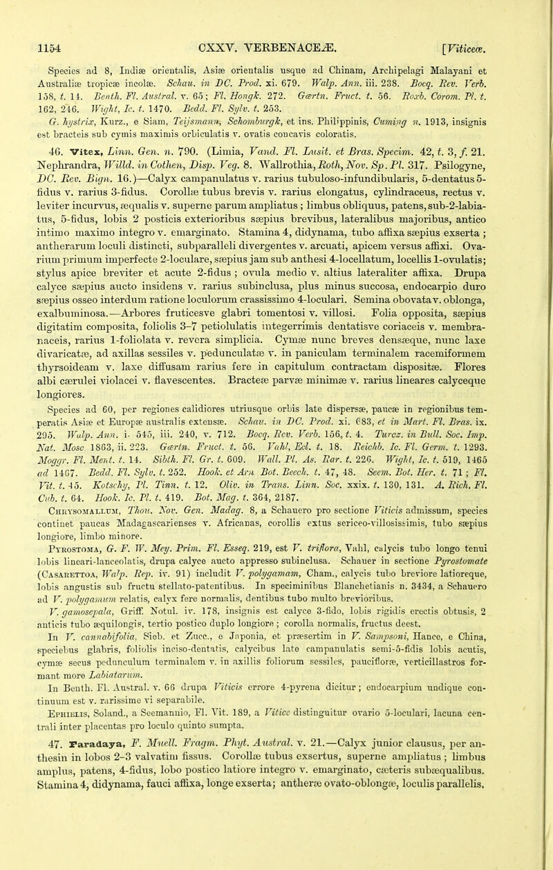 Species ad 8, Indise orientalis, Asise orientalis usque ad Chinam, Arcliipelagi Malayani et AustralicE tropicae incolEe. Scliau. i7i DC. Prod. xi. 679. Walp. Ann. iii. 238. Bocq. Eiv. Verh. 158, t. li. Benth. Fl. Austral. v. 65; Fl. Hongk. 272. Gartn. Fruct. t. 56. Ro.vb. Corom. Pl. t. 162, 246. Wig}it, Ic. t. 1470. Bcdd. Fl. Sylv. t. 253. G. hgstri.v, Kiirz., e Siam, Teijsmann, Schombnrgk, et ins. Philippinis, Cuming n. 1913, insignis est bracteis sub cymis maximis orbiculatis v. ovatis concavis coloratis. 46. Vitex, Linn. Gen. n. 790. (Limia, Vand. Fl. IaisH. et Bras. Specim. 42, t. 3, /. 21. Nephrandra, TVilld. inCotlien, Disp. Veg. 8. AVallrotliia,.Ro^/i, JVov. Sp.Pl. 317. Psilogyne, DC. Bev. Bign. 16.)—Calyx campanulatus v. rarius tubuloso-infunclibularis, S-dentatus 5- lidus V. rarius 3-fidus. Corollie tubus brevis v. rarius elongatus, cylindraceus, rectus v. leviter incurvus, jequalis v. superne parum ampliatus ; limbus obliquus, patens, sub-2-Iabia- tus, 5-fidus, lobis 2 posticis exterioribus ssepius brevibus, lateralibus majoribus, antico intimo maximo integrov. emarginato. Stamina 4, didynama, tubo affixa ssepius exserta ; antherarum loculi distincti, subxjaralleli divergentes v. arcuati, apicem versus affixi. Ova- riumprimum imperfecte 2-IocuIare, ssepius jam sub anthesi 4-IoceIIatum, locellis 1-ovulatis; stylus apice breviter et acute 2-fidus ; oviila medio v. altius lateraliter affixa. Drupa calyce saepius aiicto insidens v. rarius subinclusa, plus minus succosa, endocarpio duro s.iepius osseo interdum ratione loctilorum crassissimo 4-locuIari. Semina obovatav. oblonga, exalbuminosa.—Arbores fruticesve glabri tomentosi v. villosi. Folia opposita, ssepius digitatim composita, foliolis 3-7 petiolulatis integerrimis dentatisve coriaceis v. membra- naceis, rarius 1-foIioIata v. revera simplicia. Cymge nunc breves densceque, nunc laxe divaricatre, ad axillas sessiles v. pedunciilatae v. in paniculam terminalem racemiformem thyrsoideam v. laxe difFusam rarius fere in capitulum contractam dispositse. Flores albi cserulei violacei v. flavescentes. Bractete parvse minimse v. rarius lineares calyceque longiores. Species ad 60, per regiones calidiores vitriusque orbis late dispersae, paucse in regionibus tem- peratis Asise et Europse aiistralis extensae. Schaii. in DC. Prod. xi. 683, et in Mart. Fl. Bras. ix. 295. Wal]). Ann. i- 645, iii. 240, v. 712. Bocq. Eev. Vcrb. 156,^.4. Turcz. in Btdl. Soc. Imp. Nat. Mosc. 1863, ii. 223. Gartn. Fruct. t. 56. Vahl, Ecl. t. 18. Eeichb. Ic. Fl. Germ. t. 1293. Moggr. Fl. Ment. t. 14. Sibth. Fl. Gr. t. 609. Wall. Pl. As. Ear. t. 226. Wight, Ic. t. 619, 1466 ad 1407. Bedd. Fl. Sylv. t. 252. Hook. et Ani Bot. Becch. t. 47, 48. Seem. Bot. Her. t. 71 ; Fl. Vit. t. 45. Koischy, Pl. Tinn. t. 12. Oliv. in Trans. Linn. Soc. xxix. t. 130, 131. A. Eich. Fl. Cuh. t. 64. Hook. Ic. Pl. t. 419. Bot. Mag. t. 364, 2187. CHnYSOMALLTiM, Thou. Isov. Gcn. Madag. 8, a Schauero pro sectione Viticis admissum, species continet paucas Madagascarienses v. Africanas, eoroUis extus sericeo-villosissimis, tubo sjepius longiore, limbo rainore. Pyeostoma, G. F. W. Mey. Prim. Fl. Esseq. 219, est V. triflora, Valil, calycis tubo longo tenui lobis lincari-lanceolatis, drupa calyee aucto appresso subinclusa. Schauer in sectione Pyrostomate (Casarettoa, Watp. Z?fp. iv. 91) ineludit V. polygamam, Cham., calyeis tubo breviore latioreque, lobis angustis sub fructu stellato-patentibus. In speciminibus Blanchetianis n. 3434, a Schauero ad V. polyqamum relatis, calyx fere normalis, dentibus tubo multo brevioribus. V. gamoscpcda, Griff. Notul. iv. 178, insignis est calyce 3-fido, lobis rigidis eroctis obtusis, 2 antieis tubo sequilongis, tertio postico duplo longiore ; corolla normalis, fructus deest. In V. cannahifolia. Siob. et Zucc, o Japonia, ot prresertim in V. Sampsoni, Hanco, e China, spociebu.s glabris, foliolis inciso-dentatis, calycibus late campanulatis semi-5-fidis lobis acutis, cymje secus peduncuhim terminalom v. in axillis foliorum sessiles, pauciflorre, verticillastros for- mant more Lcdnatarum. lu Benth. Fl. Austral. v. 66 drupa Viticis crrore 4-pyrena dicitur ; ondoearpium uudique con- tinuum est v. rarissimo vi separabile. Ephielis, Sohind., a Seemannio, FI. Vit. 189, a Vitice distinguitur ovario 5-loculari, lacuna cen- trali inter phicentas pro loculo quinto sumpta. 47. Faradaya, F. Muell. Fragm. Phyt. Austral. v. 21.—Calyx junior clausus, per an- thesin in lobos 2-3 valvatim fissus. CoroIIse tubus exsertus, superne ami^Iiatus ; limbus amplus, patens, 4-fidus, lobo postico latiore integro v. emarginato, cicteris subrequalibus. Stamina4, didynama, fauci affixa, longe exserta; antherfe ovato-oblongfe, loculis parallelis.