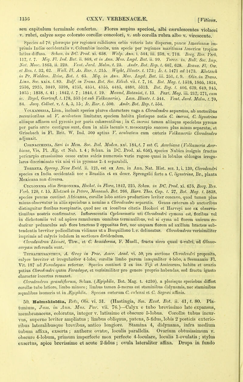 seu capituliim terminale confeiH;». Flores saspius speciosi, albi cferulescentes yiolacei V. rubri, calyce siBpe colorato corollte concolori, v. sub corolla rubra albo v. virescente. Species <id 70, plerrequc per regiones calidiores orLis veteris late dispersse, paucffi AmericanEe im- primis Indise occidentalis v. Columbise incolfe, una specie per regiones maritimas Americce tropicse latius clifFusa. Scliau. in BC. Prod. xi. 658. Walp. Ann. i. 544, iii. 238, v. 710. Bocq. Rev. Verb. 117, t. 7. Miq. Fl. Ind. Bat. ii. 868, et in Ann. Mus. Lugd. Bat. ii. 99. Turcz. iii. Bull. Soc. Im^). Nat. Mosc. 1863, ii. 220. Vcnt. Jard. Malm. t. 25. Andr. Bot. Bep. t. 607, 628. Bcauv. Fl. Ow. et Ben. t. 32, 62. Wall. Pl. As. Rar. t. 215. Wight, lllustr. t. 173 ; Ic. t. 1471 ad 1473. Klotzsch in Pr. Wcddem. Eciso, Bot. t. 65. Mic[. in Anii. Mus. Lugd. Bat. iii. 251, t. 9. Oliv.in Trans. Linn. Soc. xxix. t. 89. Balf. in Trans. Bot. Soc. Ediiib. vii. t. 7, 16. Bot. Mag. t. 1518, 1805, 1834 2536, 2925, 3049, 3398, 4255, 4354, 4355, 4485, 4880, 5313. Bot. Reg. t. 406, 629, 649, 945^ 1035 ; 1838, t. 41 ; 1842, t. 7 ; 1844, t. 19. Maund, Botanist, t. 13. Paxt. 3fag. iii. 217, 271, cum ic. Regcl, Gartenfl. 1.178, 363 {etsub Volkameria). Lam. Illustr. t. 644. Vent. Jard. Mcdm. t.70, 84. Jacq. Collect. v, 4, 5, 15; Ic. Rar. t. 600. Andr. Bot. Rep. t. 554. VoLKAMEHiA, Liun., inclusit species plures charactere vago a Clerodendro separatas, ab auctoribus receulioribus ad V. aculcatam limitatur, spociem habitu plerisque notis C. inermi, C. ligustrino aiiisque affinem sed pyrenis per paria cohaerentiljus ; in C. inermi tamen aliisque speciebus pyreuae per paria arcte contiguse sunt, dum in aliis lacunis v. mesocarpio succoso plus minus separatEe, et Grisebach in Fl. Brit. W. Ind. 500 aptius V. aculeatam cum cieteris Volkamcriis Clerodenclro adjunxit. CoENACCHiNiA, Savi in Mem. Soc. Ital. Modcn. xxi. 184, 7 est C. Acerbiana {Volkameria Acer- biana, Vis. Pl. ^g. et Nub. t. 4 ; Schau. in DC. Prod. xi. 656), species Nubica insignis fructus pericarpio crassissimo osseo extus sulcis numerosis varie rugoso quasi in lobulos oblongos irregu- lares discriminato vix nisi vi in pyrenas 2-4 separabili, ToRHEYA, Spreng. Neue Entd. ii. 121, est ex Arn. in Ann. Nat. Hist. ser. 1, i. 130, Clerodendri speeies ex India occidentali nec e Brasilia et ex descr. Sprengelii forte a C. ligustrina, Br., planta Mexicana non diversa. Cyclonema olira Spironema, Hochst. in Flora, 1842, 225, Schau. in BC. Prod. xi. 675, Bocq. Rev. Verb. 120, t. 15, Klotzsch in Petcrs, Mossamb. Bot. 266, Harv. Thes. Cap. t. 27, Bot. Mag. t. 5838, species paucas continet Africanas, corollse lobo antico productiore leviter concavo, quod tamen plus minus observatur in aliis speciebus a nemine a Clerodendro separatis. Genus cseterum ab auctoribus distinguitur floribus resupinatis, quod nec ex iconibus citatis Hookeri et Harveyi nec ex observa- tionibus nostris confirraatur. Inflorescentia Cyclonematis uti Clerodendri cymosa est, floribus vel in dicliotomiis vel ad apices ramulorum omnibus terminalibus, vel si cyma ad florem unieum re- ducitur pedunculus sub flore braeteas 2 oppositas fert, nec unquam florem ad axillam bractese sub- tendentis breviter pedicellatum vidimus ut a Bocquillono 1. c. dolineatur. Clcrodendron verisimiliter imprimis ad calycis iudolem in sectiones dividendum. Clerodendron Linnm, Thw., et C. hemiderma, F. MuelL, fructu sicco quasi 4-valvi, ad Glosso- caryavi referenda sunt. Tbtbathyeanthus, A. Gray in Proc. Amcr. Acad. vi. 50, pro sectione Clcrodendri proposita, ealyce breviter et irregulariter 4-lobo, corollse limbo parum insequaliter 4-lobo, a Seemannio Fl. Vit. 187 ad Faradayam refertur. Spiecies continet 2 ex ins. Fiji et Amicorum, habitu et ovario potius Clerodcndri quam Faradayte, et verisimiliter pro genere proprio habendas, sed fructu ignoto character incertus rcmanet. ClcrodendroH grandiflorum, Schau. {Mgiphila, Bot. Mag. t. 4230), a plerisque speciebus differt corollse tubo hitiore, limbo minore; limbus tamen 5-merus o.st staminibus didynamis, nec staminibus sequalibus isomeris ut ia Mgiphila. Species csetoriim C. cubensi et C. Sagrcsi aflBnis. 50. Holmslsloldia, Retz, Obs. vi. 31. (Hastingia, Sm. Exot. Bot. ii. 41, 80. Pla- tunium, Juss. in Ann. Mns. Par. vii. 76.)—Calyx e tubo brevissimo late expansus, membranaceus, coloratus, integer v. latissime et obscure 5-lobus. Corollre tubus incur- vus, superne leviter ampliatus ; limbus obliquus, patens, 5-fidus, lobis 2 posticis exterio- ribus lateralibusque brevibus, antico longiore. Stamina 4, didynama, infra medium tubum afKxa, exserta ; antheraj ovatix), loculis parallelis. Ovarium obtusissimtim v. obscure 4-lobum, primum imperfecte mox perfecte 4-loculare, loculis 1-ovulatis ; stylus exsertus, apice brevissime et acute 2-fidus ; ovula lateraliter affixa. Drupa in fundo