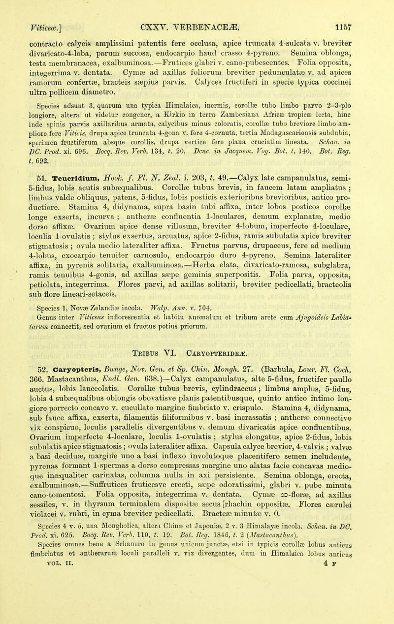 contracto calycis amplissimi patentis fere occlusa, apice truncata 4-sulcata v. breviter divaricato-4-loba, parum succosa, endocarpio haud crasso 4-pyreno. Semina oblonga, testa membranacea, exalbuminosa.—Frutices glabri v. cano-pubescentes. Folia opposita, integerrima v. dentata. Cyrase ad axillas foliorum breviter pedunculatBe v. ad apices ramorum confertas, bracteis ssepius parvis. Calyces fructiferi in specie typica coccinei ultra poUicem diametro. Speeies adsunt 3, quarum una typica Himalaiea, inermis, corollse tubo limbo parvo 2-3-plo longiore, altera ut yidetur congener, a Kirkio in terra Zambesiana Africae tropicae lecta, hinc inde spinis parvis axillaribus armata, calycibus minus coloratis, corollas tubo breviore limbo am- pliore fcre Viticis, drupa apice truncata 4-gona v. fere 4-cornuta, tertia Madagascariensis subdubia, specimen fructiferum absque eorollis, drupa vertiee fere plana crueiatim lineata. Schau. in J)C. Prod. xi. 696. Bocq. Rev. Verb. 134, 20. Bcnc. in Jacqtiem. Voy. Bot. t. 140. Bot. Eeg, t. 692. 51. Teucridium, Hook. f. Fl. N. Zeal. i. 203, t. 49.—Calyx late campanulatus, semi- 5-fidus, lobis acutis subfequalibus. Corollse tubus brevis, in faucem latam ampliatus ; limbus valde obliquus, patens, 5-fidus, lobis posticis exterioribus brevioribiis, antico pro- ductiore. Stamina 4, didynama, supra basin tubi affixa, inter lobos posticos corollae longe exserta, incurva ; antherae confluentia 1-loculares, demum explanatae, medio dorso affixse. Ovarium apice dense villosum, breviter 4-lobum, imperfecte 4-lociilare, loculis 1-ovulatis ; stylus exsertus, arcuatus, apice 2-fidus, ramis subulatis apice breviter stigmatosis ; ovuhi medio lateraliter affixa. Fructus parviis, drupaceus, fere ad medium 4-lobus, exocarpio tenuiter carnosulo, endocarpio duro 4-pyreno. Semina lateraliter aflixa, in pyrenis solitaria, exalbuminosa.—Herba elata, divaricato-ramosa, subglabra, ramis tenuibus 4-gonis, ad axillas ssepe geminis superpositis. Folia parva, opposita, petiolata, integerrima. Flores parvi, ad axillas solitarii, breviter pedicellati, bracteolis sub flore lineari-setaceis. Species 1, Novse Zelandise iueola. Walp. Ann. v. 704. Genus inter Viticeas inflorescentia et iiabitu anomalum et tribum arcte eum Ajugoideis Lahia' tanim connectit, sed ovarium et fructus potius priorum. Teibtts VI, Caryopteride^. 52. Caryopteris, Bunge, Nov. Gen. et Sp. Chin. Mongli. 27. (Barbula, Lour. Fl. Coch. 366. Mastacanthus, Endl. Gen. 638.)—Calyx campanulatus, alte 5-fidus, fructifer pauUo auctus, lobis lanceolatis. CoroUae tubus brevis, cylindraceus; limbus amplus, 5-fidus, lobis 4 subiequalibus oblongis obovatisve planis patentibusque, quinto antico intimo lon- giore porrecto concavo v. cucullato margine fimbriato v. crispulo. Staraina 4, didynama, sub fauce affixa, exserta, filamentis filiformibus v. basi incrassatis ; antherae connectivo vix conspicuo, loculis parallelis divergentibus v. demum divaricatis apice confluentibus. Ovarium imperfecte 4-locidare, loculis 1-ovulatis ; stylus elongatus, apice 2-fidus, lobis subulatis apice stigmatosis; ovula lateraliter affixa. Capsula calyce brevior, 4-valvis ; valvse a basi decidua^, margine uno a basi inflexo involutoque placentifero seraen includente, pyrenas formant 1-spermas a dorso compressas margine uno alatas facie concavas medio- que ina;qualiter carinatas, columna nulla in axi persistente. Semina oblonga, erecta, exalbuminosa.—Sufl^rutices fruticesve erecti, ssepe odoratissimi, glabri v. pube minuta cano-tomentosi. Folia opposita, integerrima v. dentata. Cymse co-florse, ad axillas sessiles, v. in thyrsum terminalem dispositae secus [rhachin oppositse. Flores cserulei violacei v. rubri, in cyma breviter pedicellati. Bractese minutse v. 0. Species 4 v. 6, una Mongholica, alter.i Chin?e et Japoniae, 2 v. 3 IIiniala.y;e ineola. Schau. i7i BC. Prod. xi. 62-3. Bocq. Bev. Vcrh. 110, t. 19. Bot. Reg. 1846, t. 2 {Mastacanthus). Species omnes bene a Sehanero in genus unicum junctae, etsi in typicis corollaj lobus antieus fimbriatus et antherarum loculi paralleli v. vix divergentes, dum in ilimalaica lobus anticus VOL. II. 4 B-