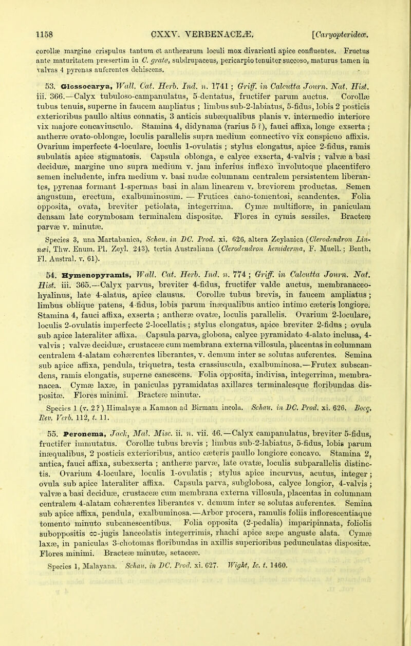 corollae margine crispulus tiintum et antherarum loeuli mox divaricati apice confluentes. Fructus ante maturittitem prsesertim in C. grata, subdrupaceus, pericarpio tenuiter succoso, maturus tamen iu valvas 4 pyrenas auferentes deliiscens. 53. Glossocarya, WaU. Cat. Herb. Ind. n. 1741; Griff. in Calcutta Journ. Nat. Hist, iii. 366.—Calyx tubiiloso-campanulatus, 5-clentatus, fructifer parum auctvis. Corolloe tubus tenuis, superne in faucem ampliatus ; limbus sub-2-labiatus, 5-fidus, lobis 2 posticis exterioribus paullo altius connatis, 3 anticis sxibaequalibiis planis v. intermedio interiore vix majore concaviizsculo. Stamina 4, didynama (rarius 5 i), fauci affixa, longe exserta ; aiitherfe ovato-oblongse, loculis parallelis supra medium connectivo vix conspicuo affixis. Ovarium imperfecte 4-loculare, loculis 1-ovulatis ; stylus elongatus, apice 2-fidus, ramis subixlatis apice stigmatosis. Capsula oblonga, e calyce exserta, 4-valvis ; valvse a basi deciduse, margine uno supra medium v. jam inferiiis inflexo involutoque placentifero semen includente, infra medium v. basi nudse columnam centralem persistentem liberan- tes, pyrenas formant 1-spermas basi in alam linearem v. breviorem productas. Semen angustum, erectum, exalbuminosum. — Frutices cano-tomentosi, scandentes. Folia opposita, ovata, breviter petiolata, integerrima. Cymse multiflorse, in paniculam densam late corymbosam terminalem dispositse. Flores in cymis sessiles. Bractese parvse v. minutpe. Species 3, una Martabanica, Schcm. in BC. Prod. xi. 626, altera Zeylanica (Clmvdcndron Lin- ncBi, Thw. Enum. Pl. Zeyl. 243), tertia Australiaua {Clerodcndron hemiderma, F. Muell.; Benth, Fl. Austral. v. 61). 54. Hymenopyramls, Wcdl. Cat. Herh. Ind. n. 774; Griff. in CaUutta Journ. Nat, Hist. iii. 365.—Calyx parvvxs, breviter 4-fidus, fructifer valde auctus, membranaceo- hyalinvis, late 4-alatus, apice clavisus. Corollce tubus brevis, in faticem ampliatus ; limbus oblique patens, 4-fidus, lobis parum insequalibus antico intimo cseteris longiore. Stamina 4, fauci affixa, exserta ; antherse ovatse, loculis parallelis. Ovaritim 2-IocuIare, lociilis 2-ovuIatis imperfecte 2-IoceIIatis ; stylus elongatus, apice breviter 2-fidus ; ovula sub apice lateraliter affixa. Capsula parva, globosa, calyce pyramidato 4-aIato inclusa, 4- valvis ; valvse deciduse, crustacere cum membrana externavillosula, placentas incolumnam centralem 4-aIatam cohsercntes liberantes, v. demum inter se solutas auferentes. Semina sub apice affixa, pendula, triquetra, testa crassiuscula, exalbuminosa.—Fi-utex subscan- dens, ramis elongatis, sviperne canescens. Folia opposita, indivisa, integerrima, membra- nacea. Cymse laxte, in paniculas pyramidatas axillares terminalesque floribundas dis- positse. Flores minimi. Bractefe minvitae. Specics 1 (v. 2?) Himalayaj a Kaniaon ad Birmam incola, Schcm. in DC. Prod. xi. 626. Bocq, Eev. Vcrb. 112, i!. 11. 55. Peronema, Jaxk, Mcd. Misc. ii. n. vii. 46.—Calyx campanulatus, breviter 5-fidus, fructifer immutatus. CoroIIfe tubxis brevis ; limbus sub-2-labiatx;s, 5-fidus, lobis parum incequalibiis, 2 posticis exterioribus, antico creteris paullo longiore concavo. Stamina 2, antica, fauci affixa, subexserta ; antherfe parvfe, late ovatse, loculis subparallelis distinc- tis. Ovarium 4-IocuIare, loculis l-o%mlatis ; stylus apice incurvus, acutus, integer; ovula sub apice lateraliter affixa. Capsula parva, subglobosa, calyce longior, 4-vaIvis ; valvfB a basi deciduce, crustacefe cum membrana externa villosula, placentas in columnam centralem 4-aIatam cohferentes liberantes v. demum inter se solutas auferentes. Semina sub apice affixa, pendula, exalbuminosa.—Arbor procera, ramuHs foliis inflorescentiaque tomento minuto subcanescentibus. Folia opposita (2-pedalia) imparipinnata, foholis suboppositis co-jugis lanceolatis integerrimis, rhachi apice sfepe angviste alata. Cyniaj laxse, in paniculas 3-chotomas floribundas in axillis superioribus pedunculatas dispositfe. Flores minimi. Bractese minutae, setacese. Speeies 1, Malayana. Schau. in I)C. Prod. xi. 627- WigJtt, Ic. i. 1460.