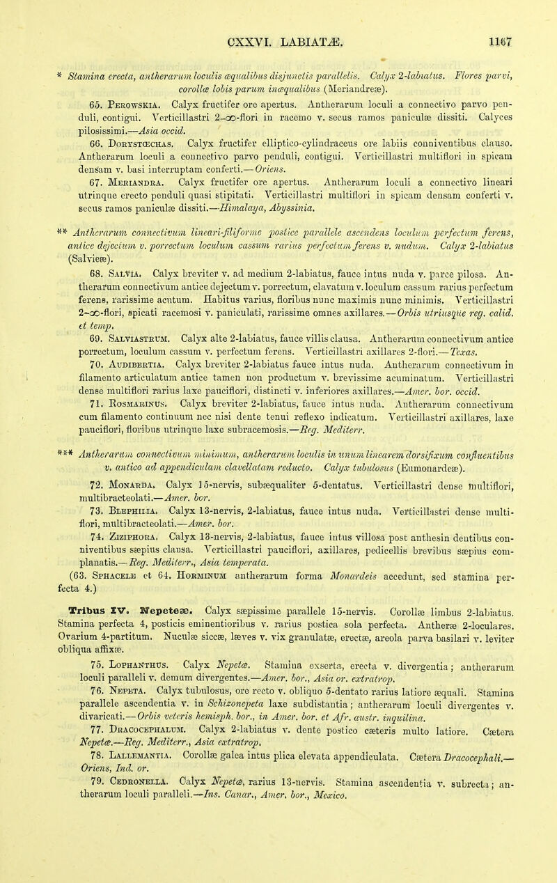 * Stamina erecta, antherarum locidis csqiiaUhiis disjunciis parallelis. Calyx 1-lahiatus. Flores ixirvi, corollm lohis parum inaqualihus (Moi-iaudreEe). 65. Perowskia. Calys fructifer ore apertus. Antlierarum loculi a conuectlvo parvo pen- duli, contigui. A^erticillastri 2-oo-flori in racemo v. secus ramos paniculas dissiti. Calyces pilosissimi.—Asia occid. 66. DoRYSTCECHAS. Calyx fructifer elHptico-cylindraceus ore labiis conniventibiis clauso. Antherarum loculi a counectivo parvo penduli, contigui. Verticillastri multiflori iu spicam denSam v. basi interruptam conferti.— Oriens. 67. Meeiandra. Calyx fructifer ore apertus. Antlierariim loculi a connectivo lineari utrinque erecto ponduli quasi stipitati. Verticillastri multiflori in spicam densam conferti v. secus ramos paniculse dissiti.—Himalaya, Ahyssinia. Anthcrarum connectimim lineari-filiformc ]yostice imrallele asccndens loculum perfectum fercns, aniicc dejcciian v. porrectum loculum cassiivi rarius perfccium ferens v. nudiun. Ccdyx 2-lahiaius (SalvieEe). 68. SalViA. Calyx breviter v. ad medium 2-labiatus, fauce intus nuda v. parce pilosa. An- tlierarum connectivum antice dejectumv. porrectum, clavatum v. loculum cassum rarius porfectum ferens, rarissime acutum. Habitus varius, floribus nunc maximis nunc minimis. Verticillastri 2-oo-fiori, spicati racemosi v. pauiculati, rarissime omnes axillares. — Orhis utriusqile reg. calid. it teni]}. 69. Salviasteum. Calyx alte 2-labiatus, fauce villis clausa. Antherarum connectivum antice porrectum, loculum cassum v. perfectum ferens. Verticillastri axillares 2-flori.— Tc.vas. 70. AuDiBEKTiA. Calyx breviter 2-labiatus fauce intus nuda. Antlierarum connectivum in filamento articulatum antice tamen non productum v. brevissime acuniinatum. Verticillastri denae multiflori rarius laxe pauciflori, distincti v. inferiores axillares.—Amer. hor. occid. 71. RosMARiNUs. Calyx breviter 2-labiatus, fauce intus nuda. Antherarum conuectivum cum filamento continuum nec nisi dente tenui reflexo indicatura. Verticillastri axillares, laxe pauciflori, floribus utrinque laxe subracemosis.—Reg. Mediierr. ^^* AntherafUm conncciivum miiiimum, antherarumloculis in unumlinearem dorsifixum confiueniihiis V. antico ad appendioulam clavellaiam redticio. Calyx tubulosus (Eumonardese). 72. MonAeda. Calyx lo^nervis, subsequaliter 5-dentatus. Verticillastri dense multiflori, multibracteolati.—Amcr. hor. 73. BiEPHniA. Calyx 13-nervis, 2-labiatus, fauce intus nuda. Verticillastri dense multi- flori, mttltibracteolati.—Amer. bor. 74. ZiziPHORA, Calyx 18-nervis, 2-Iabiatus, fauce intus villosa post anthesin dentibus con- niventibus scepius clausa. Verticillastri pauciflori, axillares, pedicellis brevibus saspius com- planatis.— Beg. Mediierr,, Asia temperaia. (63. Sphacelb et 64. Hoeminum antherarum forma Monardeis accedunt, sed staniina per- fecta 4.) Tribus IV. KTepeteae. Calyx ssepissime parallele 15-nervis. Corollfe limbus 2-labiatus. Stamina perfecta 4, posticis eminentioribus v. rarius postica sola perfecta. Antheree 2-locuIares. Ovarium 4-partitum. Nuculae siccee, leeves v. vix granulatee, erectse, areola paiva basilari v. leviter obliqua afRxfe. 75. LoPHAKTHUs. Calyx Nepeta. Stamina exserta, erecta v. divergentla; antherarum loculi paralleli v. demum divergentes.—Amcr. bor., Asia or. extratrop. 76. Nepbta. Calyx tubulosus, ore recto v. obliquo 5-dentato rarius latiore Eequali. Stamina parallele ascondentia v. in Schisonepeta laxe subdistantia; antherarum loculi divergentes v. divaricati.— Orbis vetcris hcmisph. bor., in Amer. hor. et Afr. ausir. inquilina. 77. Dracocbphalum. Calyx 2-Iabiatus v. dente postico caeteris multo latiore. Caetera Nepet(S.—Seg. Meditcrr., Asia exiratrop, 78. Lallemantia. Corollse galea intus plica elevata appendiculata. Cietera Dracocephali.— Oriens, Ind. or. 79. Cedeonella. Calys Nepietcs, mvms 13-nervIs. Stamina asceiidentia v. subrecta; an- therarum loculi paralleli.—Ins. Canar., Amer, bor., Mexico.
