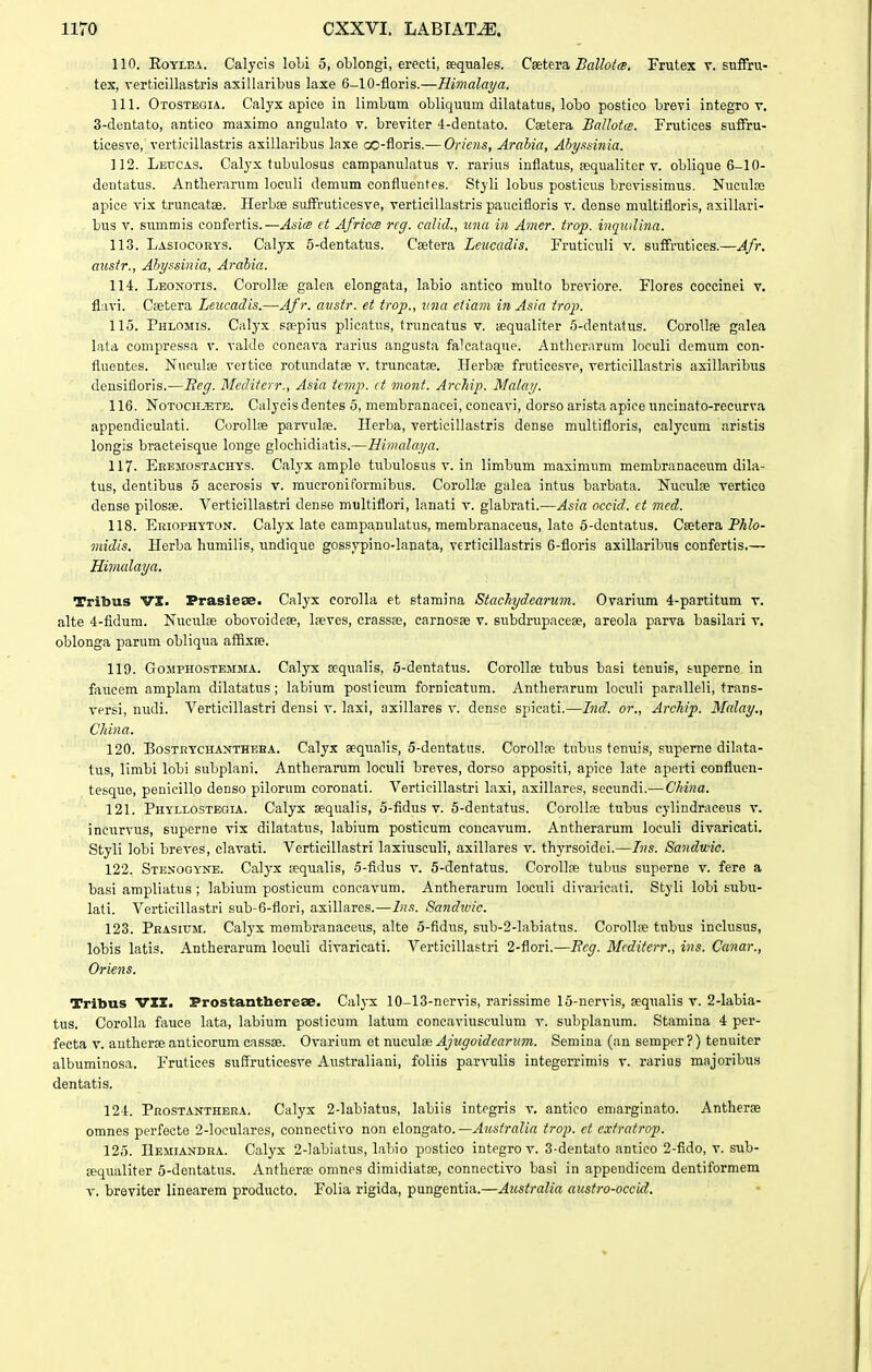 110. EoYLEA. Calycis loLi 5, oblongi, erecti, sequales. Cietera, Ballotcs. Frutex v. sufFru- tex, verticillastris axillaribus laxe 6-10-fioris.—Himalaya. 111. Otostkgia. Calyx apice in limbum obliquum dilatatus, lobo postico brevi integro v. 3-dentato, antico maximo angulato v. breviter 4-dentato. Caetera BaUotcs. Frutices suffru- ticesve, verticillastris axillaribus laxe co-floris.— Oriens, Arabia, Abyssinia. 112. Letjcas. Calyx tubulosus campanulatus v. rarius inflatus, fequalitor v. oblique 6-10- dentatus. Antlierarum loeuli demum confluentes. Styli lobus postieus brevissimus. Nuculaj apice vix truncatae. Herbse suffruticesve, verticillastris paucifloris v. dense multifloris, axillari- bus V. summis confertis.—Asie ct AfriocB reg. calid., iina in A^ner. trop. inqwlina. 113. Lasiocoeys. Calyx 5-dentatus. Csetera Leiicadis. Fruticuli v. suifrutices.—4/'. austr., Abyssinia, Arabia. 114. Leonotis. Corollse galca elongata, labio antico multo breviore. Flores coccinei v. flavi. Csetera Leucadis.—Afr. avstr. et trop., iina etiam in Asia trop. 115. Phlomis. Calyx saepius plicatus, truncatus v. aequaliter 5-dentatus. CoroIIae galea lata compressa v. valde concava rarius angusta falcataque. Antherarum loculi demum con- fluentes. Nuculse vertice rotundatae v. truncatae. Herbae fruticesve, verticillastris axillaribus densifloris.—Eeg. Mcditerr., Asia tcmp. ct mont. ArcJiip. Malay. 116. NoTOCHiETB. Calycis dentes 5, membranacei, concavi, dorso arista apice uncinato-recurva appendiculati. CoroIIae parvulae. Herba, verticillastris dense multifloris, calycum aristis longis bracteisque longe glochidiatis.—Himcdaya. 117. Eebmostachys. Calyx amplo tubulosus v. in limbum maximum membranaceum dila- tus, dentibus 6 acerosis v. mucroniformibus. Corollae galea intus barbata. Nuculae vertico dense pilosae. Verticillastri dense multiflori, lanati v. glabrati.—Asia occid. ct mcd. 118. EiiiopHYTON. Calyx late campanulatus, membranaceus, late 5-dcntatus. Csetera P^Zo- midis. Herba humilis, undique gossypino-Ianata, verticillastris 6-floris axillaribue confertis.— Hiiiudaya. Tribus VI. Prasieae. Calyx corolla et stamina Stachydearum. Ovarium 4-partitum v. alte 4-fldum. Nueiilae obovoideae, Ifeves, crassEe, carnosse v. subdrupaceae, areola parva basilari v. oblonga parum obliqua aiflxse. 119. GoMPHOSTEMMA. Calyx Ecqualis, 5-deutatus. CoroIIas tubus basi tenuis, tuperne in faucem amplam dilatatus; labium posticum fornicatum. Antherarum loculi paralleli, trans- versi, nudi. Verticillastri densi v. laxi, axillares v. dense spicati.—Ind. or., Archip. Malay., China. 120. BosTiiYCHAXTHEHA. Calyx aequalis, 5-dentatus. Corollae tubus tenuis, superne dilata- tus, limbi lobi subplani. Antherarum loculi breves, dorso appositi, apice late aperti confluen- tesquo, penicillo denso pilorum coronati. Verticillastri laxi, axillaros, socundi.—China. 121. Phyixostegia. Calyx aequalis, 5-fidus v. 5-dentatus. CoroIIfe tubus cylindraceus v. incurvus, superne vix dilatatus, labium posticum concavum. Antherarum loculi divaricati. Styli lobi breves, clavati. Verticillastri laxiusculi, axillares v. thj'rsoidei.—L)s. Sandwic. 122. Stenogyne. Calyx tequalis, 5-fidus v. 5-dentatus. CoroUae tubus superne v. fere a basi ampliatus ; labium posticum concavum. Antherarum loculi divaricati. Styli lobi subu- lati. Verticillastri sub-6-flori, axillares.—his. Sandwic. 123. Prasitjm. Calyx membranaceus, alte 5-fidus, sub-2-Iabiatus. Corollae tubus inclusus, lobis latis. Antherarum loculi divaricati. Verticillastri 2-flori.—Beg. Mcditerr., ins. Canar., Orims. Tribus VXZ. Prostanthereae. Calyx 10-13-nervis, rarissime 15-nervis, sequalis v. 2-Iabia- tus. CoroIIa fauce lata, labium posticum latum concaviusculum v. subplanum. Stamina 4 per- fecta V. autlierse anticorum cassae. Ovarium ot nuculae Ajugoidcarum. Semina (an semper ?) tenuiter albuminosa. Frutices sufTruticesve Australiani, foliis parvulis integerrimis v. rarius majoribus dentatis. 124. Prostanthbra. Calyx 2-labiatus, labiis integris v. antico emarginato. Antherse omnes perfecte 2-loeuIares, connectivo non elongato.—^?(6Vrrt?i« troi^. et cxtratrop. 125. Uemiandka. Calyx 2-labiatus, labio postieo integro v. 3-dentato antico 2-fido, v. sub- a-qualiter 5-dentatus. Antherse onines dimidiatfe, connectivo basi in appondicem dentiformem v. breviter linearem producto. Folia rigida, pungentia.—Australia austro-occid.