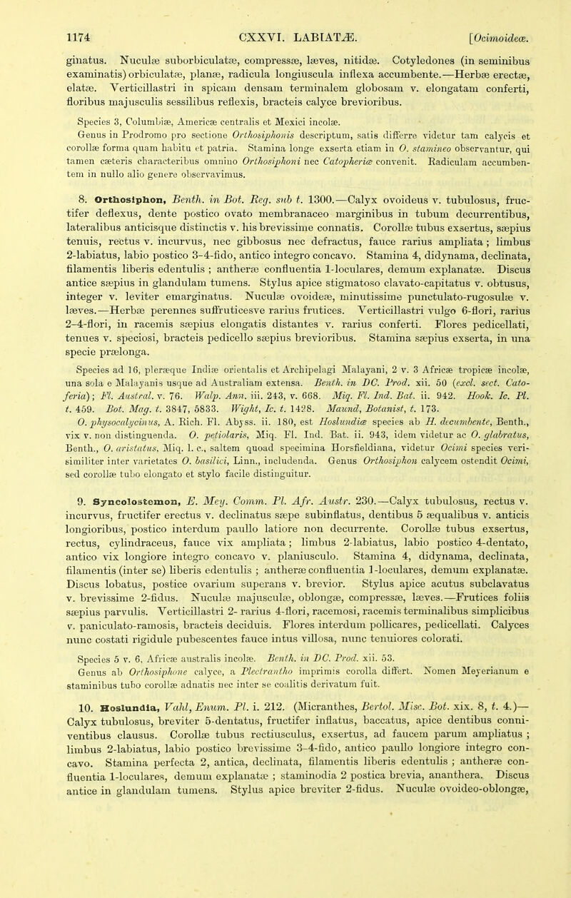 ginatus. Nuculse suborbiculatae, compressse, Iseves, nitidas. Cotyledones (in seminibus examinatis) orbicxilatjB, planse, radicula longiuscula inflexa accumbente.—Herbae erectse, elatfse. Verticillastri in spicam densam terminalem globosani v. elongatam conferti, floribus majusculis sessilibus reflexis, bracteis calyce brevioribus. Species 3, Columbiee, Americse centralis et Mexici incolae. Genus in Prodromo pro sectione Orthosiphonis descriptum, satis differre videtur tam calycis et corollse forma quam habitu et patria. Stamina longe exserta etiam in O. stamineo observantur, qui tamen ceeteris cbaracteribus omniuo Orthosrphoni nec CatophericB convenit. Radiculam accumben- tem in nullo alio genere observavimus. 8. Ortboslphon, Benth. in Bot. Reg. snb t. 1300.—Calyx ovoideus v. tubvilosTXS, fruc- tifer deflexus, dente postico ovato membranaceo marginibus in tubum decurrentibus, lateralibus anticisque distinctis v. his brevissime connatis. CorollBe tubus exsertus, ssepius tenuis, rectus v. incurvus, nec gibbosus nec defractus, fauce rarius ampliata ; limbus 2-labiatus, labio postico 3-4-fido, antico integro concavo. Stamina 4, didynama, declinata, filamentis liberis edentulis ; antlierse confluentia 1-loculares, demum explanats!. Discus antice sajpius in glandulam tumens. Stylus apice stigmatoso clavato-capitatus v. obtusus, integer v. leviter emarginatus. Nuculse ovoideaj, minutissime punctulato-rugosulse v. Iseves.—Herbse perennes suflruticesve rarius frutices. Verticillastri vulgo 6-flori, rarius 2-4-flori, in racemis ssepius elongatis distantes v. rarius conferti. Flores pedicellati, tenues v. speciosi, bracteis pedicello saepius brevioribus. Stamina ssepius exserta, in una specie prselonga. Species ad 16, plerfeque Indise orientalis et Archipebigi Malayani, 2 v. 3 Africae tropicse incolse, una sola e Malayanis usque ad Australiam extensa. Benth. in DC. Frod. xii. 60 {cxcl. sect. Cato- feria); Fl. Austral. v. 76. Walp. Ann. iii. 243, v. 668. 3Iiq. Fl. Ind. Bat. ii. 942. Hook. Ic. Pl. t. 459. Bot. Maff. t. 384:7, d83Z. Wiffht, Ic. t. 1428. Maund, Botanisf, t. 0. physocalycinus, A. Eich. Fl. Abyss. ii. 180, est Hoslundics species ab H. dccumhcntc, Benth., vix V. non distinguenda. 0. petiolaris, Miq. Ind. Bat. ii. 943, idem videtur ac 0. fflahratus, Benth., 0. aristatiis.lSl.iq^.X. c, saltem quoad specimina Horsfieldiana, videtur Oc»;; j species veri- similiter inter varietates 0. basilivi, Linn., includenda. Genus Orthosiphon calycem ostendit Ocimi, sed coroUse tubo elongato et stylo facile distinguitur. 9. Syncolostemon, E. Mey. Comm. Pl. Afr. Austr. 230.—Calyx tubulosus, rectus v. incurvus, fructifer erectus v. declinatus ssepe subinflatus, dentibus 5 sequalibus v. anticis longioribus, postico interdum paullo latiore non decurrente. Corollse tubus exsertus, rectus, cylindraceus, fauce vix ampliata; limbus 2-labiatus, labio postico 4-dentato, antico vix longiore integro concavo v. planiusculo. Stamina 4, didynama, declinata, filamentis (inter se) liberis edentulis ; antherae confluentia 1 -loculares, demum explanatae. Discus lobatus, postice ovarium superans v. brevior. Stylus apice acutus subclavatus V. brevissime 2-fidus. Nucuke majusculse, oblongse, compressse, Iseves.—Frutices foliis ssepius parvulis. Verticillastri 2- rarius 4-flori, racemosi, racemis terminalibus simplicibus V. paniculato-ramosis, bracteis deciduis. Flores interdum poUicares, pedicellati. Calyces nunc costati rigidule pubescentes fauce intus vUlosa, minc tenuiores colorati. Species 5 v. 6, Afriese australis incolae. Bcnth. in BC. Prod. xii. 53. Genus ab Orthosiphone calyce, a Plectrantho imprimis coroUa differt. Nomen Meyerianum e staminibus tubo corollse adnatis nec inter se coalitis derivatum fuit. 10. Hoslundla, Vahl, Enum. Pl. i. 212. (Micranthes, Bertol. Misc. Bot. xix. 8, t. 4.)— Calyx tubulosus, breviter 5-dentatus, fructifer inflatus, baccatus, apice dentibus conni- ventibus clausus. CoroIIse tiibus rectiusculus, exsertus, ad faucem parum ampliatus ; limbus 2-labiatus, labio postico brevissime 3-4-fido, antico pauUo longiore integro con- cavo. Stamina perfecta 2, antica, declinata, filamentis liberis edentulis ; antherse con- fluentia 1-IocuIares, demum explanatte ; staminodia 2 postica brevia, ananthera. Discus antice in glandulam tumens. Stylus apice breviter 2-fidus. Nuculie ovoideo-oblongse.