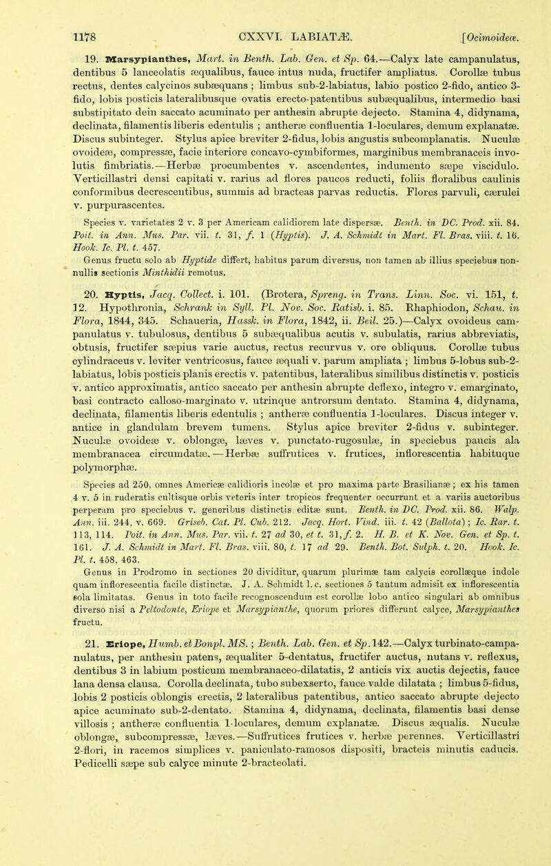 19. Marsyplantlies, Mart. in Benth. Lab. Gen. et Sp. 64.—Calyx late campanulatus, dentibus 5 lanceolatis «qualibus, fauce intus nuda, fructifer anipliatus. Corollse tubus rectus, dentes calycinos subsequans ; limbus sub-2-labiatus, labio postico 2-iido, antico 3- fido, lobis posticis lateralibusque ovatis erecto-patentibus subsequalibus, intermedio basi substipitato dein saccato acuminato per anthesin abrupte dejecto. Stamina 4, didynama, declinata, filamentis liberis edentulis ; antherce confluentia 1-loculares, demum explanatse. Discus subinteger. Stylus apice breviter 2-iidus, lobis angustis subcomplanatis. Nuculae ovoidese, compressre, facie interiore concavo-cymbiformes, marginibus membranaceis invo- lutis fimbriatis.—Herbse procumbentes v. ascendentes, indumento sajpe viscidulo. Verticillastri densi capitati v. rai-ius ad flores paucos reducti, foliis floralibus caulinis conformibus decrescentibus, summis ad bracteas parvas reductis. Flores parvuli, caerulei V. purpurascentes. Species v. varietates 2 v. 3 per Americam calidiorem late dispersse. Benth. in DC. Prod. xii. 84. Poit. in Ami. Mus. Par. \n. t. 31, /. 1 {Hyptis). J. A. Schmidt in Mart. Fl. Bras. viii. t. 16. Hook. Ic. Pl. t. 457. Genus fructu solo ab Hyptide differt, habitus parum diversus, non tamen ab illius speciebus non- nullis sectionis Mitithidii remotus. 20. Hyptls, Jacq. CoUect. i. 101. (Brotera, Spreng. in Ti-ans. Linn. Soc. vi. 151, t. 12. Hypothronia, Schrank in Syll. Pl. Nov. Soc. Ratish. i. 85. Rhaphiodon, Schatt,. in Flora, 1844, 345. Schaueria, Hassk. in Flora, 1842, ii. Beil. 25.)—Calyx ovoideus cam- panulatus v. tubulosus, dentibus 5 subiequalibus acutis v. subulatis, rarius abbreviatis, obtusis, fructifer scepius varie auctus, rectus recurvus v. ore obliquus. CoroUse tubus cylindraceus v. leviter ventricosus, fauce asquali v. parum ampliata ; Hrabus 5-lobus sub-2- labiatus, lobis posticis planis erectis v. patentibus, lateralibus similibus distinctis v. posticis V. antico approximatis, antico saccato per anthesin abrupte deflexo, integro v. emarginato, basi contracto calloso-marginato v. utrinqtie antrorsum dentato. Stamina 4, didynama, declinata, filamentis liberis edenttilis ; antherre confluentia 1-loculares. Discus integer v. antice in glandulam brevem tumens. Stylus apice breviter 2-fidus v. subinteger. Nu.cul;e ovoideas v. oblongre, Iseves v. punctato-rugosulaj, in speciebus paucis ala membranacea circumdatas.—Herbaj sufFrutices v. frutices, inflorescentia habituque polymorphaj. Species ad 250, omnes Americse calidioris incolBe et pro maxima parte Brasilianae ; ex his tamen 4 V. 5 in ruderatis cultisque orbis veteris inter tropicos frequenter occurrunt et a variis auctoribus perperam pro speciebus v. generibus distinotis editse sunt. Benth. in BC. Prod. xii. 86. Walp. Ann. iii. 244, v. 669. Griseh. Cat. Pl. Cv,h. 212. Jacq^. Hort. Viiid. iii. t. 42 {Ballota); Ic. Bar. t. 113, 114. Poit. in Ann. Mus. Par. vii. t. 27 ad 30, et t. 31,/. 2. H. B. ct K. Nov. Gen. et Sp. t. 161. J. A. Schinidt in Mart. Fl. Bras. viii. 80, t. 17 ad 29. Benth. Bot. Sidph. t. 20. Hook. Ic. Pl. t. 458, 463. Genus in Prodromo in sectiones 20 dividitur, quarum plurimse tam calyois corollaeque indole quam inflorescentia fiioile distinotae. J. A. Selimidt l.c. sectiones 5 tantum admisit ex inflorescentia Bola limitatas. Geuus in toto facile recognoscendum est corollae lobo antioo siugulari ab oranibus diverso nisi a Peltodonte, Eriope et Marsypianthe, quorum priores differunt calyce, Marsypianthea fruotu. 21. Erlope,Hnmb.etBonpl.MS. ; Benth. Lab. Gen. etSp.142.—Calyx turbinato-campa- nulatus, per anthesin patens, sequaliter 5-dentatus, fructifer auctus, nutans v. reflexus, dentibus 3 in labium posticum membranaceo-dilatatis, 2 anticis vix auctis dejectis, fauce lana densa clatisa. Corolla declinata, tubo subexserto, fauce valde dilatata ; limbus 5-fidus, lobis 2 posticis oblongis erectis, 2 lateralibus patentibus, antico saccato abrupte dejecto apice acuminato sub-2-dentato. Stamina 4, didynama, declinata, filamentis basi dense villosis ; antherre confluentia 1-loculares, demum explanatse. Discus sequalis. Nucula3 oblongse, subcompressse, Iseves.—Suflrutices frutices v. herb;ie perennes. Verticillastri 2-flori, in racemos simplices v. paniculato-ramosos dispositi, bracteis minutis cadticis. Pedicelli saepe sub calyce minute 2-bracteolati.