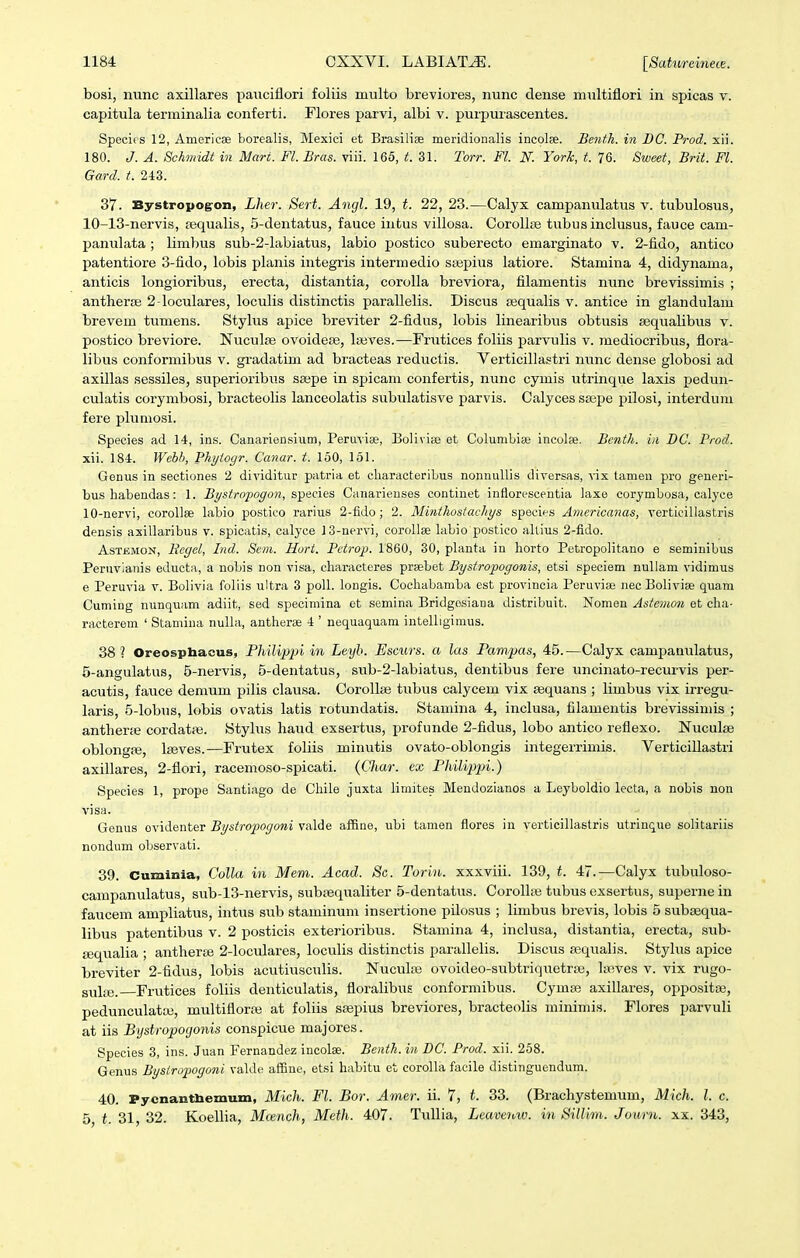 bosi, nunc axillares pauciflori foliis multo breviores, nunc dense multiflori in spicas v. capitula terminalia conferti. Flores parvi, albi v. purpurascentes. SpecifS 12, Americae borealis, Mexici et Brasilise meridionalis incplae. Benth. in DC. Prod. xii. 180. J. A. Schmidt in Mari. Fl. Bras. viii. 165, t. 31. Torr. Fl. N. Yorh, t. 76. Sweet, Brit. Fl. Gard. t. 243. 37. Bystropogon, Lher. Sert. Angl. 19, t. 22, 23.—Calyx campanulatus v. tubulosus, 10-13-nervis, requalis, 5-dentatus, fauce intus villosa. Corollge tubus inclusus, fauce cam- panulata ; limbus sub-2-labiatus, labio postico suberecto emarginato v. 2-fido, antico patentiore 3-fido, lobis planis integris intermedio stepius latiore. Stamina 4, didynama, anticis longioribvis, erecta, distantia, corolla breviora, filamentis nunc brevissimis ; antherBe 2-loculares, loculis distinctis parallelis. Discus asqualis v. antice in glandulam brevem tumens. Stylus apice breviter 2-fidus, lobis linearibus obtusis sequalibus v. postico breviore. Nuculas ovoidese, lajves.—Frutices foliis parvulis v. mediocribus, flora- libus conformibus v. gradatim ad bracteas reductis. Verticillastri nunc dense globosi ad axillas sessiles, superioribus ssepe in spicam confertis, nunc cymis utrinque laxis pedun- culatis corymbosi, bracteolis lanceolatis subulatisve parvis. Calyces sajpe pilosi, interduni fere plumosi. Species ad 14, ins. Canariensium, Peruvias, Boliviaj et Columbise incolse. Benih. iii BC. Prod. xii. 184. Webh, Phyiogr. Canar. i. 150, 151. Genus in sectiones 2 dividitur patria et characteribus nonnuUis dirersas, vix tamen pro generi- bushabendas: 1. Bi/stropoffon, s^pecies Canarienses continet inflorescentia laxe corymbosa, calyce 10-nervi, corollee labio postico rarius 2-fido; 2. Minthostachys species Aynericanas, vertieillastris densis axillaribus v. spicatis, calyce 13-nervi, corollse labio postico allius 2-fido. AsTEMON, Ecgel, Ind. Sem. Hurt. Petrop. 1860, 30, planta in horto Petropolitano e seminibus Periivianis educta, a uobis non visa, characteres prsebet Bystropogonis, etsi speciem nuUam vidimus e Peruvia v. Bolivia foliis ultra 3 poll. longis. Cochabamba est provincia Peruviaj nec Bolivise quam Cuming nunquam adiit, sed specimina et semina Bridgosiana distribuit. Nomen Astemon et cha- racterem ' Stamina nuUa, antherse 4 ' nequaquam intelligimus. 38 ? Oreospliaous, Philippi in Leyb. Esmrs. a las Pampas, 45.—Calyx campanulatus, 5-angulatus, 5-nervis, 5-dentatus, sub-2-labiatus, dentibus fere uncinato-recurvis per- acutis, fauce demum pilis clausa. Corollse tubus calycem vix sequans ; limbus vix irregu- laris, 5-lobus, lobis ovatis latis rotundatis. Stamina 4, inclusa, filamentis brevissimis ; antherse cordatae. Stylus haud exsertus, profunde 2-fidus, lobo antico reflexo. Nuculse oblongfe, Iseves.—Frutex foliis minutis ovato-oblongis integerrimis. Verticillastri axillares, 2-flori, racemoso-spicati. (Cliar. ex Philippi.) Species 1, prope Santiago de Chile juxta limites Mendozianos a Leyboldio lecta, a nobis non visa. Genus ovidenter Bystropogoni valde affine, ubi tamen flores in verticillastris utrinque solitariis nondum observati. 39. Cuminia, Colla in Meni. Acad. Sc. Torin. xxxviii. 139, t. 47.—Calyx tubuloso- campanulatus, sub-13-nervis, subrequaliter 5-dentatus. Corollas tubus exsertus, superne in faucem ampliatus, intus sub staminum insertione pilosus ; limbus brevis, lobis 5 subajqua- libus patentibus v. 2 posticis exterioribus. Stamina 4, inclusa, distantia, erecta, sub- aequalia ; antheras 2-loculares, loculis distinctis parallelis. Discus a3qualis. Stylus apice breviter 2-fidus, lobis acutiusculis. Nuculaj ovoideo-subtriquetra^, la?ves v. vix rugo- sulcB. Frutices foliis denticulatis, floralibus conformibus. Cymse axillares, oppositas, pedunculatas, multifloras at foliis ssepius breviores, bracteolis minimis. Flores parvuli at iis Bystropogonis conspicue majores. Species 3, ins. Juan Fernandez incolae. Benih. in DC. Prod. xii. 258. Genus Bysiropogoni vakle affine, etsi habitu et corolla faeile distinguendum. 40. Pycnanthemum, Mich. Fl. Bor. Amer. ii. 7, t. 33. (Brachystemum, Mich. l. c. 5, t. 31, 32. Koellia, Mcench, Meth. 407. Txillia, Leavoi.w. in Sillhn. Journ. xx. 343,