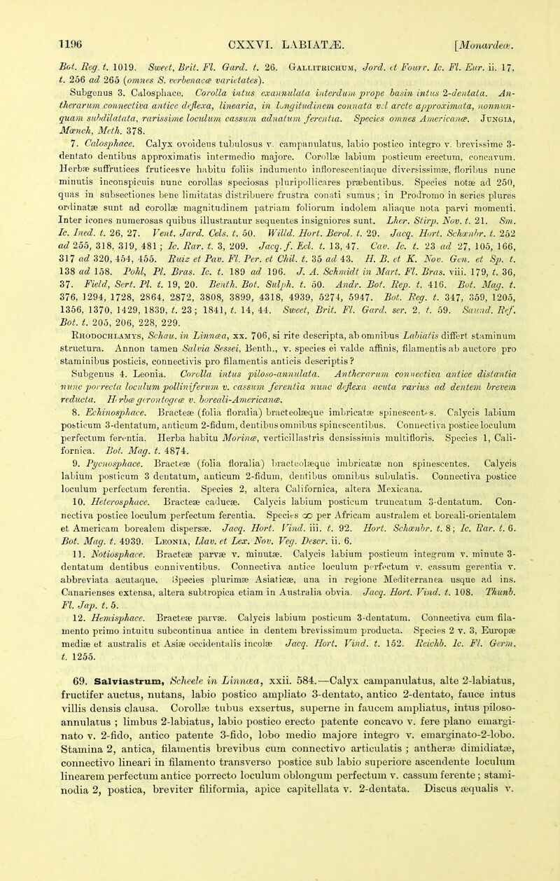 Bot. Reg. t. 1019. SweH, Brit. Fl. Gard. t. 26. Gallitrichu.vi, Jord. it Fourr. Ic. Fl. Eur. ii. 17, t. 256 ad 265 {omiies 8. verhenaccB varictates). Subgeiius 3. Calospliace. Corolla intus exannulata interduin prope basin intus i-dentata. An- therarum connectiva antice deflexa, linearia, in longitndincm connata vd arcte approximata, nonnun- quam suhdilatata, rarissime locidimi cassum adnatum ferentta. Specics omnes Americcmcg. Jtjngia, Moench, Mcth. 378. 7. Calosphace. Calyx ovoideus tiibulosus v. campanulatus, labio postico integro v. brevissime 3- dentato dentibus approximatis intermedio majore. Corollse labium posticuni ereetum, concavum. Herbse suiFrutices fruticesve liabitu foliis indumento infloreseentiaque diversissinnse, floribus nunc minntis ineonspieuis nunc corollas speciosas pluripoUicares prsebentibus. Species notae ad 250, quas in snbsectiones bene limitatas distribuere frustra conati sumus; in Prodromo in series plures ordinatse sunt ad corollae magnitudinem patriam foliorum indolem aliaque iiota parvi momenti. Inter icones numerosas quibus illustrantur sequeutes insigniores sunt. Lher. Stirp. Nov. t. 21. Sm. Ic. Ined. t. 26, 27. Vent. Jard. Cels. t. 50. Willd. Hort. Berol. t. 29. Jacq. Hort. Schoenhr. t. 262 ad 255, 318, 319, 481 ; /tf. Bar. t. 3, 209. Jacq.f. Ecl. t. 13, 47. Ccw. Ic. t. 23 ad 27, 105, 166, 317 ad 320, 454, 465. Ruiz et Pav. Fl. Per. et CM. t. 35 ad 43. H. B. et K. Nou. Gen. et Sp. t. 138 ad 158. Pohl, Pl. Bras. Ic. t. 189 ad 196. J. A. Schniidt in Mart. Fl. Bras. viii. 179, t. 36, 37. Field, Sert. Pl. t. 19, 20. Benth. Bot. Sulph. t. 50. Andr. Bot. Rep. t. 416. Bot. Mag. t. 376, 1294, 1728, 2864, 2«72, 3808, 3899, 4318, 4939, 5274, 5947. Bot. Eeg. t. 347, 369, 1205, 1356, 1370, 1429, 1839, t. 23; 1841, t. 14, 44. Sweet, Brit. Fl. Gard. ser. 2, t. 59. Saund. Ref. Bot. t. 205, 206, 228, 229. Rhodochlamys, Schau. in Linnaa, xx. 706, si rite descripta, ab omnibus Lahiatis diflfert staminum structura. Annon tamen Salvia Sessei, Benth., v. species ei valde affinis, filamentis ab auctore pro staminibus posticis, connectivis pro filamentis anticis descriptis? Subgenus 4. Leonia. Corolla intus piloso-aniiulata. Anthercirum conuectiva antice distantia niinc porrecia loculum pollinifernm V. cassmn fereniia nunc deflexa actda rarius ad dentem hrevem reducta. HrhcegirontogccB v. horecdi-Americance. 8. Echinosphace. Bracteae (folia floralia) bracteolasque imbricatse spinescenti s. Calycis labium posticum 3-dentatum, anticum 2-fidum, dentibusomnibus spinescentibus. Connectiva postice loculum perfectum ferentia. Ilerba liabitu MorincB, verticillastris densissimis multifloris. Species 1, Cali- fornica. Bot. Mag. t. 4874. 9. Pycnosphace. Bracteae (folia floralia) bracteolaeque inibricatse non spinescentes. Calycis labiiiin posticum 3 dentatum, anticum 2-fldum, dentibus omnibus subulatis. Connectiva postice loculum perfectum ferentia. Species 2, altera Californica, altera Mexicana. 10. Heterosphace. Bractese caducse. Calycis labium posticum truncatum 3-dentatum. Con- nectiva postice loculum perfectum ferentia. Species oo per Africam australem et boreali-orientalem et Americam borealem dispersse. Jacq. Hort. rind. iii. t. 92. Hort. Schcenhr. 8; Ic. Rar. t.G. Bot. Mag. t. 4939. Leonia, Llav. et Lex. Nov. Veg. Dcscr. ii. 6. 11. Notiosphace. Bracteae parvse v. minutse. Calycis labium posticum integrum v. minute 3- dentatum dentibus conniventibus. Connectiva antiee loeulum perfectum v. cassum gerentia v. abbreviata aeutaque. iipecies plurimae Asiaticae, nna in regione Mediterranea usque ad ins. Canarienses extensa, altera subtropica etiam in Australia obvia, Jacq. Hort. Vind. t. 108. Thunb. Fl. Jap. t. 6. 12. Hemisphacc. Bractese parvse. Calycis labium posticum 3-dentatum. Connectiva cum fila- mento primo intuitu subcontinua antice in dentem brevissimum producta. Species 2 v. 3, Eui-opse medise et australis et Asise occidentalis incolse Jacq. Hort. Vind. t. 162. Eeichb. lc. Fl. Gcrm, t. 1265. 69. Salviastrum, Scheele in LinncEa, xxii. 584.—Calyx camj^aniilatus, alte 2-labiatiis, fructifer auctus, nutans, labio postico ampliato 3-dentato, antico 2-dentato, fauce intus villis densis clausa. CoroUfe tubus exsertus, sui^erne in faucem ampliatus, intus piloso- annulatus ; limbus 2-labiatus, labio postico erecto patente concavo v. fere plano emargi- nato V. 2-fido, antico patente 3-fido, lobo medio majore integro v. emarginato-2-lobo. Stamina 2, antica, filamentis brevibus cum connectivo articulatis ; anthera; dimidiatas, connectivo lineari in filamento transverso postice sub labio superiore ascendente loculum linearem perfectum antice porrecto loculum oblongum j)erfectum v. cassum ferente ; stami- nodia 2, postica, brevitcr filiformia, ai)ice cai^itellata v. 2-dentata. Discus aiqualis v.