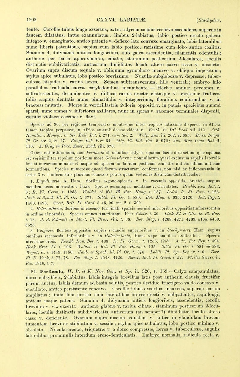 tente. Corollse tubus longe exsertus, extra calycem sajpius recurvo-ascendens, superne in faucem dilatatus, intus exannulatus ; limbus 2-labiatus, labio postico erecto galeato integro v. emarginato, antico patente v. deflexo lato convexo emarginato, lobis lateralibus nunc liberis patentibus, saepius cum labio postico, rarissime cum lobo antico coalitis. Stamina 4, didynama anticis longioribus, sub galea ascendentia, filamentis edentulis ; antherse per paria approximatas, ciliatge, staminum posticorum 2-loculares, loculis distinctis subdivaricatis, anticorum dimidiatse, loculo altero parvo casso y. obsoleto. Ovarium supra discum sequale v. obliquum gynophoro incurvo v. obliquo imposittim; stylus apice stibulatus, lobo postico brevissimo. Nuculse subglobosae v. depress£e, tuber- culosse hispidfe v. rarius Iseves. Semen subtransversum, hilo ventrali; embryo hilo parallelus, radicula curva cotyledonibus incumbente. — Herbfe annute perennes v. sufFrutescentes, decumbentes v. difl^usaj rarius erectse elatseque v. rarissime frutices, foliis ssepius dentatis nunc pinnatifidis v. integerrimis, floralibus conformibus v. in bracteas mutatis. Flores in verticillastris 2-floris oppositi v. in paiicis speciebus summi sparsi, nunc omnes v. inferiores axillares, nunc in spicas v, racemos terminales dispositi, cserulei viohicei coccinei v. flavi. Speeies ad 90, per regiones temperatrts montesque inter tropicos latissime dispersse, in Africa tamen tropica perpancae, in Africa australi deesse '\ndentur. Be^ith. vi I)C. Prod. xii. 412. AHh. Hamilioii, Monogr. in Scr. Bull. Bot. i. 271, curii tah. 2. Wnlp. Ann. iii. 262, v. 685. Boiss. Biiign. Pl. Or. scr. 2, iv. 27. Bungc, Lah. Pirs. 6i. Miq. Fl. Ind. Bat. ii. 972; Ann. Mus. Utgd. Bat. ii. 110. A. Gray in Proc. Amer. Acad. viii. 370. Genus naturalissimum, cum Perilomia ab omnibus ealycis squama facile distinctum, quse squama est verisimiliter sepalum posticum more Ocimcidearum nonnullarum quasi exclusum sepalia laterali- bus ei introrsum adnatis et usque ad apicem in labium posticum connatis, anticis labium anticum formantibus. Species numerosee quoad florum structuram conformes, nou nisi ex inflorescentia in series 3 v. 4 intermediis pluribus connexas potius quam sectiones distinctas distribuendse: 1. Lupulinaria, A. Ham., floribus 4-gono-spicatis v. in raeemis oppositis, bracteis ssepius membranaceis imbricatis v. laxis. Species gerontogese montanse x. Orientales. Bcichb. Icon. Bot. t. 8 ; Ic. Fl. Germ. t. 1258. Waldst. et Kit. Pl Ear. Hung. t. 137. Lechb. Ic. Fl. Boss. t. 123. Jaiih. et SjMch, III. Pl. Or. t. 377. Sihth. Fl. Gr. t. 580. Bot. Mag. t. 635, 2120. Bot. Beg. t. 1460, 1493. Sivcef, Brit. Fl. Gard. t. 45, 00, ser. 2, t. 399. 2. Heteranthesia, floribus in racemo terminali sparsis nec nisi inferioribus oppositis (infloreseentia in ordine abnormis). Species omnes Americanae. Vent. Choi.T. t. 39. Link^Kl et Oito.Ic. Pl. Bar. t. 13. J. A. Schmidt in Mart. Fl. Bras. viii. t. 38. Bot. Mag. t. 4268, 4271, 4789, 5185, 5439, 6525. 3. Viilgarcs, floribus oppositis ssepius srcundis superioribus v. in Siachymacri, Ham. ssepius omnibus racemosis, inferioribus v. in Galcriclaria, Ham. ssepe omnibus axillaribus. Species utriusque orbis. Beichh. Icon. Bot. t. 488 ; le. Fl. Germ. t. 1256, 1257. Andr. Bot. Eep. t. 494. Hook. Exot. Fl. t. 106. Waldst. it Ktt. Pl. Ear. Hung. t. 125. Sihth Fl. Gr. t. 681 ad b%Z. Wight, lc. t. 1449, 1460. Jauh. et Spach, lil. Pl. Or. t. 376. LabiH. Pl. Syr. Dec. iv. t. 6. Torr. Fl. N. York, t. 77, 78. Bot. Mag. t. 2648, 4420. Sivcct, Br.t. Fl. Gard. t. 62. Fl. des Scrre.% ii. Fch. 1846, t. 7. 84. Periloinia, H. B. et K. Nov. Gen. et Sp. ii. 326, t. 159.—Calyx campanulatus, dorso subgibbus, 2-labiatus, labiis integris brevibus latis pcst anthesin chiusis, fructifer parum auctus, labiis demum ad basin solutis, postico deciduo fructigero valde concavo v. cucullato, antico persistente concavo. Corollse tubus exsertus, incurvus, superne parum ampliatus ; limbi lobi postici cimi lateralibus breves erecti v. subpatentes, wquilongi, anticus major patens. Stamina 4, didynama anticis longioribus, ascendentia, coroUa breviora v. vix exserta ; antherse glabrse v. rarius ciliata', staminum posticorum 2-Iocu- lares, loculis distinctis subdivaricatis, anticorum (an semper?) dimidiatse loculo altero casso V. deficiente. Ovarium supra discum a-qualem v. antice in glandulam brevem tumentem breviter stipitatum v. sessile ; stylus apice subulatus, lobo postico minimo v. obsoleto. Nuculfc erectte, triquetr;e v. a dorso compress;e, Ixves v. tuberculosse, angulis lateralibus prominulis interdum eroso-denticulatis. Embryo normalis, radicula recta v.