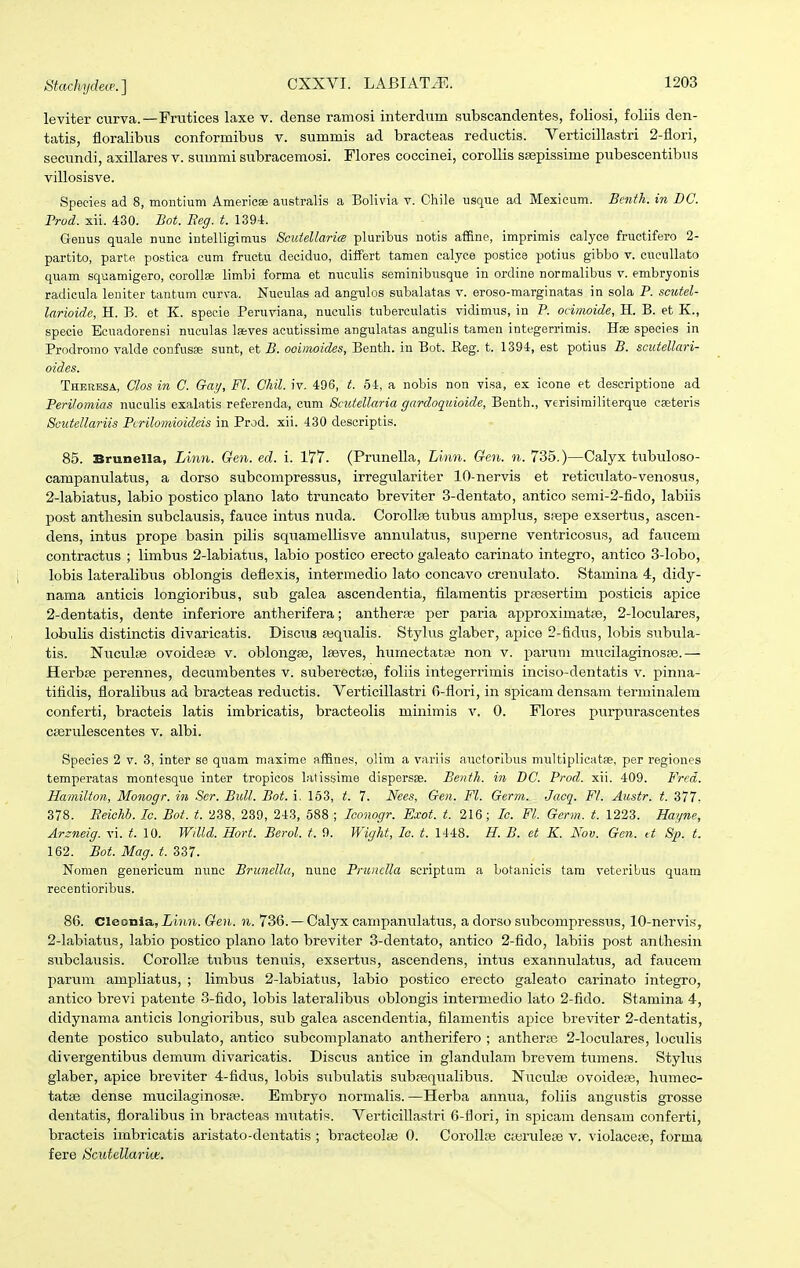 Stachydeo'. ] leviter curva.—Frutices laxe v. dense ramosi interdum subscandentes, foliosi, foliis den- tatis, floralibus conformibus v. summis ad bracteas reductis. Verticillastri 2-flori, secundi, axillares v. summi subracemosi. Flores coccinei, corollis ssepissime pubescentibus villosisve. Species ad 8, montium Americae australis a Bolivia v. Chile usque ad Mexieum. Bcnfh. in DC. Prod. xii. 430. Bot. Reg. t. 139-4. Genus quale nunc intelligimus Scutellarim pluribus notis affine, imprimis calyce fructifero 2- partito, parte postica cum fructu deciduo, differt tamen ealyce postice potius gibbo v. cucullato quam squamigero, corollae limbi forma et nuculis seminibusque in ordine normalibus v. embrjonis radicula leniter tantum curva. Nuculas ad angulos subalatas v. eroso-marginatas in sola P. sciitel- larioidc, H. B. et K. specie Peruviana, nuculis tuberculatis vidimus, in P. ocimoide, H. B. et K., specie Ecuadorensi nuculas Iseves acutissime angulatas angulis tamen integerrimis. Hse species in Prodromo valde confusEe simt, et B. ooimoides, Bentli. in Bot. Eeg. t. 1394, est potius B. sciitellari- oides. Therbsa, Clos in C. Gay, Fl. Chil. iv. 496, t. 54, a nobis non visa, ex icone et descriptione ad Peri/omias nuculis exalatis referenda, cum Scutellaria gardoqidoide, Benth., verisirailiterque eaeteris Scutellariis Pcrilomioideis in Prod. xii. 430 descriptis. 85. Brunella, Linn. Gen. ed. i. 177. (Prunella, Linn. Gcn. n. 735.)—Calyx tiibuloso- campanulatus, a dorso subcompressus, irregulariter 10-nervis et reticulato-venosus, 2-labiatus, labio postico plano lato truncato breviter 3-dentato, antico semi-2-fido, labiis post anthesin subclausis, fauce intus nuda. Corollse tubus amplus, spepe exsertus, ascen- dens, intus prope basin pilis squamellisve annulatus, superne ventricosus, ad faucem contractus ; limbus 2-labiatus, labio postico erecto galeato carinato integro, antico 3-Iobo, lobis lateralibus oblongis deflexis, intermedio lato concavo crenulato. Stamina 4, didy- nama anticis longioribus, sub galea ascendentia, filamentis prassertim posticis apice 2-dentatis, dente inferiore antherifera; antherfe per paria approximatfe, 2-IocuIares, lobulis distinctis divaricatis. Discus Eeqtialis. Stylus glaber, apice 2-fidus, lobis subula- tis. Nuculse ovoidese v. oblongse, I^ves, humectataj non v. parum mucilaginosce.— Herbse perennes, decumbentes v. suberectse, foliis integerrimis inciso-dentatis v. pinna- tifidis, floralibus ad bracteas reductis. Verticillastri G-flori, in spicara densam terminalem conferti, bracteis latis imbricatis, bracteolis minimis v, 0. Flores purpurascentes CBeruIescentes v. albi. Species 2 v. 3, inter se quam maxime affines, olim a variis auctoribus miiltiplicatae, per regiones temperatas montesqu.e inter tropicos latissime dispersse. Benth. in BC. Prod. xii. 409. Frcd. Hamilton, Monogr. in Ser. BuU. Bot. i. 163, t. 7. Nees, Gen. Fl. Germ. Jacq. Fl. Austr. t. 377. 378. Reichb. Ic. Bof. t. 238, 289, 243, 688 ; Iconogr. Exot. t. 216; Ic. Fl. Germ. t. 1223. Hayne, Areneig. vi. t. 10. Willd. Hort. Berol. t. 0. Wight, lo. t. 1448. H. B. et K. Nov. Gen. U 8p. t. 162. Bot. Mag. t. 337. Nomen genericum nunc Brunella, nunc Prunclla scriptum a botanicis tara veteriLus quani recentioribus. 86. Cleonia, jLiuH. Gen. n. 736. —Calyx campanulatus, a dorso subcompressus, 10-nervis, 2-Iabiatus, labio postico plano lato breviter 3-dentato, antico 2-fido, labiis post anlhesin siibclausis. Corollfe tubus tenuis, exsertus, ascendens, intus exannuIatAis, ad faucem parum ampliatus, ; limbus 2-labiatus, labio postico erecto galeato carinato integro, antico brevi patente 3-fido, lobis lateralibus oblongis intermedio lato 2-fido. Stamina 4, didynama anticis longioribus, sub galea ascendentia, filamentis apice breviter 2-dentatis, dente postico subulato, antico subcomplanato antherifero ; antheras 2-IocuIares, loculis divergentibiis demum divaricatis. Discus antice in glandulam brevem tumens. Stylus glaber, apice breviter 4-fidus, lobis subulatis subpequalibus. Nuculfe ovoidefe, humee- tatse dense mticilaginosfe. Embryo normalis. —Herba annua, foliis angustis grosse dentatis, floralibus in bracteas mutatis. VerticiUastri 6-flori, in spicam densam conferti, bracteis imbricatis aristato-dentatis ; bracteolte 0. Corollfe c;erulese v. violaceie, forma fere tScidellarkt.