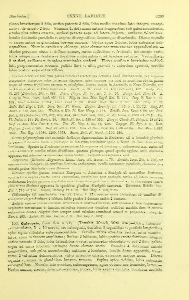 plano Ixentesrqne 2-fido, ^asdao patente 3-fido, lobo medio maxiiBo Jaio iniegro cmaigi- nztoT. diT»!eaio-2-fidoL Stunina 4, didyiiama an^cas loi^^onbaB, sab g^eaaseoideaitia, e tnbo pIoB minns exserta, an&esd pexa^ ss^e ad latsa dejecsa; ajiOwa-aR 2-localaics, locnlis disaneiis pEoalldis t. ss^hob «II fcttfwqifilma demuuMine ditanca&. Disea8Si|aaIis T. xarins «»»tj«^ in gjandnlam Isevem tnmens. S^Ins a^aoB 2-fidns, lolBa snbalaiis snb- ssqo^ibns. STncalfsortHdesT.obloi^s, apieeobtasag nee tnnicataenec appeDdienlaiae.— Hezbee paeanies datae t. diS^isae annns^ zazins snSm^ces t. &ati£nli, indnmento Tano, foliis integenimis draits&Te Sass^bas eoufonuibns t. ad zednctis. 'Yf^asSasa 2-^^flxi, asiDsies t. in spicas terminales confertL Flores sessil^ t. IxeYissane pedud- la^ pnrpmascentes ooednei paDidi flaTi t. albi. parmli t. intezdnm ^ecios, eorcJIas labio poe&o ssepe exiis rilloeo. ttjapetatas vtziBsqoe oeIbs latisRinft £qiets£, inter tiopieos tix ina ift ma^ibas obri^ peoeas vs^ne ad terzBS Si^dHRES pxtpnag- t. sahel^iis, desaiit taaeQ in .AaiitFaTia et ZSora eta in A&ies aitstzali £t Oiile haod rara?. Bemfk. im DC. Fmd. xH. 4.59 {Baondem), A&. Wtif. Jmu. i?L 263 {BHtntiea}. 264, t. 689. Bm^. Hisffm. IL Or. sbt. 2, ir. 36. Sbh^, ia*. Pii^. 6S. J. &rey n iVor. Amer. Jesd. TiiL 371. JTig. u Jb:^ JfaJL Ijaed. Bei. iL 111. ^rToe^. It. Ber. t. 107, 108; a>ri. Sdtcaibr. t.2&l i myri. rixd. t. 70. Wild. mrt. Beni. t. 60. Xicr. Siiy. f. 26. A»dr. Bai. Bef. t. 310. Sas, Gtsu H. Germ. Bafffie, Arzxng. in. f. «», iT. f. 11,12. Jeeq. n. Amgtr. t. 319^ 3.39, 360. Weid^. et Kii. TL Bar. msag. 1.134. BaM. ham. Exoi. t. 2& .58: lam. Boi. i. 15 (JSderuis), 222. 327, 328, 484. 646, 949, 950, 967: J7. Germ. 1.1209 ad 1217. VU. F7. JMa.f. 16; f. 30. J7. f. .558 «^7 360. Be>rg tt Ckmab.^.PiiUfLt.l»ad20. Beff. i» Ama. Mms. Fmr. x. f. 2-5. r». ¥1. 3ep. f. -53, »4^ 239. I^fegr- ^ 8- Brt^ rigtcgr. Lmm. 1.109. De^. M. Ail. t. 126l C«». «f l>«r. ExfL^. t.GimdGk. Bet. J%. ^ 666, 19-59. BeL Beg. t. 1080.1289, laaS. SmKO, BrtL FI. Gmrd. 1.100,180. GeniK ■peSjmem^bam. efsi natniale &aleq[iie dignoeeaidam, ia ProJiugw %Ja. a LotaBids pbnsa^ in geneia 2 diTisam bodie a ^aisgiiie in i'>tt^r— ze&kilitiUir qKHe a BpMIi,, in Xab. G@i. ei Sp. Hmitatimi. ^eeies in P.odramo in seedoDes 10 iiw|giinis ad balitaat t. iMSozeseeEtiaB, «rma ad ostpisdeHies t. ecndlae tBfaBBi distnbntae^ qB>z«B pleEgeqae qwnd ^«cis Qrpieas satis ffiggiiif^ mpfms!aa sed iateznediis nBBeinas eiMuiectaiEar. Seqa^^Es inagEiazEs ssi^: AlofcaoTes {Betomem Mofesaiss, Tinw., Jaeq. IL Ajostr. t. 73. Sadib. leia. Bt*. £. 709) est speeies miea EuwnBBa, ab ciiib«s digtiiiaa aath^iJSTm lonlii ?:^5^.i^:rr T^r ; ; - ': i:-: i^TTTt^ eaEtEzis potiBS Staebfdis qoam Baadete. BebemiBm ^ecies paseas eoBumet Eaxc^s^ - .--:,::;:i ; : ; Lr: i;: ; eoBoDae tabo s^pns eiseito intas esaiiHiilato, s: rii:. \ r - ;r ; i aHthetamifli loeBlis primnm paaal'elis mcs taniez _;-;:_:; ; _ _: ■ -^- ;^iis miBBS dSstiHete ^jareDt in speeiebas picr. ^ - :. ' ' :_;; .— - Zi: ; ' . Bia. f. 710 md 71-5. Begme, Arsmeig. rr. i. 10. Ssf. _V:  : : . 1 Otaoelmdtgs {S. mumti^^^ \is. Jiaha. %. l ■ _: I - ; -_^ li- sti^nitHreahtedisliBete 3-Jabiato,lal»oposSeo3-c: i; ; :-_7-:_-: Amddeia ^peeies phnes rowtinet Oriewtales t.aasc:; -- — :-^ls. iziri: :;:; - :r:: :r:;;- ;-.; s^isaBe tOBeHtseas t. laaatas, ealycibas fin iiiii ii dmSaSams bk11:'::i5 —-■.:::5. -— i ^-,-.; see&nib«s dcstes ealyeiid~&se sanper aeati sabslat^-aenminati sesLCii v. z-z^i-::?. Bmr.t.^. Um.n.^.Bee.va.t.t. BoLBeg..-.i:. 103. Galeop5: = . . Ge». h. 717. (TefeaLi: _ _ \ — . . c^nt^w-il.::!. :- l.-:ieriis, ore snbasijaali, di-: :; ' . _ :- - ;::.:- 1;:_^:..: _- apict r--:!- : -1:^5 snb^inescentibas. Oor^^l - ; — : :r; . :zr_; r-;- latus. .: ::r r: ::.r;r—sr^-Iiatns; limbas 2-U)iar.ii. L ; :; : ;: : — : : r: :,- antic-: - i::r:r : -r ... ; ^i lakxattibas orxys, mht^ ;:_: ;;;;:_::. - : -.-z . - Z - :1 -:: :- 1 : r::r -rlr re deaiBe eleTaio ar;:: ^: rrr: l~ :.r_: :r:; :i l;-^:.:: :; - :1 _ 1 „:; rr Ir-:i3: anthers ^-Jocclir ri i :r: 1 :r ; :_; r::^;- verse '2-^ _r_r;rz.r:ri. ^ ;:::ennre riiH:i. rxirr. :r rrr::r r:_^ Z = - ~ E-1