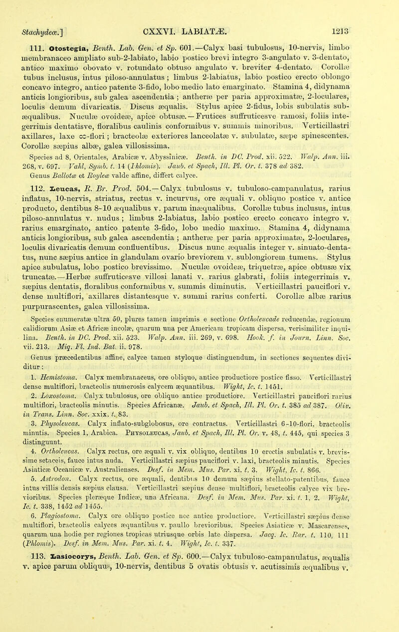 111. Otostegria, Benth. Lab. Gen. et Sp. 601,—Calyx basi tubulosus, 10-nervis, limbo membranaceo ampliato sub-2-labiato, labio postico brevi integro 3-angulato v. 3-dentato, antico maximo obovato v. rotundato obtuso angulato v. breviter 4-dentato. Corollie tubus inclusus, intus piloso-annulatus ; limbus 2-labiatus, labio postico erecto oblongo concavo integro, antico patente 3-fido, lobo medio lato emarginato. Stamina 4, didynama anticis longioribus, sub galea ascendentia ; anthene per paria approximatfe, 2-loculares, loculis demum divaricatis. Discus aequalis. Stylus apice 2-fidus, lobis subulatis sub- sequalibus. Nuculae ovoideffi, apice obtusse. — Frutices sufi^ruticesve ramosi, foliis inte- gerrimis dentatisve, floralibus caulinis conformibus v. sumniis minoribus. Verticillastri axillares, laxe cc-flori; bracteolse exteriores lanceolatae v. subulataj, seepe spinescentes. CoroUae saspius albae, galea villosissima. Species ad 8, Orientales, Arabicae v. Abyssinicse. Benth. in DO. Frod. xii. o22. ^Yalp. Ann. iii. 268, V. 607. Valil, Symb. t. 14 {Ihlomis). Jaub. et Spach, lll. Tl. Or. t. 378 ad 382. Genus Ballotm et EoylccB valde affine, difFert culyce. 112. Xeucas, B. Br. Prod. 504. — Calyx tubulosus v. tubuloso-campanulatus, rarius inflatus, 10-nervis, striatus, rectus v. incurvus, ore sequali v. obliquo postice v. antice producto, dentibus 8-10 sequalibus v. parum inaaqualibus. CoroIliB tubus inclusus, intus pUoso-annuIatus v. nudus ; limbus 2-labiatus, labio postico erecto concavo integro v. rarius emarginato, antico patente 3-fido, lobo medio maximo. Stamina 4, didynama anticis longioribus, sub galea ascendentia ; antherae per paria approximatte, 2-IocuIares, loculis divaricatis demum confluentibus. Discus nunc aec[ualis integer v. sinuato-denta- tus, nunc ssepius antice in glandulam ovario breviorem v. sublongiorem tumens. Stylus apice subulatus, lobo postico brevissimo. Nuculae ovoidese, triquetrse, apice obtusae vix truncatce.—Herbse sufiruticesve villosi lanati v. rarius glabrati, foliis integerrimis v. saepius dentatis, floralibus couformibus v. summis diminutis. Verticillastri pauciflori v. dense miiltiflori, axillares distantesque v. summi rarius conferti. Corollae albse rarius purpurascentes, galea villosissima. Species emimei-atae ultra 50, plures tamen imprimis e sectioue Ortholeucade reducendae, regionum calidiorum Asiae et Africee incolse, quarum una per Americam tropicam dispevsa, rerisimiliter inqui- lina. Benth. in BC. Prod. sii. 523. Wcdp. Aim. iii. 269, v. 698. Hooh. f. in Journ. Linn. Soo. vli. 213. Miq. Fl. Ind. Bat. ii. 978. Genus prseeedentibus affine, calyce tamen styloque distingiiendum, in sectiones sequeutes divi- ditur : 1. Hcmisto)na. Calyx membranaeeus, ore obliquo, antice productiore postiee fisso. Verticillastri dense multiflori, bracteolis numerosis calycem sequantibus. Wight, Ic. t. 1461. 2. Loxostoma. Calyx tubulosus, ore obliquo antice productiore. Verticillastri pauciflori rarius multiflori, bracteolis minutis. Species Africanse. Jaub. et Spach, III. Pl. Or. t. 385 ad 387. Olio. in Trans. Linn. Soc. xxix. t. 83. 3. Physoleucas. Calyx inflato-subglobosus, ore contractus. Verticillastri 6-10-flori, braetcolis rainutis. Species 1, Arabica. Physoletjcas, Jaub. et Spach, III. Pl. Or. v. 48, t. 445, qui species 3 distinguunt. 4. Ortholcucas. Calyx rectus, ore fequali v. 'vix obliquo, dentibus 10 erectis subulatis v. brcvis- sime setaceis, fauce intus nuda. Verticillastri ssepius pauciflori v. laxi, bracteolis minutis. Species Asiaticse Oceanicse v. Australienses. Desf. in Mem. Mus. Par. xi. t. 3. Wight, Ic. t. 866. 5. Astrodon. Calyx rectus, ore sequali, dentibus 10 deraum saepius stellato-patentibus, fauce intus villis densis ssepius clausa. VerticiUastri sfepius dense multiflori, bracteolis calyce vis bre- vioribus. Species pleraeque Indicse, una Africana. Bcsf. in Mem. Miis. Par. xi. t. 1, 2. Wight, Ic. t. 338, 1452 ad 1455. 6. Plagiostoma. Calyx ore obliquo postice noc antice productiore. Verticillastri ssepius den.se multiflori, bracteolis calyces eequantibus v. pauUo Ijrevioribus. Species Asiaticse v. Mascarenses, quarum una liodie per regiones tropicas utriusque orbis late dispersa. Jacq. Ic. Bar. t. 110, 111 {Phlomis). Besf. in Mem. Mus. Par. xi. t. 4. Wighf, Ic. t. 337. 113. Xasiocorys, Benth. Lab. Gen. et Sp. 600.—Calyx tubuloso-campamilatus, asqualis V. apice parum obliquu-, 10-nervis, dentibus 5 ovatis obtusis v. acutissimis tequalibus v.