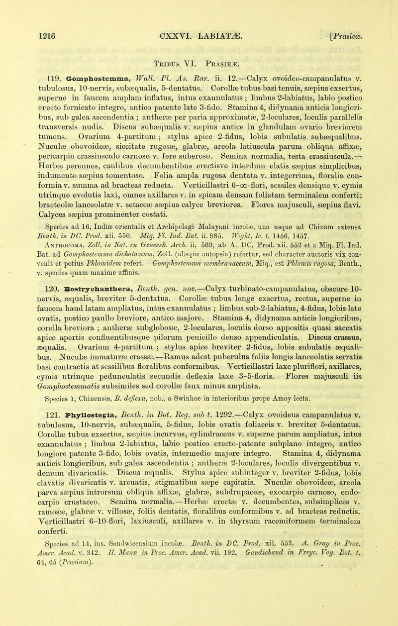 Teibus VI. Prasie^e. 119. Gompbostemma, Wall. Fl. As. Ear. ii. 12.—Calyx ovoideo-campanulatus v. tubulosus, 10-nervis, subtequalis, 5-dentatus. Corolla; tubus basitenuis, spepius exsertus, sujjerne in faucem araplam inflatus, intus exannulatus ; limbus 2-labiatus, labio postico erecto fornicato integro, antico patente late 3-iido. Stamina4, didynama anticis longiori- bus, sub galea ascendentia ; antherre per paria approximatoB, 2-loculares, loculis parallelis transversis nuclis. Discus subiEqualis v. seepius antice in glandulam ovario breviorem timiens. Ovarium 4-partitum; stylus apice 2-iidus, lobis subulatis suba^qualibus. Nuculte obovoideEe, siccitate rugosae, glabrse, areola latiuscula parum obliqua afHxas, pericarpio crassiusculo carnoso v. fere suberoso. Semina normalia, testa crassiuscula.— Herbte perennes, caulibus decumbentibus erectisve interdiim elatis sajpius simplicibus, indumento stepius tomentoso. Folia ampla rugosa dentata v. integerrima, floralia con- formiav. summa ad bracteas reducta. Verticillastri G-cz2-flori, sessiles densique v. cymis utrinque evolutis laxi, omnes axillares v. in spicam densam foliatam terminalem conferti; bracteolae lanceolatse v. setaceaj sajpius calyce breviores. Flores majusculi, ssepius flavi. Calyces ssepius prominenter costati. Species ad 16, Indise orientalis et Arcliipelagi Malayani incolse, una usque ad Chinam extensa Bcnth. iii DC. Prod. xii. 650. Miq. Fl. Ind. Bat. ii. 085. Wic/ld, lc. t. 1456, 1457- Anthocoma, ZoU. iii Nat. cn GeneesJc. Arch. ii. 669, ab A. DC. Prod. xii. 652 et a Miq. Fl. Ind. Bat. ad Gomphostcmvia dichotomum, Zoll. (iibsque autopsia) refertur, sed cliaracter auctoris vix con- venit et potius Phlomidcm refert. Gomphostemma memhranaceiim, Miq., est Phlomis rugosa, Benth., V. species quam maxime afflnis. 120. Bostrychanthera, Benth. cjen. nov.—Calyx turbinato-camjjanulatus, obscure 10- nervis, ajqualis, breviter 5-dentatus. CoroIIpe tubus longe exsertus, rectus, superne iii faucem haud latam ampliatus, intus exannulatus ; limbus sub-2-Iabiatus, 4-fidus, lobis late ovatis, postico paullo breviore, antico majore. Stamina 4, didynama anticis longioribus, coroUa breviora ; antherse subglobosaj, 2-locuIares, loculis dorso appositis quasi saccatis apice apertis confluentibusque pilorum penicillo denso appendiculatis. Discus crassus, sequalis. Ovarium 4-partitum ; stylus apice breviter 2-fidus, lobis subulatis sequali- bus. Nuculse immaturte crassse.—Ramus adest puberulus foliis longis lanceolatis serratis basi contractis at sessilibus floralibus conformibus. Verticillastri laxe pluriflori, axillares, cymis utrinque pedunculatis secundis deflexis laxe 3-5-floris. Flores majusculi iis Gomphostemmatis subsimiles sed corollce faux minus ampliata. Species 1, Chinensis, B. dcfiexa, nob., a Swinhoe in interioribus prope Amoy lecta. 121. Pliyllostegia, Benth. in Bot. Recj. suh t. 1292.—Calyx ovoideus campanulatus v. tubulosus, 10-nervis, subaiqualis, 5-fidus, lobis ovatis foliaceis v. breviter 5-dentatus. CoroIIaj tubus exsertus, sjepius incurvus, cylindraceus v. superne parum ampliatus, intus exannulatus ; limbus 2-Iabiatus, labio postico erecto-patente subplano integro, antico longiore patente 3-fido, lobis ovatis, intermedio majore integro. Stamina 4, didynama anticis longioribus, sub galea ascendentia ; antherte 2-IocuIares, loculis divergentibus v. demum divaricatis. Discus iec[ualis. Stylus apice subinteger v. breviter 2-fidus, lobis clavatis divaricatis v. arcuatis, stigmatibus sa;pe capitatis. Nuculte obovoidese, areola parva ssepius introrsum obliqua aflixaj, glabra^, subdrupacese, exocarpio carnoso, endo- carpio crustaceo. Semina normalia.—Herbse erect£e v. decumbentes, subsimplices v. ramosaj, glabras v. villosse, foliis dentatis, floralibus conformibus v. ad bracteas reductis. Verticillastri 6-10-flori, laxiusculi, axillares v. in thyrsum racemiformem teriiiinalom conferti. Sppcles ad 14, ins. Sandwicensium incolse. Benth. iii BC. Prod. xii. 653. A. Grcnj iu Proc. Amer. Acad. v. 342. H. Mann in Proc. Amcr. Acad. vii. 192. Gatidichaud in Frcyc. Voij. Bot. t, 64, 65 {Prasium).