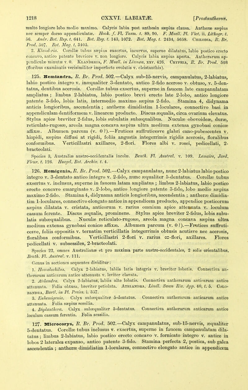 miilto longiore lobo meclio maximo. Calycis labia post anthesin ssepius clansa. Antlierae srepius nec semper dorso appendiculatse. Hook. f. Fl. Tasm. f. 89, 90. F. Muell. Pl. Vict. ii. Lithogr. t. 56. Andr. Bot. Rep. t. 641. Bot. Reg. t. 143, 1072. Bot. Mag. t. 2434, 56-58. Chii.odia, R. Br. Frod. 507. Bot. Mag. t. 3405. 2. Klandiria. Corollte tubus ssepius exsertus, incurvus, superne dilatatus, labio postico erecto concavo, autico patente breviore v. non longiore. Calycis labia ssepius aperta. Antherarum ap- pondiculse minutae v. 0. Klanderia, F. Muell. in Liniicpa, xxv. 426. Ceyphia, R. Br. Prod. 608 (floribus examinatis verisimiliter imperfecte evolutis v. eleistanthis). 125. Hemlandra, R. Br. Prod. 502.—Calyx sub-15-nervis, campaniilatus, 2-labiatus, labio postico integro v. intequaliter 3-clentato, antico 2-fi(io aceroso v. obtuso, v. 5-den- tatus, dentibus acerosis. Corollse tubus exsertus, superne in faucem late campanulatam ampliatus ; limbiis 2-labiatus, labio postico brevi erecto late 2-lobo, antico longiore patente 3-fido, lobis latis, intermedio maximo ssepitis 2-fido. Stamina 4, didynama anticis longioribus, ascendentia ; antherse dimidiatim 1-loculares, connectivo basi in apj)endiculam dentiformem v. linearem producto. Discus sequalis, circa ovarii;m elevatus. Stylus apice breviter 2-fidus, lobis subulatis subsequalibus. Nuculse obovoideae, durae, reticulato-rugosae, areola magna concava stepius ultra medium extensa gynobasi conicae aflixse. Albunien parcum (v. 0?).—Frutices sufiruticesve glabri cano-pubescentes v. hispidi, sfepius diifusi at rigidi, foliis angustis integerrimis rigidis acerosis, floralibus conformibus. Verticillastri axillares, 2-flori. Flores albi v. rosei, pedicellati, 2- bracteolati. Species 3, Australise austro-occidentalis incolse. Benth. Fl. Austral. v. 109. Lemaire, Jard. Fleur. t. 126. Huegd, Bot. Archiv. t. 4. 126. Hemigenia, E. Bv. Prod. 502.-—Calyx campanulatus, nunc 2-labiatus labiopostico integro v. 3-dentato antico integro v. 2-fido, nunc tequaliter 5-dentatus. Corollse tubus exsertus v. inclusus, superne in faucem latam ampliatus ; limbus 2-labiatus, labio postico erecto concavo emarginato v. 2-lobo, antico longiore patente 3-fido, lobo medio ssepius maximo 2-fido. Stamina4, didynama anticis longioribus, ascendentia ; antherse dimidia- tim 1-loculares, connectivo elongato antice in appendicem producto, appendice posticorum siepius dilatata v. cristata, anticorum v. rarius omiiium apice attenuata v. loculum cassum ferente. Discus sequalis, prominens. Styhis apice breviter 2-fidus, lobis subu- latis subajqualibus. Nuculaj reticulato-rugosse, areola magna concava ssepius ultra medium extensa gynobasi conicse aflixse. Albumen parciim (v. 0?).—Fi>utices sufiruti- cesve, foliis opjjositis v. ternatim verticillatis integerrimis obtusis acutisve nec acerosis, floralibus conformibus. Verticillastri 2-flori v. rarius co-flori, axillares. Flores pedicellati v. subsessiles, 2-bracteolati. Spocies 22, omncs Australianae et pro maxima parte austro-occidentales, 2 solis orientalibus. Bcnth. Fl. Aiistral v. 111. Genus in sectiones sequentes dividitur: 1. Homalockilus. Oalyx 2-Iabiatus, labiis latis integris v. breviter lobatis. Connectiva an- therarum anticarum antice attenuata v. leviter clavata. 2. Atdandra. Calyx 2-labiatus, labiis alte lobatis. Connectiva antherarum anticarum antice attenuata. Folia obtusa, breviter petiolata. Atelandra, Lindl. Swan Riv. App. 40, i. 5. Colo- BANDRA, Bartl. in Pl. Preiss. i. 357. 3. Euhemigenia. Calyx subsequaliter 5-dentatus. Connectiva antherarum anticarum antice attenuata. Folia saepius sessilia. 4. Biplanthera. Oalyx subsequaliter 5-dentatus. Connectiva antherarum anticarum autice loculum cassum ferentia. Folia sessilia. 127. BTicrocorys, R. Br. Prod. 502.—Calyx campanulatus, sub-15-nervis, sequaliter 5-dentatus. Corollse tubtis inclusus v. exsertus, superne in faucem campanulatam dila- tatus ; limbus 2-labiatus, labio postico erecto concavo v. fornicato integro v. antice in lobos 2 laterales expanso, antico patente 3-fido. Stamina perfecta 2, postica, sub galea ascendentia ; antherse dimidiatim l-loculares, connectivo elongato antice in appendicem