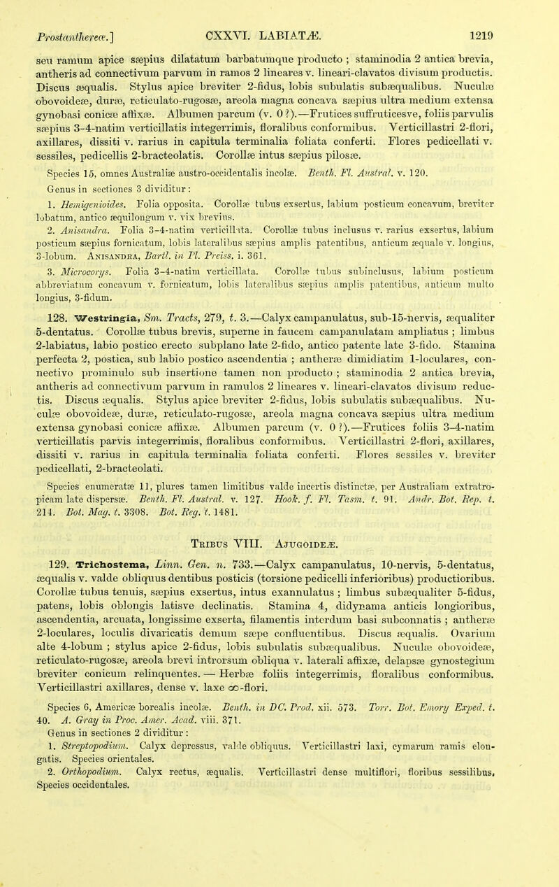 seu ramiim apice ssepius dilatatum barbatumque producto ; staminodia 2 antica brevia, antheris ad connectivum parvum in ramos 2 lineares v. lineari-clavatos divisum productis. DisciTS sequalis. Stylus apice breviter 2-fidus, lobis sixbulatis subsequalibus. Nuculre obovoidese, duriB, reticulato-rugosEe, areola magna concava sfepius ultra medium extensa gynobasi conicre aftixtB. Albumen parcum (v. 01).—Frutices sufiruticesve, foliisparvulis srepius 3-4-natim verticillatis integerrimis, tloralibus conformibus. Verticillastri 2-tlori, axillares, dissiti v. rarius in capitula terminalia foliata conferti. Flores pedicellati v. sessiles, pedicellis 2-bracteolatis. CorollEe intus sajpius piloste. Species 15, omnes Australiae austro-occidentalis incolse. Bcnth. Fl. Aiistral. v. 120. Gonus in sectiones 3 dividitur : 1. Hemigenioides. Folia opposita. Corollre tubus exsertus, labium postieum coneavum, breTitcr lobatiim, antico aequilongum v. vix brevius. 2. Anisandra. Folia 3-4-natim vertieill-ita. CorollEe tubus inclusus v. rarius exsertus, labium posticum ssepius fornicatum, lobis lateralibus scepius amplis patentibus, anticum sequale v. longiiis, 3-lobum. Anisandha, Bartl. in Pl. Preiss. i. 361. 3. Microoon/s. Folia 3-4-natim verticillata. Corolliie tubus subinelusus, labium posticum abbroviatum concavum v. fornieatum, lobis lateralibus ssepius amplis patentibus, antieum multo longius, 3-fidum. 128. Westringia, Sm. Tracts, 279, t. 3.—Calyx campanulatus, sub-15-nervis, sequaliter 5-dentatus. Corollfe tubus brevis, superne in faucem campanulatam ampliatus ; limbus 2-labiatus, labio postico erecto subplano late 2-fido, antico patente late 3-fido. Stamina perfecta 2, postica, sub labio postico ascendentia ; antlierse dimidiatim 1-loculares, con- nectivo prominulo sub insertione tamen non producto ; staminodia 2 antica brevia, antheris ad connectivum parvum in ramulos 2 lineares v. lineari-clavatos divisi;ra reduc- tis. Discus lequalis. Stylus apice breviter 2-fidus, lobis subulatis subasqualibus. Nu- culce obovoidefB, durfB, reticulato-rugosse, areola magna concava saspius ultra medium extensa gynobasi coniciB afHxa). Albumen parcum (v. 01).—Frutices foliis 3-4-natim verticillatis parvis integerrimis, fioralibus conformibus. Verticillastri 2-flori, axillares, dissiti V. rarius in capitula terminalia foliata confeiti. Flores sessiles v. breviter pedicellati, 2-bracteolati. Species enumeratse 11, plures tamen limitibus valde incertis distinctae, per Australiam extratro- picam late dispersse. Benth. Fl. Austral. v. 127. Hook. f. Fl. Tasm. t. 91. Andr. Bot. Rep. t. 214. Bot. Mag. t. 3308. Bot. Beg. t. 1481. Tbibus VIII. Ajugoide^. 129. Tricbostema, Linn. Gen. n. 733.—Calyx campanulatus, 10-nervis, 5-dentatus, requalis v. valde obliquus dentibus posticis (torsione pedicelli inferioribus) productioribus. Corollse tubus tenuis, stepius exsertus, intus exannulatus ; limbus subsequaliter 5-fidus, patens, lobis oblongis latisve declinatis. Stamina 4, didynama anticis longioribus, ascendentia, arcuata, longissime exserta, filamentis intcrdum basi subconnafis ; antlierEB 2-loculares, loculis divaricatis demum ssepe confluentibus. Discus jequalis. Ovarium alte 4-lobum ; stylus apice 2-fidus, lobis siibulatis subcequalibus. Nuculie obovoidea?., reticulato-rugosse, areola brevi introrsum obliqua v. laterali affixse, delapsre gynostegium breviter conicum relinquentes. — Herbse foliis integerrimis, floralibus conformibus. Verticillastri axillares, dense v. laxe oo-flori. Spe.cies 6, Americse boroalis incolse. Beiith. in DC. Prod. xii. 573. Torr. Bot. Eniory Ex^icd. t. 40. A. Gray in Proc. Anier. Acad. viii. 371. Genus in sectioncs 2 dividitur : 1. Streftffpodiurn. Calyx depressus, valde obliquus. Verticillastri laxi, cymarum ramis elon- gatis. Species orientales. 2. Orthopodium. Oalyx rectus, sequalis. Verticillastri denso multiflori, floribus sessilibuS) Species occidentales.