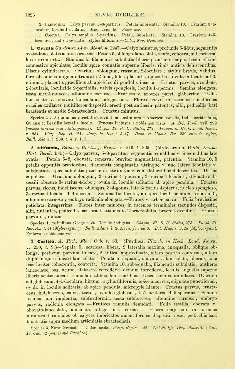 122G XLVIa. CYRILLE^. 2. Cliftonia. Calyx parviis, 5-8-partitus. Petala imbricata. Stamina 10. Ovarlum 3-4- loculare, loculis 1-ovulatis. Stigma sessile.—Amcr. bor. 3. Cost;ea. Calyx amplus, 5-partitus. Petala imbricata. Stamina 10. Ovarium 4-5- loculare, loculis 1-ovulatis; stylus filiformis.—Cuba, Nov. Granada. 1. Cyrilla, Garden ex Lmn. Mant. n. 1247.—Calyx minwtus, profunde 5-fidus, segmentis ovato-lanceolatis aciitis coriaceis. Petala 5, oblongo-lanceolata, acuta, concava, subcoriacea, leviter contorta. Stamina 5, filamentis sixbulatis liberis ; anthersse supra basin afiixfE, connectivo apiculatse, loculis apice connatis superne liberis, rimis anticis dehiscentibus. Discus cylindraceus. Ovarium oblongum, crassum, 2-loculare ; stylus brevis, validus, fere obconicus stigmate trimcato 2-lobo, lobis placentis oppositis ; ovula in loculis ad 3, minima, placentis gracilibus ab apice loculi pendulis inserta. Fructiis parvus, ovoideus, 2- locularis, loculicide 2-partibilis, valvis spongiosis, loculis 1-spermis. Semina elongata, testa membranacea, albumine carnoso.—Frutices v. arbores parvi, glaberrimi. Folia lanceolata v. obovato-lanceolata, integerrima. Flores parvi, in racemos spiciformea graciles axillares miiltifloros dispositi, erecti post anthesin patentes, albi, pedicellis basi bracteatis et medio 2-bracteolatis. Fructus minutus. Species 2 v. 3 (an unius varietates), civitatum australiorum Americse borealis, Indis occidentalis, Guianae et Brasilise borealis incolse. Fructus inclusus a nobis non visus. A. DC. Prod. xvii. 292 (nomen tantum cuin citatis paucis). Ckapm. Fl. S. U. Staies, 272. Flanch. in Hook. Lond. Journ. V. 254. Walp. Bep. vi. 421. Jacq. Ic. Bar. i. t. 47. Bcne. et Maout. Bot. 239, cum ic. xylog. Baill. Adans. i. 203, t. 4,f. 1, 2. 2. Cliftonia, Banks ex Gcertn. f. Frud. iii. 246, t. 225. (Mylocaryum, Willd. Enum. Hort. Berol. 454.)—Calyx parvus, 5-8-partitus, segmentis pequalibus v. inaequalibus late ovatis. Petala 5-8, obovata, concava, breviter unguiculata, patentia. Stamina 10, 5 petalis oppositis brevioribus, filamentis complanatis utrinque v. uno latere lobulatis v. subdentatis, apice subulatis ; antherte late didymse, rimis lateralibus dehiscentes. Discus cupularis. Ovarium oblongum, 3- rarius 4-quetrum, 3- rarius 4-loculare, stigmate sub- sessili obscure 3- rarius 4-lobo ; ovula in loculis solitaria ab apice pendula. Fructus parvus, sicciis, indehiscens, oblongus, 3-4-gonus, late 3- rariiis 4-pterus, nucleo spongioso, 3- rarius 4-loculari 1-4-spermo. Semina fusiformia, ab apice loculi pendula, testa molli, albumine carnoso ; embryo radicula elongata.—Frutex v. arbor parva. Folia brevissime petiolata, integerrima. Flores inter minores, in racemos terminales secundos dispositi, albi, nutantes, pedicellis basi bracteatis medio 2-bracteolatis, bracteis deciduis. Fructus parvulus, nutans. Species 1, paludibus Georgiae et Floridse indigena. Ckapm. Fl. S. U. Statcs, 273. Pursk, Fl. Bor. Am. t.li [Mylocaryum). Baill. Adans. i. 202, t. 4, /. 3 ad 6. Bot. Mag. t. 1625 {Mylocaryum). Embryo a nobis non visus. 3. Costaea, A. BicJi. Flor. Cub. t. 53. (Purdisea, Planch. in Hooh. Lond. Journ, V. 250, t. 9.)—Sepala 5, scariosa, libera, 2 lateralia maxima, ineequalia, oblique ob- longa, posticum parvum lineare, 2 antica approximata, altero postico conforme, altero duplo majore lineari-lanceolato. Petala 5, requalia, obovata v. lanceolata, libera v. ima basi leviter cohferentia, contorta. Stamina 10, subffiqiialia, filamentis subixlatis ; antherse lanceolatfe, basi acutse., alabastro retroflexae demum introflexfe, loculis angustis superne liberis acutis siilcatis rimis lateralibus dehiscentibus. Discus tenuis, annularis. Ovarium subglobosum, 4-5-loculare ,hirtimi; stylus filiformis, apice incurvus, stigmate punctiformi; ovvila in loculis solitaria, ab apice pendula, micropyle hiante. Fructus parvus, crusta- ceus, indehiscens, calyce tectus, ovoideo-globosus, 4-5-locularis, 4-5-spermus. Semina loculos non implentia, subfusiformia, testa subfloccosa, albumine carnoso ; embryo parvus, radicula elongata. ■—Frutices ramulis denudati. Folia sessilia, obovata v. obovato-lanceolata, apiculata, integerrima, coriacea. Flores majiisculi, in racemos nutantes terminales ob calyces imbricatos amentiformes dispositi, rosei, pedicellis basi bracteatis supra medium articulatis ebracteolatis. Species 3, Novse Grenad«? et CuLte incolse. Walj). Bcj). vi. 422. Griscb. Pfl. Trop. Amcr. 45 ; Cat.