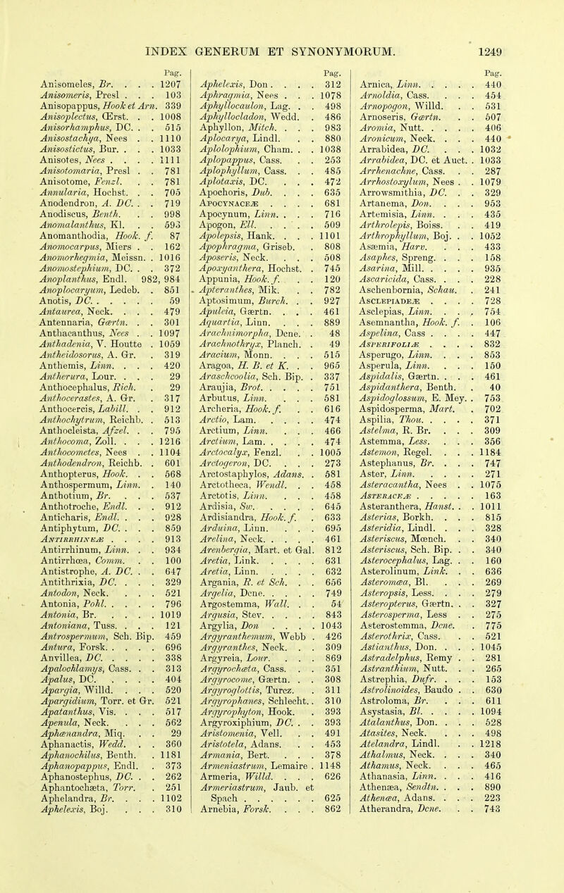 Pag. Anisomeles, Br. . . . 1207 Anisomeris, Presl . . . 103 Anisopappus, Hook et Arn. 339 Anisoplectus, CErst. . , 1008 Anisorhamphus, DC. . . 515 Anisostachi/a, Nee.s . .1110 Anisostictus, Bur. . . . 1033 Anisotes, iVees . . . .1111 Anisotomaria, Presl . . 781 Anisotome, Fenzl. . . 781 Ammlaria, Hochst. . . 705 Anodendron, A. DC. . . 719 Anodiscus, Benth. . . 098 Anomalanthus, Kl. . . 693 Anomanthodia, Hook. f. 87 Anomocarpus, Miers . . 162 Anomorhegmia, Meissn. . 1016 Anomostephium, DC. . . 372 Anoplanthiis, Endl. 982, 984 Anoflocaryum, Ledeb. . 851 Anotis, BC. 59 Antaurea, Neck. . . . 479 Antennaria, Gcertn. . . 301 Antliacanthus, Hees . . 1097 Anthadenia, V. Houtte . 1059 Antheidosorus, A. Gr. . 319 Anthemis, Linn. . . . 420 Antherura, Lour. ... 29 Anthocephalus, Bich. . 29 Anthocerastes, A. Gr. . 317 Anthocercis, idiiZ?. . . 912 Anthochytrum, Reichb. . 513 Anthocleista, Afzel. . . 795 Anfhocoma, Zoll. . . .1216 Anthocometes, Nees . .1104 Anthodendron, Reichb. . 601 Anthopterus, Hook. . . 568 Anthospermum, Linn. . 140 Anthotium, Br. ... 637 Anthotroche, Endl. . . 912 Anticharis, Endl. . . . 928 Antiphytum, BC. . . . 859 Antirrhine^ . . . . 913 Antirrliinum, Linn. . . 934 Antirrhoea, Comm. . . 100 Antistrophe, A. BC. . . 647 Antithrixia, BC. . . . 329 Antodon, Neck. . . . 521 Antonia, Bohl 796 Antonia, Br 1019 Antoniana, Tuss. . . . 121 Antrosfcrmum, Sch. Bip. 459 Antura, Forsk 696 Anvillea, BC. . . . . 338 Apcdoohlamys, Cass. . . 313 Apalus, DC 404 Apargia, Willd. ... 520 Apargidium, Torr. et Gr. 521 Apatantkus, Vis. . . . 517 Apenula, Neck. . . . 662 Aphanandra, Miq. . . 29 Aphanactis, Wedd. . . 360 Aphanochilus, Benth. . 1181 Aphanopappus, Endl. . 373 Aphanostephus, BC. . . 262 Aphantochaeta, Torr. . 261 Aphelandra, Br. . . .1102 Aphelexis, Boj. . . . 310 Pag. Aphelexis, T)on. . . . 312 Aphragmia, Nees . . . 1078 Aphyllocaulon, Lag. . . 498 Aphyllocladon, Wedd. . 486 Aphyllon, Mitch. ... 983 Aplocarya, Lindl. . . 880 Aplolophium, Cham. . . 1038 Aplopappus, Cass. . . 253 Aplophyllum, Cass. . . 485 Aplotaxis, DC. . . . 472 Apochoris, Bub. . . . 635 ApocYNACE.ffi; . . . . 681 Apocynum, Linn. . . . 716 Apogon, EU. . . . . 509 Apolepsis, Hank. . . .1101 Apophragma, Griseb. . 808 Aposeris, Neck. . . . 608 Apoxyanthera, Hochst. . 745 Appunia, Hook.f. . . 120 . Apteranthes, Mik. . . 782 Aptosimum, Burch. . . 927 Apulcia, Gaertn. . . . 461 Aquartia, Linn. . . . 889 Arachnimorpha, Dcne. . 48 Arachnothryx, Planch. . 49 Aracium, Monn. . . . 515 Aragoa, H. B. et K. . . 965 Araschcoolia, Sch. Bip. . 337 Araujia, Brot 751 Arbutus, Linn. . . . 681 Archoria, iZbo/^;./. . . 616 Arctio, Lam 474 Arctium, Linn. . . . 466 Arctium, Lam 474 Arctocalyx, Fenzl. . . 1005 Arctogeron, DC. . . . 273 Arctostaphylos, Adans. . 681 Arctotheca, Wendl. . . 458 Arctotis, Linn. . . . 458 Ardisia, Sw 645 Ardisiandra, Hook.f. . 633 Arduina, Linn. . . . 695 Arelina, Neck 461 Arenbergia, Mart. et Gal. 812 Aretia, Link 631 Arctia, Linn 632 Argania, R. ct Sch. . . 656 Argclia, Dcne 749 Argostemma, Wcdl. . . 54 Argusia, Stev 843 Argylia, Bo7i .... 1043 Argyranthemum, Webb . 426 Argyranthes, Neck. . . 309 Argyreia, Lour. . . . 869 Argyrochmta, Cass. . . 361 Argyrocome, Gsertn. . . 308 Argyroglottis, Turcz. . 311 Argyrophanes, QchX&aht.. 310 Argyrophyt.on, Hook. . 393 Argyroxiphium, BC. . . 393 Aristomenia, Vell. . . 491 Aristotela, Adans. . . 453 Armania, Bert. . . . 378 Armeniastrum, Lemaire . 1148 Armeria, Willd. . . . 626 Armmastrum, Jaub. et Spach 625 Arnebia, Forsk. ... 862 Pag. Arnica, Linn 440 Arnoldia, Cass. . . . 454 Arnopogon, Willd. . . 531 Arnoseris, Gmrtn. . . 607 Aromia, Nutt 406 Aronicum, Neck. . . . 440  Arrabidea, BC. . . .1032 Arrabidea, DC. et Auct. . 1033 Arrhenachne, Cass. . . 287 Arrhostoxyliim, Nees . . 1079 Arrowsmithia, BC. . . 329 Artanema, Bon. . . . 963 Artemisia, Linn. . . . 435 Arthrolepiis, Boiss. . . 419 Arthrophylluvi, Boj. . . 1052 Asaimia, Harv. . . . 433 Asaphes, Spreng. . . . 158 Asarina, Mill 935 Ascaricida, Cass. . . . 228 Aschenbornia, Schau. . 241 AsclepiadejE . . . . 728 Asclepias, Linn. . . . 764 Asemnantha, Hook. f. . 106 Aspelina, Cass .... 447 ASPERIFOLIJE .... 832 Asperugo, Linn. . . . 853 Asperula, Limi. . . . 150 Aspidalis, Geertn. . . . 461 Aspidanthera, Benth. . 40 Aspid/)glossum, E. Mey. . 753 Aspidosperma, Mart. . 702 Aspilia, Thou 371 Astelma, R. Br. ... 309 Astemma, Less. . . . 356 Astemon, HegA. . . .1184 Astephanus, Br. . . . 747 Aster, Linn 271 AsteracaMtha, Nees . . 1076 ASTERACK^ 163 Asteranthera, . . 1011 Asterias, Borkh. . . . 815 Asteridia, Lindl. . . . 328 Asteriscus, Moench. . . 340 Asteriscus, Sch. Bip. . . 340 Asterocephalus, Lag. . . 160 Asterolinum, Link. . . 636 Asteromcea, BI. . . . 269 Asteropsis, Less. . . . 279 Asteropterus, Gsertn. . . 327 Asterosperma, Less . . 276 Asterostemma, Bcne. . 775 Asterothrix, Cass. . . 621 Astianthus, Don. . . . 1046 Astradelphus, Remy . . 281 Astranthium, Nutt. . . 265 Astrephia, Bufr. . . . 163 Astrolinoides, Baudo . . 630 Astroloma, Br. , . . 611 Asystasia, Bl 1094 Atalanthus, Don. . . . 528 Atasites, Neck. . . . 498 Atelandra, Lindl. . .1218 Athalmus, Neck. . . . 340 Athamus, Neck. . . . 465 Athanasia, Linn. . . . 416 Athensea, Sendtn. . . . 890 Athencea, Adans. . . . 223 Atherandra, Bcne. . . 743
