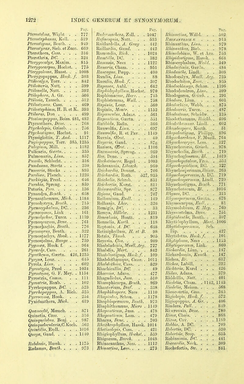 T:i:J. Ptcroslclma, Wif>lit . . 777 IHcrostephanus, KoU. . 610 Ptcrostigma, Bcutli. . . 919 Pterosfyrax,S\Q\).Qt'L\\Q.c. 669 Pterotheca, Cass. . . . 316 Pterothrix, DC. . . . 321 Pterygocaly.r, Maxim. . 815 Pterygocarpns, Huclist. . 775 Pterygoloma, Haiist. . . 1008 Pterygopappiis, HooJc. f. 303 Ptilocaly.v, Torr. . . ' . 8-12 Ptilomeris, Nutt. . . . 399 Ptilonella, Nutt. ... 392 Ptiloplwra, A. Gr. . . 506 Ptilosia,T,\\\^c\\. . . . 512 Ptilostc/iion, Cass. . . 409 Ptilostephium, H. B. et K. 393 Ptilurus, Don .... 499 Ptosimopappiis, Boiss. 481, 482 Ptycantliera, Dcne. . . 768 Pfyckolepis, Griseb. . . 756 Ptychosfigma, Hoclist. . 91 Ptyssiglottis, T. Ancl. .1117 Puqiopiappus, Torr. 385, 1235 Pulcgium, Mili. . . .1182 Pulicaria, Gartn. . . . 335 Pulmonarin., Linn. . . 857 Pumilo, Sclileclit. . . . 316 Punduana, Steetz . . . 230 Puneeria, Stocks . . . 893 PurcVuea, Plancli. . . .1226 PurJdnjia, Presl. . . . 646 PursJiia, Spreng. . . . 859 Putoria, Pcrs 136 Pynandra, Bcnth. . . . 658 Pycnantlioraiim, Mich. . 1184 Pycnobotrya, BcntJt. . . 715 PycnocepJuilum, DG. . . 236 Pycnocomon, Liuk . . 161 PycnoI(ichnc, Turcz. . .1139 Pycnoueurnm, Z^CT^c. . . 761 Pycnorjiaclns, Bcnth. . 776 Pycnosorus, Bentli. . . 322 Pyenostachys, HooJc. . .1177 Pj-cnostelma, Biingc . . 759 PygmcEa, Hook. f. . . 964 Pi/rar(h, Ca^s. . . . 261 Pyrcthrum, Grertn. 426, 1235 Pyrqiis, Lour 645 Pyrola, Linn 002 Pyroste^ia, Presl . . . 1034 Pyrostqma, G. F. Mej'. . 1154 Pyrostria, Comm. . . 111 Pyrosfria, Roxb. . . . 102 Pyrrhojoappus, BC. . . 623 PyrrJiopappus, A. Eich. 625 Pyrrocomci, Hook. . . 254 Pyxidauthera, Mich. . 619 Quamoclit, Moench. . . 871 Quinetia, Cass. . . . 316 Quinqudobus. Benj. . . 987 Qiiin queloculari a,G.Koch. 562 Quintilia^^Endl. . . . 1016 Quoya, GauH IHO 7?ff6c?osi«, Hassk. . , .1175 Kadamea, Benfh. . . . 073 BcuhrmacJicra, ZoU. . . 1047 Itafinesquia, Nutt. . . 533 Raillanlella, A. Gray . 412 Eaillardia, Gaud. . . 442 Ramondia,, liich. . . . 1024 BamtiUa, DC. ... 382 llamusia, 1>fees . . . 1122 Ranaria, Cham. . . . 951 llancagua, Pcepp. . . . 400 Randia, Linn. ... 88 Raoulia, HooJc. f. ... 307 Rapanea, X\\\A. . . . 642 Rciphido2>hyllum,TIochsi. 970 Raphionacme, Harv. . . 745 Raphistemma, Wcdl. . . 758 llapinia, Lonr. . . . 560 Rapinia, Montr. . . . 1152 Ecipunculus, Adaiis. . . 661 Bapiinfium, Gairtn. . . 551 Batibida, Rafin. . . . 366 Rauwoifia, Linn. . . . 697 Bauwolfia, R. et Par. . 1149 Ravnia, G:<Jrst. ... 40 Baycria, Gaud. . . . 876 Razisca, (Ersf 1106 Ba::u,movia, Spreug. . . 909 Bca, Deno 504 Bcchstcincra, Regel . . 1003 Relimauuia, Lihosch. . 960 BeicJiardia, Donnst. . . 706 Bcichardia, Roth. 527, 935 BcichcUa, Schreb. . . 831 BcicJicrtia, K^rst. . . 811 Bcinwardlia, Spr. . . 877 Bcjoua, Gaud. . . . 07 Relbuninm, E'?^;//. , . 149 Relhanin, Lhcr. . . . 326 Remigia, BC. .... 33 Remya! Hillcbr. . . .1231 Bencalmia, Houtt. . . 819 Rennelia, KortJi. . . , 118 Rcptonia, A. DC. . . 648 Retiuiphyllum, H. ct B. 98 Retzia, TJnuih. . . . 905 Reycsia, Chs 909 Rbabdadciiia, Muell. Arg. 727 Rhabdia, Mart. ... 842 Rliabdostigma, HooJc.f. . 109 Rhabdothamnus, Cunn. . 1011 BJmbdotJicca,'Cass. . . 829 Rliachicallis, DC. . . 49 BJiacoma, Adaus. ' . . 477 Rhagadiolus, Juss. . . 510 Ehamphicarpa, BcntJi. . 969 Rhauterium, Dcsf. . . 338 BhapJiichspora, Nees . 1110 Bliapindon, '&c\\:\Vi. . .1178 Rli.ipliispermnui, BcniJi. 973 Rhapliithamnus, Micrs . 1149 BJiaponticum, Juss. . . 478 BJiaponficnm. Lam. . . 479 Rhazya, Dcnc 703 Bhcilhrophyllum, Hassk. 1014 BJietinohpis, Cass. . . 421 Rliigioph^dlum, Hnchsf. . 659 Rhigozuni, Bnrch. . .1048 Rhinacantlius, 2\ccs. . .1112 Rhinactina, Less. . , , 273 Pa?. BJiinacfina, Willd. . . 602 BniNANTllACE.K . . . 913 Rhinantluis, Linn. . . 979 BhinantJius, Bieb. . . 978 BJiinolobium, W. et Arn. 753 Bhipidostigma, Hassk. . 664 Rhizocephalum, Wcdd. . 549 BJtodactinia, Gar.hi. . 484 BJiodanlJte, Lindl. . . 308 Rhodocalyx, Mucll. Arg. 725 Rhodoehiton, Zucc. . . 935 BhodocJilamys, Scliau. . 1196 Rhododcndron, Linn. . 699 Rhodogeron, Griscb. . . 291 Bhodora, Linn. . . . 601 BJtodnrhi:a, Webb. . . 875 BJindoscris, Turcz. . . 487 Bhodostoma, Schcidw. . 125 Rhodothamnus, BiicJib. . 596 BhnchtJiamnus, Liudl. . 602 BhomhosiMra, Korth. . 61 BJiopahstigma, Philipp. 890 BJiyncJiarrJicna, V. Muell. 764 BJiyncJincarpiis. Less. . 327 Rhynchocoris, Griseb. . 978 Rhynchodia, iScW/i. . . 719 Rhynchoglossum, Z?/. . 1019 BJiyncJiopctalum, Frts. , 552 B.hyncJiopsidium, DO. . 327 Rlij'nchospermum,7iVi;ia). 263 BJiyncJiospcrmiun, K. DC. 719 BJiyncJiospernnun, Lindl. 720 Rhynchostigma, Bcnth. . 771 Rhynchotccum, i?/. . . 1016 Bhynca, DC 313 Bhy.sn.<:picrmi(m,Gxrln. . 678 Rhyssocarpus, Eiidl. . . 81 Rhyssolobium, E. Mcy. . 769 Rhyssostelma, Dcne. . 751 BJii/tiJaHlJte, Benth. . . 307 Rhytidophyllum, Mart. 1006 Bhi/iidnspcrmum, Sc'.i. Bip 427 Rhytidotus, HocjJc.f. . 101 Llhjtighssa, Necs . . .1113 Bhylispcrmum, Link. . 860 Bichardia, Linn. , . .-147 Richardsouia, Kunth. . 147 Richea,'!?/- 617 BicJica, Labill. , . . 322 BicJttcria, Karel , . . 426 Bidan, Adana. ... 379 Riddellia, Nutt. ... 401 Bicdclia, Ch.am. . 1142, 1143 liicdclia, Meissn. . . . 568 Rioncourtia, Cass. . . 345 Rigiolepis, HooJc.f. . . 572 Rigiopappus, A. Gr. . . 406 Rindera, Pall 849 Riocreuxia, Dcne. . . 780 Bivcct, Chois 868 Bizoa, Cav. ' . . . .1189 Bobbia, A. DC. ... 709 Bobcrtia, DC 620 Boficrt.fia, Scop. . . . 655 Robinsonia, DC. . . . 441 Boccardia, Neck. . , , 309 Rochefortia, Sw. , . 841