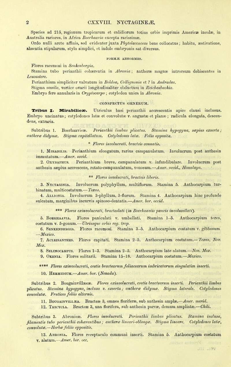 Speeies ad 215, regionum tropicarum et calidiorum totius orbis imprimis Americse incolee, in Australia rariores, in Africa Bocrhaavia excepta rarissimse. Ordo nulli arcte affiuis, sed evidenter juxta Phytolaccaceas bene collocatus ; habitu, sestivatione, absentia stipularum, stylo simplici, et indole embryonis sat diversus. FOBMJi ABNOEMES. Flores racemosi in Senkcnbergia. Stamina tubo perianthii eohserentia in Abronia; antherse magnse introrsum dehiscentes in Lcucastere. Perianthium simpliciter valvatum in Boldoa, Collignonia et ? in Andradea. Stigma sessile, vertice ovarii longitudinaliter obductum in Reichenbachia. Embryo fere annularis in Cryptocarpo ; cotyledon unica in Abronia. CONSPECTUS GENERUM. Tribus I. Mirabilieee. Utriculus basi perianthii accrescentis apice clausi inclusus. Embryo uncinatus; cotyledones latse et convolutae v. angustae et planse ; radicula elongata, descen- dens, extraria. Subtribus 1. Boerhaavieae. Perianthii limbus plicatus. Stamina hypogyna, scepius exserta; antherce didymcs. Stigma capitellatum. Cotyledones latce. Folia opposita. * Flores involucrati, bracteis connatis. 1. Mibabilis. Perianthium elongatum, rarius campanulatum. Involucrum post anthesin immutatum.—Amer. occid. 2. Oxybaphus. Perianthium breve, campanulatum v. infundibulare. Involucrum post anthesin ssepius accrescens, rotato-campanulatum, venosum.—Amer. occid., Himalaya. 1 ** Flores involucrati, bracteis liberis. 3. Nyctaginia. Involucrum polyphyllum, multifiorum. Stamina 5. Anthocarpium tur- binatum, multicostatum.—Texas. 4. Allionia. Involucrum 3-phyllum, 3-fiorum. Stamina 4. Anthocarpium hine profunde sulcatum, marginibus incurvis spinoso-dentatis.—Amer. bor. occid. *** Flores exinvolucrati, bracteolati (in Boerhaaviis paucis involucellati). 5. Bobbhaavia. Flores paniculati v. umbellati. Stamina 1-5. Anthocarpium teres, costatum v. 5-gonum.— Utriusquc orbis rcg. trop. 6. Senkbnbeegia. Flores racemosi. Stamina 3-5. Anthocarpium costatum v. gibbosum. —Mexico. 7. Acleisanthes. Flores capitati. Stamina 2-5. Anthocarpium costatum.— Texas, Nov. Mex. 8. Selinocabpus. Flores 1-3. Stamina 2-5. Anthocarpium late alatum.—Nov. Mex. 9. Okenia. Flores solitarii. Stamina 15-18. Anthocarpium costatum.—Mexico. **** Flores exinvolucrati, costis bractearum foliacearum imbricatarim singulatim inserti. 10. Hebmidium.-—Amer. bor. (Nevada). Subtribus 2. Bougainvillseeae. Flores exinvolucrati, costis bractearum inserti. Perianthii limbas plicattis. Stamina hypogyna, inclusa v. exserta; antherce didymce. Stigma laterale. Cotyledones convolutce. Frutices foliis alternis. 11. Bougainvillsia. Bracteae 3, omnes floriferse, sub anthesin amplae.—Amer. merid. 12. Teicycla. Bractese 3, una florifera, sub anthesin parvae, demum ampliatse.—Chili. Subtribus 3. Abroniese. Flores involucrati. Pcrianthii limbus plicatus. Stamina inclusa, filamentis tubo perianthii cohcerentibus ; anthercs lincari-oblonga>. Stigma lineare. Cotyledoncs latce, convolutce.—Herbce foliis oppositis. 13. Abbonia. Flores receptaculo communi inserti. Stamina 5. Anthocarpium costatum y. alatum.—Amer. bor. occ,