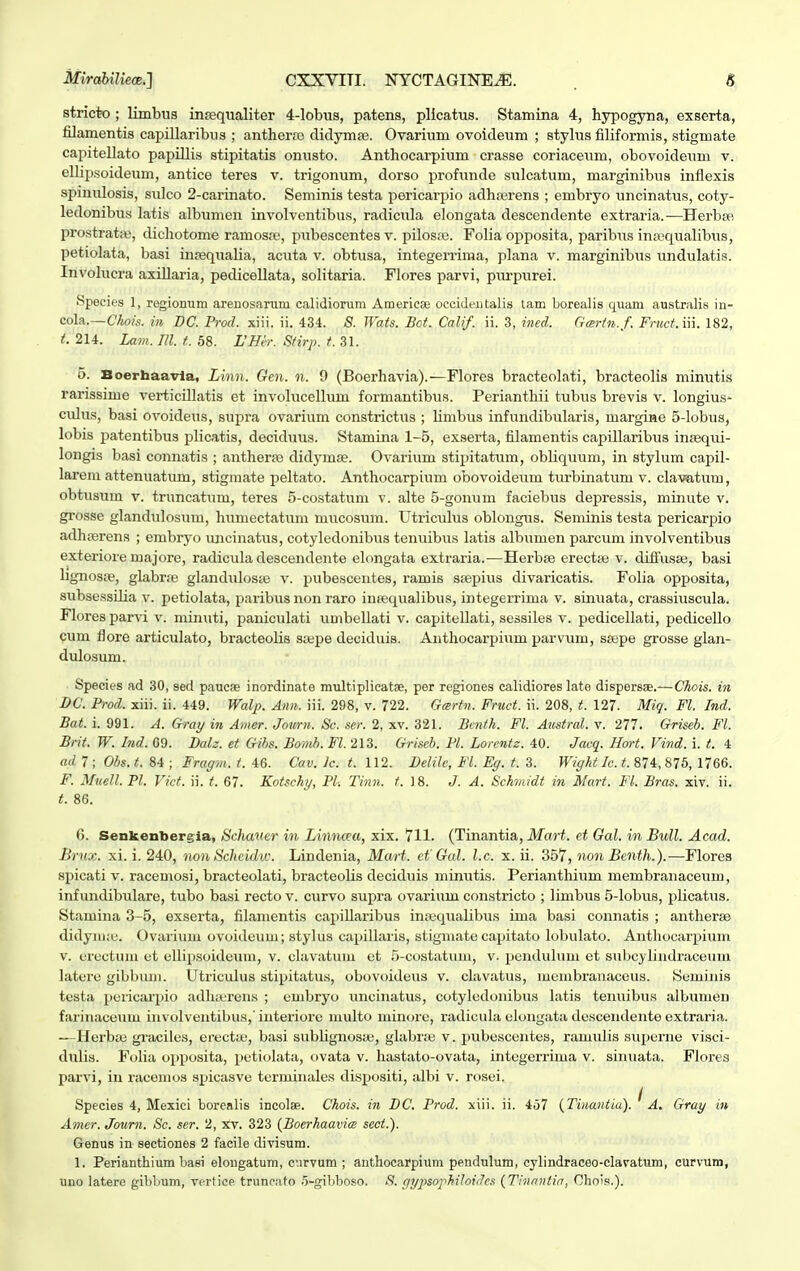 stricto ; limbus insequaliter 4-lobus, patens, plicatus. Stamina 4, hypogyna, exserta, filamentis capillaribus ; antherne didymae. Ovarium ovoideum ; stylus filiformia, stigmate capitellato papillis stipitatis onusto. Anthocarpium crasse coriaceum, obovoideum v. ellipsoideum, antice teres v. trigonum, dorso profunde sulcatum, marginibns inflexis spinulosis, sulco 2-carinato. Seminis testa pericarpio adhserens ; embryo uncinatus, coty- ledonibus latis albumen involventibus, radicida elongata descendente extraria.—Herbse prostratae, dichotome ramosse, pubescentes v. pilosse. Folia opposita, paribus insequalibus, petiolata, basi insequalia, acuta v. obtusa, integerrima, plana v. marginibus undulatis. Involucra axillaria, pedicellata, solitaria. Flores parvi, ptirpurei. Species 1, regionum arenosarum calidiorum Americae oecidentalis tam borealis quam australis in- cola.—Chois. in BC. Prod. xiii. ii. 434. 8. Wats. Bot. Calif. ii. 3, ined. Gcertn.f. Frtict.m. 182, t. 214. Lam. 111. t. 58. L'Hcr. Sfirp. t. 31. 5. Boerbaavla, Linn. Gen. n. 9 (Boerhavia).—Flores bracteolati, bracteolis minutis rarissime verticillatis et involucellum formantibus. Perianthii tubus brevis v. longius- culus, basi ovoideus, supra ovarium constrictus ; Umbus infundibularis, margine 5-lobus, lobis patentibus plicatis, deciduus. Stamina 1-5, exserta, filamentis capillaribus insequi- longis basi connatis ; antherse didymae. Ovarium stipitatum, obliquum, in stylum capil- larem attenuatum, stigmate peltato. Anthocarpium obovoideum turbinatum v. clavatum, obtusum v. truncatum, teres 5-costatum v. alte 5-gonum faciebus depressis, minute v. grosse glandulosum, humectatum nmcosum. Utriculus oblongus. Seminis testa pericarpio adhserens ; embryo uncinatus, cotyledonibus tenuibus latis albunien parcum involventibus exteriore majore, radicula descendente elongata extraria.—Herbse erectse v. diffusse, basi hgnosse, glabrse glandulosse v. pubescentes, ramis ssepius divaricatis. Folia opposita, subsessilia v. petiolata, paribus non raro insequalibus, integerrima v. sinuata, crassiuscula. Flores parvi v. minuti, paniculati umbellati v. capitellati, sessiles v. pedicellati, pedicello cum fiore articulato, bracteolis ssepe deciduis. Anthocarpium parvum, ssepe grosse glan- dulosum. Species ad 30, sed paucre inordinate multiplicatse, per regiones calidiores late dispersae.—Chois. in BC. Prod. xiii. ii. 449. Walp. Ann. iii. 298, v. 722. Geertn. Fruct. ii. 208, t. 127. Miq. Fl. Ind. Bat. i. 991. A. Gray in Amar. Jown. Sc. ser. 2, xv. 321. Bcnth. Fl. Austral. v. 277. Griseb. Fl. Brit. W. Ind. 09. Balz. et Gibs. Bomb. Fl. 213. Griscb. Pl. Lorentz. 40. Jacq. Hort. Vind. i. t. 4 ad7 ; Obs.t.U ; Fragm.t. 46. Cav.lct.U2. Belilc, Fl. Eg. t. 3. Wight Ic. t. 874, 875, 1766. F. Muell. Pl. Vict. ii. t. 67. Kotschy, Pl. Tinn. t. 18. J. A. Schmidt in Mart. Fl. Bras. xiv. ii. t. 86. 6. Senkenbergia, tichaner in Linncea, xix. 711. (Tinantia, Mart. et Gal. in Bull. Acad. Brux. xi. i. 240, non Sclicidw. Lindenia, Mart. et'Gal. l.c. x. ii. 357, non Benth.).—Flores spicati v. racemosi, bracteolati, bracteolis deciduis minutis. Perianthium membranaceum, infundibulare, tubo basi recto v. curvo supra ovarium constricto ; limbus 5-lobus, plicatus. Stamina 3-5, exserta, filamentis capillaribus insequalibus ima basi connatis ; antherse didyime. Ovarium ovoideum; stylus capillaris, stigmate capitato lobulato. Anthocarpium v. erectum et ellipsoideum, v. clavatum et 5-costatum, v. pendulum et subcylindraceum latere gibbum. Utriculus stipitatus, obovoideus v. clavatus, membranaceus. Seminis testa pericarpio adhierens ; embryo uncinatus, cotyledonibus latis tenuibus albumen farinaceum involventibus,'interiore niulto minore, radicula elongata descendente extraria. —Herbas graciles, erect;e, basi sublignosse, glabroe v. puboscentes, ramidis superne visci- dulis. Folia opposita, petiolata, ovata v. hastato-ovata, integerrima v. sinuata. Flores parvi, in racemos spicasve terminales dispositi, albi v. rosei. Species 4, Mexici borealis incolae. Chois. in BC. Prod. xiii. ii. 457 (Tinantia). ^ A. Gray in Amer. Joum. Sc. ser. 2, xv. 323 (Boerhaavice scct.). Genus in sectiones 2 facile divisum. 1. Perianthium baei elongatum, c.irvum ; anthocarpium pendulum, cylindraceo-clavatum, curvum, uno latere giblmm, vertice triincato 5-gibboso. S. gypsophiloiJcs (Thwntia, Chois.).