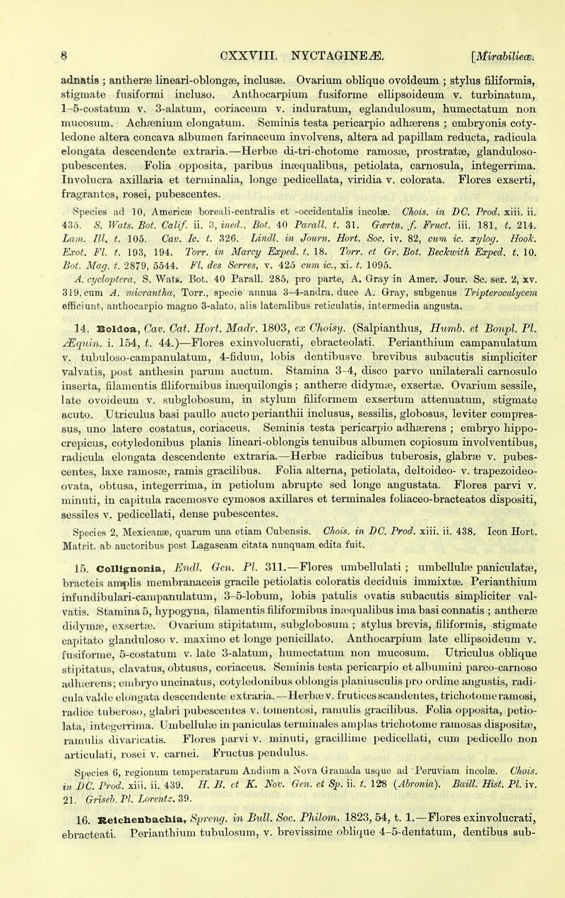 adnatis ; antherse lineari-oblongse, inclusse. Ovarium oblique ovoideum ; stylus filiformis, stigmate fusiformi incluso. Anthocarpium fusiforme ellipsoideum v. turbinatum, 1-5-costatum v. 3-alatum, coriaceum v. induratum, eglandulosum, humectatum non mucosum. Achsenium elongatum. Seminis testa pericarpio adhserens ; embryonis coty- ledone altera concava albumen farinaceum involvens, altera ad papillam reducta, radicula elongata descendente extraria.—Herbse di-tri-chotome raraosse, prostratse, glanduloso- pubescentes. Folia opposita, paribus insequalibus, petiolata, carnosula, integerrima. Involucra axillaria et terminalia, longe pedicellata, viridia v. colorata. Flores exserti, fragrantes, rosei, ptibescentes. Species ad 10, Americse boreali-eentralis et -occidentalis incolae. Chois, in DC. Prod. xiii. ii. 435. S. Wats.Bot. Calif. ii. 3, ined., Bot. 40 Parall. t. 31. Gtsrtn. ,/'. Fruct. iii. 181, t. 214. Lam. III. t. 105. Cav. Ic. t. 326. Lindl. in Jonrn. Hort. Soc. iv. 82, cum ic. xylog. Hook. Exot. Fl. t. 193, 194. Torr. in Marcy Exped. t. 18. Torr. et Gr. Bot, Beckwith Exped. t. 10. Bot. Mag. t. 2879, 5544. Fl. des Serres, v. 425 cum ic., xi. t. 1095. A. cycloptera, S. Wats, Bot. 40 Parall. 285, pro parte, A. Gray in Amer. Jour. Sc. ser. 2, xv. 319, cum A. micrantha, Torr., specie annua 3-4-andra, duce A. Gray, subgenus Tripterocalycem efficiunt, anthocarpio magno 3-alato, alis lateralibus reticulatis, intermedia angusta. 14. Boldoa, Cav. Cat. Hort. Madr. 1803, ex Choisy. (Salpianthus, LTumb. et Bonpl. Pl. JEquin. i. 154, t. 44.)—Flores exinvolucrati, ebracteolati. Perianthium campanulatum v. tubuloso-catnpamdatum, 4-fidnm, lobis dentibusve brevibus subacutis simpliciter valvatis, post anthesin parum auctum. Stamina 3-4, disco parvo unilaterali carnosulo inserta, filamentis filiformibus insequilongis ; antherse didymse, exsertse. Ovarhim sessile, late ovoideum v. subglobosum, in stylum filiformem exsertum attenuatum, stigmate acuto. Utriculus basi paullo aucto perianthii inclnsus, sessilis, globosus, leviter compres- sus, uno latere costatus, coriaceus. Seminis testa pericarpio adhserens ; embryo hippo- crepicus, cotyledonibus planis lineari-oblongis tenuibus albumen copiosum involventibus, radicula elongata descendente extraria.—Herbse radicibus tuberosis, glabrse v. pubes- centes, laxe raruosse, ramis gracilibus. Folia alterna, petiolata, deltoideo- v. trapezoideo- ovata, obtusa, integerrima, in petiolum abrupte sed longe angustata. Flores parvi v. minuti, in capitula racemosve cymosos axillares et terminales foliaceo-bracteatos dispositi, sessiles v. pedicellati, dense pubescentes. Species 2, Mexicanse, quarum una etiam Cubensis. Chois. in DC. Prod. xiii. ii. 438. Icon Hort. Matrit. ab auetoribus post Lagascam eitata nunquam edita fuit. 15. Collignonia, Endl. Gen. Pl. 311.—Flores umbellulati ; umbellulse paniculatse, bracteis amplis membranaceis gracile petiolatis coloratis deciduis immixtse. Perianthiuui infundibulari-campanulatum, 3-5-lobum, lobis patubs ovatis subactitis simpliciter val- vatis. Stamina 5, hypogyna, filamentis filiformibus inaiqualibus ima basi connatis ; antherse didymse, exsertse. Ovarium stipitatum, sttbglobosum ; stylus brevis, filiformis, stigmate capitato glanduloso v. maximo et longe penicillato. Anthocarpium late ellipsoideum v. fusiforme, 5-costatum v. late 3-alatum, humectatum non mucosum. Utriculus oblique stipitatus, clavatus, obtusus, coriaceus. Seminis testa pericarpio et albumini parco-carnoso adluerens; embryo uncinatus, cotyledonibus oblongis planiusculis pro ordine angustis, radi- culavaldc eloiigata descendente extraria.—Herbajv. frutices scandentes, trichotomeramosi, radice tuberoso, glabri pubescentes v. tomentosi, ramulis gracilibus. Foha opposita, petio- lata, integerrima. Umbellulse in paniculas terminales amplas trichotome ramosas dispositse, ramulis divaricatis. Flores parvi v. minuti, gracillime pedicellati, cum pedicello non ai-ticulati, rosei v. carnei. Fructus pendulus. Speeies 6, regionum temperatarum Andium a Nova Granada usque ad Peruviam incolse. Chois. in DC. Prod. xiii. ii. 439. H. B. ct K. Nov. Gen. et &[>. ii. t. 128 (Abronia). Baill. Hist. Pl. iv. 21. Griseb. Pl. Lorentz. 39. 16. Reichenhachia, Spreng. in Bull. Soc. Philom. 1823, 54, t. 1.—Flores exinvolucrati, ebracteati. Perianthium tubulosum, v. brevissime oblique 4-5-dentatum, dentibus sub-