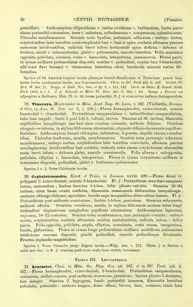 penicillato. Anthocarpium ellipsoideum v. rarius ovoideum v. turbinatum, limbo parvo clauso perianthii coronatum, teresv. sulcatum, cylindraceum v. compressum, eglandulosum. Utriculus metnbranaceus. Seminis testa hyalina, pericarpio adhserens ; embryo rectus, cotyledonibus latis tenuibus contortuplicatis basi v. basi et apice cordatis albumen parcum carnosum involventibus, radicula brevi infera horizontali apice defiexa.—Arbores et frutices, erecti v. subscandentes, glabri v. pubescentes, ramulis teretibus. Folia ssepissime opposita, petiolata, coriacea, ovata v. lanceolata, integerrima, penninervia. Flores parvi, in cymas axillares pedunculatas dispositi, sessiles v. pedicellati, ssepius basi 3-bracteolati, albi rosei flavi brunnei v. virescentes, interdum odori, bracteolis minutis rarius fili- formibus. Species ad 30, Americae tropicae incolse pleraeque boreali-Brasilienses et Peruvianae, paucae insu- larum Indire occidentales incolse, una Guatemalensis. Chois. in DC. Prod. xiii. ii. 447. Griseb. Fl. Brit. W. Ind. 71. Poepp. et Endl. Nov. Gen. et Sp. ii. t. 161, 162. Oerst. in Overs.K.Dansk. Belsk. Forh. 1863, 9, t. 1. J. A. Schmidt in Mart. Fl. Bras. xiv. ii. 365, t. 85. Gemis a Pisonia cui adjungitur a Baillonio, Hist. Pl. iv. 10, forma perianthii, fl. $ et staminibus inclusis distinguendum. 19. Timeroya, Montrousier in Mem. Acad. Imp. Sc. Lyon, x. 247. (Viellardia, Brongn. et Gris. in Ann. Sc. Nat. ser. 5, i. 338.)—Flores hermaphroditi, exinvolucrati, minute bracteolati v. ebracteolati. Perianthium campanulatum v. infundibulari-campanulatum, tubo basi turgido ; limbi 5-goni lobi 5, valvati, breves. Stamina ad 30, inclusa, filamentis capillaribus intequilongis ima basi circa ovarium connatis, antherae didymae. Ovarium elongato-ovoideum, in stylum filiformem attenuatum, stigmate obliquo decurrente papilloso- fimbriato. Anthocarpium lineari-oblongum, induratum, 5-gonum, angulis viscum exsuden- tibus. Utriculus fusiformis, sessilis, membranaceus. Seminis testa pericarpio cohferens, membranacea ; embryo rectus, cotyledonibus latis tenuibus convolutis, albumen parcum mucilaginosum involventibus basi cordatis, radicula intra sinum cotyledonum abscondita recta brevi infera.—Arbores glabri, ramulis crassiuscidis. Folia alternav. subopposita, petiolata, elliptica v. lanceolata, integerrima. Flores in cymas corymbosas axillares et terminales dispositi, pedicellati, glabri v. furfuraceo-pubescentes. Species 2 v. 3, Novae Caledonise incolse. 20. Cephalotomandra, Karst. et Trian. in Lwmsea, xxviii. 429.—Flores dioici (v. polygami V) exinvolucrati, minute 3-bracteolati. Fl. $: Perianthium urceolato-campanu- latum, carnosulum ; limbus breviter 5-lobus, lobis plicato-valvatis. Stamina 25-30, inclusa, circa basin ovarii conferta, filamentis crassiuscule filiformibus inaequilongis ; antherae oblongo-didymse, apiculatae, loculis srepe inasqualibus altero altius inserto. Fl. J : Perianthium post anthesin coarctatum ; limbus 5-lobus, persistens. Stamina subexserta, antheris effoetis. Ovarium ovoideum, sessile, in stylum filiformem acutum intus longi- tudinaliter stigmatosum marginibus papillosis attenuatum. Anthocarpium lignosum, rugosum, 10-12-costatum. Seminis testa membranacea, cum pericarpio connata ; embryo rectus, cotyledonibus cordatis albuminis residua includentibus, radicula infera.—Arbor parva. Folia opposita, petiolata, ampla, elliptica, acuminata, costa crassa, integerrima, lucida, glaberrima. Flores in cymas longe pedunculatas axillares m^iltifloras pubescentes trichotome ramosas dispositi, gracile pedicellati, ramulis pedicellisque divaricatis. Fructus juglandis magnitudine. Species 1, Novse Granadae prope Bogota incola Walp. Ann. v. 721. Plores $ et fructus a nobis non visi; in fl. $ ovarium perfectum ovulo bene evoluto invenimus. Tribtjs III. Letjcasteee^:. 21. leucaster, Chois. in Mim. Soc. Phys. Qen. xii. 167, et in DG. Prod. xiii. ii. 457.—Flores hermaphroditi, exinvolucrati, 2-bracteolati. Perianthium campanulatum, coriaceum, stellato-canum, post anthesin accrescens, persistens; limbus plicato-5-dentatus, fere integer. Stamina 2, hypogyna, fundo perianthii immersa, filamentis brevibus subulatis, puberulis ; antherEe magnse, dorso affixae, breves, latfe, coriacese, rimis latis