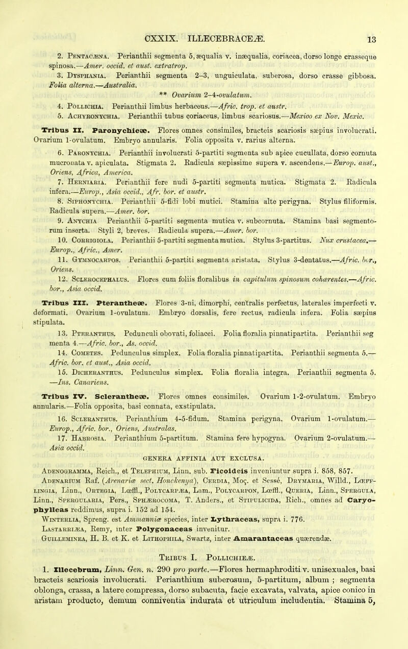 2. Pentacjena. Perianthii segmenta 5, sequalia v. inaequulia, coriaeea, dorso longe crasseque spinosa.—Amer. oocid. et aust. extratrop. 3. Dysphania. Perianthii segmenta 2-3, unguieulata, suberosa, dorso crasse gibbosa. Folia alterna.—Australia. ** Ovarium 2-4-ovulatum. 4. Pollichia. Perianthii limbus herbaceus.—Afric. trop. et austr. 5. Achyeonychia. Perianthii tubus coriaceus, limbus seariosus.—Mexioo ex Nov. Mexio. Tribus XX. Paronycbieae. Flores omnes consimiles, bracteis scariosis saepius involuerati. Ovarium 1-ovulatum. Embryo annularis. Folia opposita v. rarius alterna. 6. Paronychia. Perianthii involucrati 5-partiti segmenta sub apice cucullata, dorso cornuta mucrouata v. apiculata. Stigmata 2. Eadicula saepissime supera v. ascendens.— Europ. aust., Oriens, Africa, America. 7. Heeniaeia. Perianthii fere nudi 5-partiti segmenta mutica. Stigmata 2. Badicula infera.—Europ., Asia occid., Afr. bor. et austr. 8. Siphonychia. Perianthii 5-fldi lobi mutici. Stamina alte perigjna. Stylus filiformis. Badieula supera.—Amer. bor. 9. Anychia Perianthii 5-partiti segmenta mutica v. subcornuta. Stamina basi segmento- rum inserta. Styli 2, breves. Eadicula supera.—Amer. bor. 10. Coerioiola. Perianthii 5-partiti segmenta mutica. Stylus 3-partitus. Nux crustacea.— Europ., Afric, Amer. 11. Gymnocarpos. Perianthii 5-partiti segmenta aristata. Stylus 3-dentatus.—Afric. bcr., Oriens. 12. Scleeocephalus. Flores cum foliis floralibus in capitulum spinosum cohcerentes.—Afric. bor., Asia occid. Tribus III. Pterantbeee. Flores 3-ni, dimorphi, centralis perfectus, laterales imperfecti v. deformati. Ovarium 1-ovulatum. Embryo dorsalis, fere rectus, radicula infera. Folia saepius stipulata. ^ 13. Pteranthus. Pedunculi obovati, foliacei. Folia floralia pinnatipartita. Perianthii seg menta 4.—Afric. bor., As. occid. 1-4. Cometes. Pedunculus simplex. Folia floralia pinnatipartita. Perianthii segmenta 5.— Afric. bor. et aust., Asia occid. 15. Dicheeanthus. Pedunculus simplex. Folia floralia integra. Perianthii segmenta 5. —Ins. Canariens. Trlbus IV. Sclerantbese. Flores omnes consimiles. Ovarium 1-2-ovulatum. Embryo annularis.—Folia opposita, basi connata, exstipulata. 16. Scleeanthus. Perianthium 4-5-fidum. Stamina perigyna. Ovarium 1-ovulatum.— Europ., Afric. bor., Oriens, Australas. 17. Habeosia. Perianthium 5-partitum. Stamina fere hypogyna. Ovarium 2-ovulatum.— Asia occid. GESTERA APFINIA AUT EXCLUSA. Adenoqeamma, Eeich., et Telephium, Linn. sub. Ficoideis invoniuntur supra i. 858, 857. Adenaeium Eaf. (Arenarics sect. Honekenya), Cerdia, Moc,. et Sess^, Drymaeia, Willd., Losff- lingia, Linn., Oetegia, Lcefll., Polycaep^ea, Lam., Polycaepon, Loaffl., Queeia, Linn., Speegula, Linn., Speegulaeia, Pers., Sph^eocoma, T. Anders., et Stlpulicida, Eich., omnes ad Caryo- pbylleas reddimus, supra i. 152 ad 154. Winteelia, Spreng. est Ammannice species, inter Lytbraceas, supra i. 776. Lastaeeijka, Eemy, mter Polygonaceas invenitur. Guilleminea, H. B. et K. et Lithophila, Swartz, inter Amarantaceas quserendae. TKIBUS I. POLLICHIE^E. 1. Illecebrum, IAiin. Gen. n. 290 pro parte.—Flores hermaphroditi v. unisexuales, basi bracteis scariosis involucrati. Perianthium suberosuin, 5-partitum, album ; segmenta oblonga, crassa, a latere compressa, dorso subacuta, facie excavata, valvata, apice conico in aristam producto, demum conniventia indurata et utriculum includentia. Stamina 5,