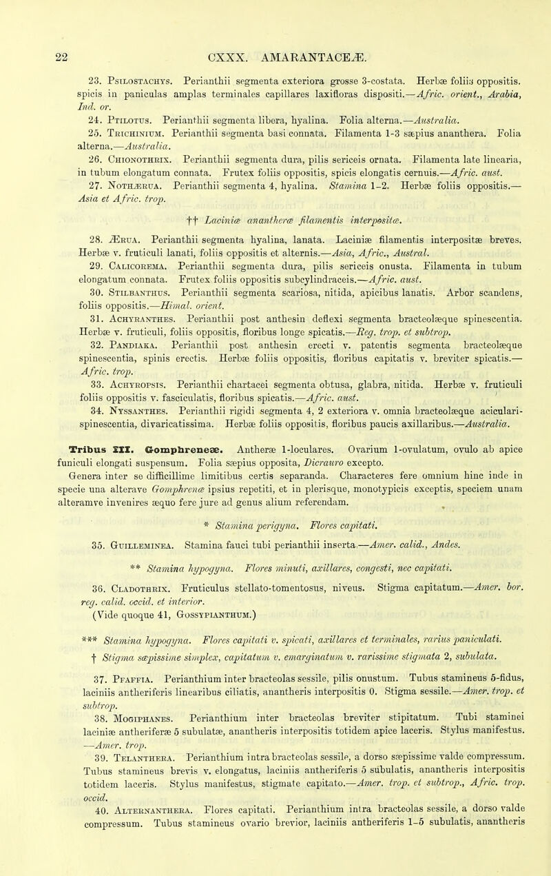 23. Psilostachys. Perianthii segmenta exteriora grosse 3-costata. Herbae foliiy oppositis. spicis in paniculas amplas terminales capillares laxifioras dispositi.—Afric. orient., Arabia, Incl. or. 24. Ptilotus. Perianthii segmenta libera, hyalina. Folia alterna.—Australia. 25. Trichinium. Perianthii segmenta basi connata. Filamenta 1-3 sa&pius ananthera. Folia alterna.—Australia. 26. Chionothrix. Perianthii segmenta dura, pilis sericeis ornata. Filamenta late linearia, in tubum elongatum connata. Frutex foliis oppositis, spicis elongatis cernuis.—Afric. aust. 27. NothjErua. Perianthii segmenta 4, hyalina. Stamina 1-2. Herbse foliis oppositis.— Asia et Afric. trop. ff Lacinice ananthcrce filamentis interpssita. 28. jErua. Perianthii segmenta hyalina, lanata. Laciniae filamentis interpositae breves. Herbae v. fruticuli lanati, foliis oppositis et alternis.—Asia, Afric, Austral. 29. Calicorema. Perianthii segmenta dura, pilis sericeis onusta. Filamenta in tubum elongatum connata. Frutex foliis oppositis subcylindraceis.—Afric. aust. 30. Stilbanthus. Perianthii segmenta scariosa, nitida, apicibus lanatis. Arbor scandens, foliis oppositis.—Himal. orient. 31. Achyranthes. Perianthii post anthesin deflexi segmenta bracteolaeque spinescentia. Herbae v. fruticuli, foliis oppositis, floribus longe spicatis.—Beg. trop. ct subtrop. 32. Pandiaka. Perianthii post anthesin erecti v. patentis segmenta bracteolaeque spinescentia, spinis erectis. Herbae foliis oppositis, floribus capitatis v. breviter spicatis.— Afric. trop. 33. Achyropsis. Perianthii chartacei segmenta obtusa, glabra, nitida. Herbae v. fruticuli foliis oppositis v. fasciculatis, floribus spicatis.—Afric. atist. 34. Nyssanthes. Perianthii rigidi segmenta 4, 2 exteriora v. omnia bracteolseque aciculari- spinescentia, divaricatissima. Herbae foliis oppositis, floribus paucis axillaribus.—Australia. Tribus III. G-omplircneoe. Antherae 1-loculares. Ovarium 1-ovulatum, ovulo ab apice funiculi elongati suspensum. Folia saepius opposita, Dicrauro excepto. Genera inter se difficillime limitibus certis separanda. Characteres fere omnium hinc inde in specie una alterave Gomphrcnce ipsius repetiti, et in plerisque, monotypicis exceptis, speciem unam alteramve invenires aequo fere jure ad genus alium referendam. * Stamina perigyna. Flores capitati. 35. Guilleminea. Stamina fauci tubi perianthii inserta,—Amer. calid., Andes. ** Stamina hypogyna. Flores minuti, axillares, congesti, nec capitati. 36. Cladothrix. Fruticulus stellato-tomentosus, niveus. Stigma eapitatum.—Amer. bor. rcg. calid. occid. et intcrior. (Vide quoque 41, Gossypianthum.) *** Stamina hypogyna. Flores capitati v. spicati, axillares ct terminales, rarius paniculati. f Stigma scepissime simplcx, capitatum v. emarginatum v. rarissime stigmata 2, subulata. 37. Pfaffia. Perianthium inter bracteolas sessile, pilis onustum. Tubus stamineus 5-fidus, laciniis antheriferis linearibus ciliatis, anantheris interpositis 0. Stigma sessile.—Amer. trop. et subtrop. 38. Mogiphanes. Perianthium inter bracteolas breviter stipitatum. Tubi staminei laciniae antheriferse 5 subulatae, anantheris interpositis totidem apice laceris. Stylus manifestus. —Amer. trop. 39. Telanthera. Perianthium intrabracteolas sessilp, a dorso saepissime valde compressum. Tubus stamineus brevis v. elongatus, laciniis antheriferis 5 subulatis, anantheris interpositis totidem laceris. Stylus manifestus, stigmate capitato.—Amer. trop. et subtrop., Afric. trop. occid. 40. Alternanthera. Flores capitati. Perianthium intra bracteolas sessile, a dorso valde compressum. Tubus stamineus ovario brevior, laciniis antheriferis 1-5 subulatis, anantheris