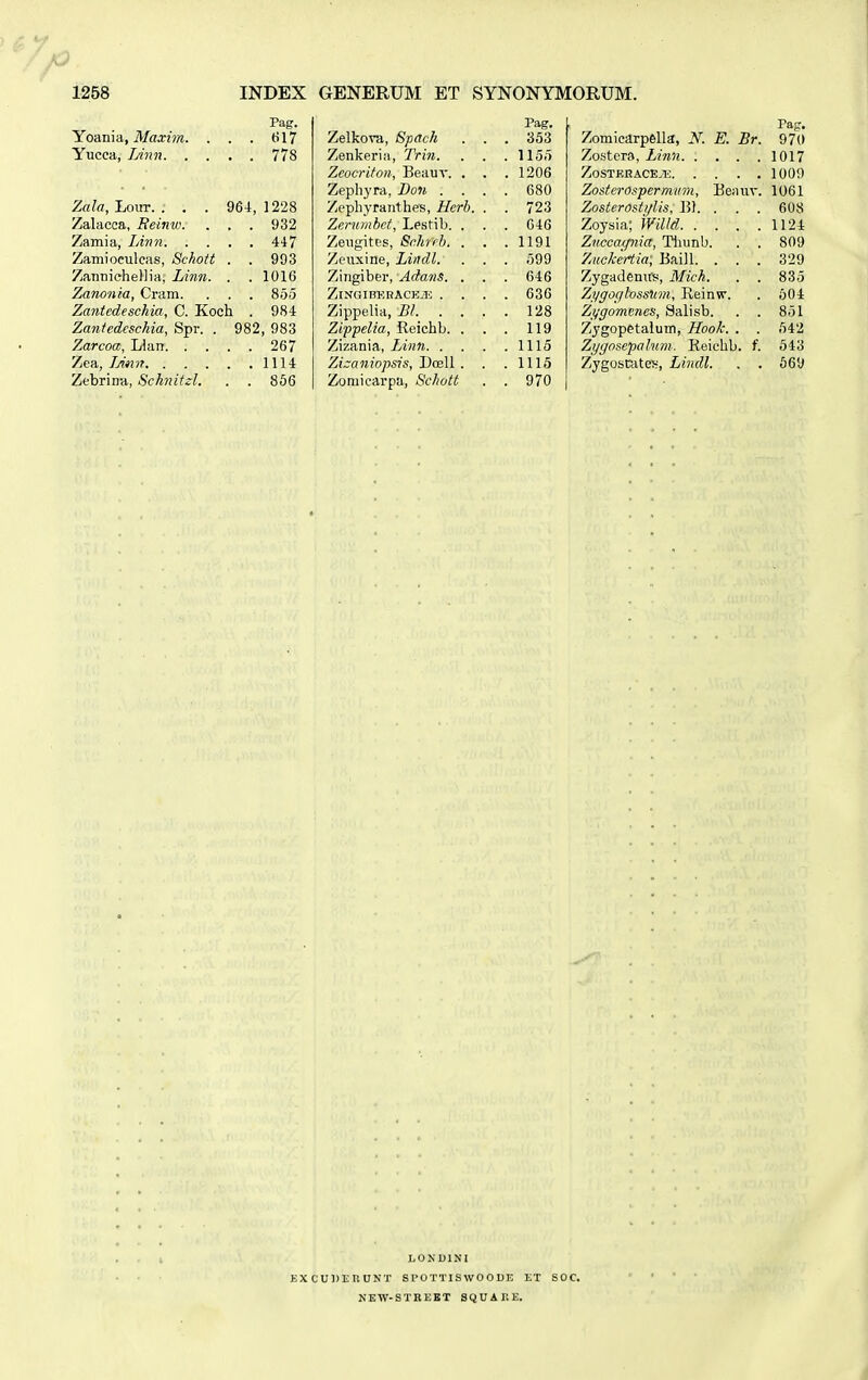 P Pag. Yoania, Maxim. . . . 617 Yucca, TAnn 778 Zala, Lout. : . . 964, 1228 Zalacca, Beinw. . . . 932 Zamia, Linn 447 Zamioculcas, Schott . . 993 Zannichellia, Linn. . . 1016 Zanonia, Cram. . . . 85.5 Zantcdeschia, C. Koch . 984 Zantedcschia, Spr. . 982, 983 Zarcoa, Liarr 267 Zea, JAtiir 1114 Zebrina, Schnitzl. . . 856 Pag. Zelkova, Spach . . . 353 Zenkeria, Trin. . . . 1155 Zeocriton, Beauv. . . .1206 Zephyra, Don .... 680 Zephyranthes, Herb. . . 723 Zerumbct, Lestib. . . . 646 Zeugites, Schfrb, . . .1191 Zeuxine, Lindl. . . . 599 Zingiber, Adans. . . . 646 ZlNGIBKRACEiE .... 636 Zippelia, Bl 128 Zippeiia, Reichb. . . . 119 Zizania, Linn 1115 Zi-aniopsis, Dcall . . .1115 Zomicarpa, Schott . . 970 Pag. Zomiearpella, N. E. Br. 970 Zostera, Linn 1017 ZoSTKHACE.Ti 1009 Zosterospermum, Beauv. 1061 Z.osterosti/Us, 13). . . . 608 Zoysia; Willd 1124 Zuccaqnia, Tiiunb. . . 809 Zuckertia; Baill. . . . 329 Zygademts, Mich. . . 835 Zygocilossiim, Reinvr. . 504 Zi/gomenes, Salisb. . . 851 Zygopetalum, Hook. . . 542 Zygosepalum. Beichb. f. 543 Zygostate*, Lindl. . . 669 LONDINI EXCUDEnUNT SPOTTISWOODE ET NEW-STREBT SQUAKE. SOC.