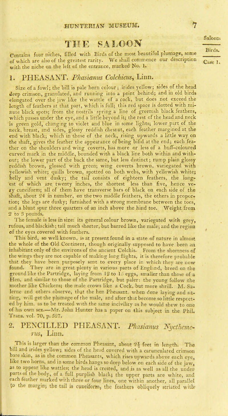 THE SALOON Saloom Birds. Contains four niches, filled with Birds of the most beautiful plumage, some of which are also of the greatest rarity. We shall commence our description ^^^^ with the niche on the left of the entrance, marked No. 1. 1. PHEASANT. Phasianus Colchicus, Linn. Size of a fowl; the hill is pale horn colour; irides yellow; sides of the head deep crimson, granulated, and running into a point behind; and in old birds elongated over the jaw like the wattle of a pock, but does not exceed the length of feathers at that part, which is full; this red space is dotted with mi- nute black spots; from the nostrils fpring a line of greenish black feathers, which passes under the eye, and a little beyond it; the rest of the head and neck is green gold, changing to violet and blue in some lights; lower part of the reck, breast, and sides, glossy reddish chtsnut, each feather margined at the end with black; which in those of the neck, rising upwards a little way on the shaft, gives the feather the appearance of being bifid at the end; each fea- ther on the shoulders and wing coverts, has more or less of a buff-coloured curved mark in the middle, bounded with a black line both within and with- out; the lower part of the back the same, but less distinct; rump plain glossy reddish brown, glossed with green; wing coverts brown, variegated with yellowish white; quills brown, spotted on both webs, with yellowish white; belly and vent dusky; the tail consists of eighteen feathers, the long- est of which are twenty inches, the shortest less than five, hence ve- ry cuneiform; all of them have transverse bars of black on each side of the shaft, about 24 in number, on the two middle feathers, the others in propor» tion; the legs are dusky; furnished with a strong membrane between the toes, and a blunt spur three quarters of an inch above the hind toe. Weight from 2 to 3 pounds. The female is less in size: its general colour brown, variegated with grey, rufous, and blackish; tail much shorter, but barred lilce the male; and the region of the eyes covered witli feathers. This bird, so well known, is at present found in a state of nature in almost the whole of the Old Continent, though originally supposed to have been an inhabitant only of the environs of the ancient Colchis. From the shortness of the wings they are not capable of making long flights, it is therefore probable that they have been purposely sent to every place in which they are now found. They are in great plenty in various parts of Engl::nd, breed on the ground like the Partridge, laying from 12 to 1. eggs, smaller than those of a Hen, and similar to those of the Partridge, but paler: the young follow the mother like Chickens; the male crows like a Cock, but more shrill. M. Sa- lerne and others observe, thjt the hen Pheasant, when done laying and sit- ting, will get the plumage of the male, and after thut become so little respect- ed by him. as to be treated with the same incivility as he would shew to one of his own sex—Mr. John Hunter has a paper on this subject in the Phil. Trans, vol. 70, p. 527. 2. PENCILLED PHEASANT. Phasianus NyctJicme^ rus. Linn. This is larger than the common Pheasant, about 2^- feet in length. The bill and irides yellow; sides of the head covered with a carunculated crimson bare skin, as in the common Pheasants, which rises upwards above each eye, like two horns, and in some birds hangs so deep below on each side of the jaw, as to appear like wattles; the head is created, and is as well as all the under parts of the body, of a full purphsh black; the upper parts are white, and pach feather marked with three or four lines, one within another, all parallel {o the margin; the tail is cuneiform, the feathers obliquely striated witli-