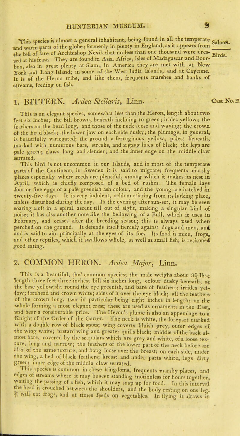 This species is almost a general inhabitant, being found in all the temperate gjioo„. ■and warm parts of the globe; formerly in plenty in England, as it appears from the bill of fare of Archbishop Nevil, that no less than one thousand were dres- ^.^^^ sed at his feast. They are found m Asia. Africa, Isles of Madagascar and Bour- bon, also in great plenty at Siam; In America they are met with at New york and Long Island^ in some of the West India Islands, and at Cayenne. It is of the Heron tribe, and like them, frequents marshes and banks of streams, feeding on fi>h. 1. BITTERN. Ardea Stcllaris^ Linn. CaseNo.^, This is an elegant species, somewhat less than the Heron, length about two feet six inches; the bill brown, beneath inclining to green; irides yellow; the feathers on the head long, and those of the neck loose and vvaving; the crowa of the head black; the lower jaw on each side dusky; the plumage, in general, is beautifully variegated; tlie ground a ferruginous yellow, palest beneath, marked with numerous bars, streaks, and zigzag lines of black; the legs are pale green; claws long and slender; and the inner edge on the middle daw serrated. This bird is not uncommon in cur Islands, and in most of the temperate parts of the Continent; in Sweden it is said to migrate; frequents marshy places especially where reeds are plentiful, among which it makes its nest in April, which is chiefly composed of a bed of rushes. The female Jays /our or five eggs of a pafe greenish ash colour, and the young are hatched in twenty-five days. It is very indolent, seldom stirring from its lurking place, unless disturbed during the day. In the evening after sun-set, it may be seen soaring aloft in a spiral ascent till out of sight, making a singular kind c£ noise; it has also another note like the bellowing of a Bull, which it uses ia February, and ceases after the breeding season; this is always xised when perched on tiie ground. It defends itself fiercely against dogs and men, an4 and is said to aim principally at the eyes of its foe. Ifs food is mice, frogs, and other reptiles, which it swallows whole, as well as small fish; is reckoned good eating. 2. COMMON HERON. Ardea Major, Linn. This is a beautiful, tho' common species; the male weighs about 3^ lbs4 length three feet three inches; bill six inches long, colour dusky beneath, at the base yel!owis!i; round the eye greenish, and bare of feathers; irrides yel- low; forehead and crown white; sides of it over the eye black; all the feathers of the crown long, two in particular being eight inches in length; on the whole forming a most elegant crsst; these are used as ornaments in the East, and bear □ considerable price. The Heron's plume is also an appendage to a Knight of the Order of the Garter. The neck is white, the forepart marked with a double row of black spots; wing coverts bluish grey, outer edges of the wing v/hite; bastard wing and greater quills black; middle of the back al- most bare, covered by the scapulars which are grey and white, of a loose tex- ture, long and narrow; the feathers of the lower part of the neck before are also of the same texture, and hang loose over the breast; on eacli side, under the wing, a bed of black feathers; breast and under parts white, legs dirty green; inner edge of the middle claw serrated, This species is common in these kingdoms, frequents marshy places, and edges of streams where it may be seen standing motionless for hours together, waiting the passing of a fish, which it may snap up for food. In this interval the head is crouched between the shoulders, and the body resting on one leg. n Will eat frogs, and at times feeds on vegetaMes. In flying it draws ir